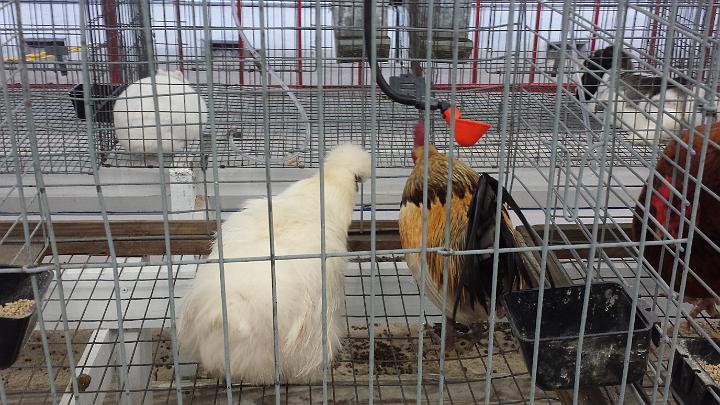 20140228_120921.jpg - METADATA-START��PUUUUUUÞ­¾ï���P�����è�����UUUUUUUUÞ­¾ï�������UUUUUUUUÞ­¾ïUUUUUUUUÞ­¾ï��UU���UUUUUUUUÞ­¾ï��UUUUUUUUUUUUUUUUUUUUUUUUUUUUUUUUUUUUUUUUUUUUUUUUUUUUUUUUUUUUUUUUUUUUUUUUUUUUUUUUUUUUUUUUUUUUUUUUUUUUUUUUUUUUUUUUUUUUUUUUUUUUUUUUUUUUUUUUUUUUUUUUUUUUUUUUUUUUUUUUUUUUUUUUUUUUUUUUUUUUUUUUUUUUUUUUUUUUUUÞ­¾ï����UUUUUUUUUUUUUUUUUUUUÞ­¾ï�C�A�LUUUUUUCu�rUU0xDCB0UUUUUUUUUUUUUUUUUUUUUUUUUUUUUUUUUUUUUUUUUUUUUUUUUUUUUUUUUUUUUUUUUUUUUUUUÞ­¾ï�T�U�N�AUUUUUUUUUUUUUUUUUUUUUUUUUUUUUUUUUUUUUUUUUUUUUUUUUUUUUUUUUUUUUUUUUUUUUUUUUUUUUUUUUUUUUUUUUUUUÞ­¾ï®®®®Fèºt�º)�wN����������������������������������+�&w���������Lt�����������������������������������������N��>�õ�ý��Kÿý������P���������º'UUUUUUUUUUUUUUUUUUUUÞ­¾ïKJKJº&�Ë��ÿé����×�ÚÜ����"����è�¹M����&��&�Í¤����ÀÂ�æ5ÿþéi��0bÿÿ¿\�dÿÿÜÿÿþ#ÿÿ�åI��������0� �"1����� ���0�� � � � �0�0�"A�0�0� ��0��3Q�@�P�"1�"1�"A�"A�@�"1�"1�"A�"A�"A�"1�"A�"1�"A�"A�"1�"A�"1�"A�"A�"A�"1�"A�3`�3Q�3Q�"A�"A�"A�"1�"1�"A�"A�"A�"1�"1�"1�"1�3`�fq�"1�"1�"1�"A�3Q�"A�"A�"A�"A�"1�"1�"A�"A�"1�3Q�3`�"A�"A�"1�3Q�fa�"1�"A�"A�"A�"A�"A�"A�"A�"1�3Q�3Q�"A�"A�"A�3`�3`�"A�"A�"A�"A�"A�"A�"A�"A�"A�fa�fa�"A�"1�"A�p�3Q�"A�3Q�3Q�3Q�"A�"A�3Q�"A�3Q�fa�3Q�3Q�"A�"1�P��"A�"A�"1�"A�"A�"A�"A�"A�"A�3Q�"A�"A�"A�"1�3Q���"A�"A�"A�"A�3Q�3Q�"A�"A�3Q����"1�"1�3`�3Q�"A�"A�"A�3Q�3Q�3Q�3Q�"A�"A�3Q����"A�3Q�"A�"A�"A�"A�3Q�3Q�3Q�3Q�3Q�3Q�3Q�"A���"A�3Q�3Q�"A�"A�"A�3Q�3Q�3Q�3Q�"A�"A�3Q�3Q���"A�3Q�3Q�"A�"A�"A�"A�3Q�3Q�"A�"A�"A�"A�3Q�"A�"A�3Q��3Q�"A�"A�3Q�3Q�3Q�3Q�3Q�3Q�3Q�3Q�3Q�3Q�3Q�3Q�3Q�çì��ÿõ�V�ÆÀ��ÿó�Ë�¸H���æ�������������������������2����Å�������������������������������������������������Ë]��ÿ¶�À«�Ëd��ÿ¶�À�Ëd��ÿ¶�À�Ëd��ÿ¶�À�Ëd��ÿ¶�À��������������������������������UUUUUUUUUUUUUUUUUUUUUUUUUUUUUUUUÞ­¾ï¯¯ÊÊ�S¯V�V��¯¯¯¯������������������������������������������������������������������������������������������������������������������������������������������������������������������������������������������������������������������������������������������������������¯¯¯¯��F��Ë�f�|�3�UUUUUUUUUUUUUUUUÞ­¾ïUUUUUUUUUUUUUUUUUUUUUUUUUUUUUUUUUUUUUUUUUUUUUUUUUUUUUUUUUUUUUUUUUUUUUUUUUUUUUUUUÞ­¾ïUUUUUUUUUUUUUUUUUUUUUUUUUUUUUUUUUUUUUUUUUUUUUUUUUUUUUUUUUUUUUUUUUUUUUUUUUUUUUUUUUUUUUUUUUUUUUUUUUUUUUUUUUUUUUUUUUUUUUUUUUUUUUUUUUUUUUUUUUUUUUUUUUUUUUUUUUUUUUUUUUUUUUUUUUUUUUUUUUUUUUUUUUUUUUUUUUUUUUUUUUUUUUUUUUUUUUUUUUUUUUUUUUUUUUUUUUUUUUUUUUUUUUUUUUUUUUUUUUUUUUUUUUUUUUUUUUUUUUUUUUUUUUUUUUUUUUUUUUUUUUUUUUUUUUUUUUUUUUUUUUUUUUUUUUUUUUUUUUUUUUUUUUUUUUUUUUUUUUUUUUUUUUUUUUUUUUUUUUUUUUUUUUUUUUUUUUUUUUUUUUUUUUUUUUUUUUUUUUUUUUUUUUUUUUUUUUUUUUUUUUUUUUUUUUUUUUUUUUUUUUUUUUUUUUUUUUUUUUUUUUUUUUUUUUUUUUUUUUUUUUUUUUUUUUUUUUUUUUUUUUUUUUUUUUUUUUUUUUUUUUUUUUUUUUUUUUUUUUUUUUUUUUUUUUUUUUUUUUUUUUUUUUUUUUUUUUUUUUUUUUUUUUUUUUUUUUUUUUUUUUUUUUUUUUUUUUUUUUUUUUUUUUUUUUUUUUUUUUUUUUUUUUUUUUUUUUUUUUUUUUUUUUUUUUUUUUUUUUUUUUUUUUUUUUUUUUUUUUUUUUUUUUUUUUUUUUUUUUUUUUUUUUUUUUUUUUUUUUUUUUUUUUUUUUUUUUUUUUUUUUUUUUUUUUUUUUUUUUUUUUUUUUUUUUUUUUUUUUUUUUUUUUUUUUUUUUUUUUUUUUUUUUUUUUUUUUUUUUUUUUUUUUUUUUUUUUUUUUUUUUUUUUUUUUUUUUUUUUUUUUUUUUUUUUUUUUUUUUUUUUUUUUUUUUUUUUUUUUUUUUUUUUUUUUUUUUUUUUUUUUUUUUUUUUUUUUUUUUUUUUUUUUUUUUUUUUUUUUUUUUUUUUUUUUUUUUUUUUUUUUUUUUUUUUUUUUUUUUUUUUUUUUUUUUUUUUUUUUUUUUUUUUUUUUUUUUUUUUUUUUUUUUUUUUUUUUUUUUUUUUUUUUUUUUUUUUUUUUUUUUUUUUUUUUUUUUUUUUUUUUUUUUUUUUUUUUUUUUUUUUUUUUUUUUUUUUUUUUUUUUUUUUUUUUUUUUUUUUUUUUUUUUUUUUUUUUUUUUUUUUUUUUUUUUUUUUUUUUUUUUUUUUUUUUUUUUUUUUUUUUUUUUUUUUUUUUUUUUUUUUUUUUUUUUUUUUUUUUUUUUUUUUUUUUUUUUUUUUUUUUUUUUUUUUUUUUUUUUUUUUUUUUUUUUUUUUUUUUUUUUUUUUUUUUUUUUUUUUUUUUUUUUUUUUUUUUUUUUUUUUUUUUUUUUUUUUUUUUUUUUUUUUUUUUUUUUUUUUUUUUUUUUUUUUUUUUUUUUUUUUUUUUUUUUUUUUUUUUUUUUUUUUUUUUUUUUUUUUUUUUUUUUUUUUUUUUUUUUUUUUUUUUUUUUUUUUUÞ­¾ï������.ñUUUUUUUUUUUUUUUUUUUUUUUUUUUUUUUUÞ­¾ïUUUUMETADATA-END