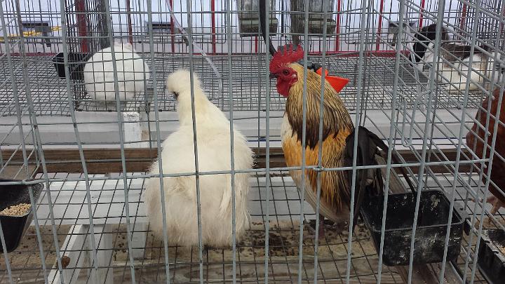 20140228_120924.jpg - METADATA-START��UUUUUUÞ­¾ï���P�����è�q����UUUUUUUUÞ­¾ï�������UUUUUUUUÞ­¾ïUUUUUUUUÞ­¾ï��UU���UUUUUUUUÞ­¾ï��UUUUUUUUUUUUUUUUUUUUUUUUUUUUUUUUUUUUUUUUUUUUUUUUUUUUUUUUUUUUUUUUUUUUUUUUUUUUUUUUUUUUUUUUUUUUUUUUUUUUUUUUUUUUUUUUUUUUUUUUUUUUUUUUUUUUUUUUUUUUUUUUUUUUUUUUUUUUUUUUUUUUUUUUUUUUUUUUUUUUUUUUUUUUUUUUUUUUUUÞ­¾ï����UUUUUUUUUUUUUUUUUUUUÞ­¾ï�C�A�LUUUUUUCu�rUU0xDCB0UUUUUUUUUUUUUUUUUUUUUUUUUUUUUUUUUUUUUUUUUUUUUUUUUUUUUUUUUUUUUUUUUUUUUUUUÞ­¾ï�T�U�N�AUUUUUUUUUUUUUUUUUUUUUUUUUUUUUUUUUUUUUUUUUUUUUUUUUUUUUUUUUUUUUUUUUUUUUUUUUUUUUUUUUUUUUUUUUUUUÞ­¾ï®®®®Fèºtq�º)�lN����������������������������������)�%Ì���������Lb�����������������������������������������W��<�õ�ý��Cÿý������P���������º'UUUUUUUUUUUUUUUUUUUUÞ­¾ïKJKJº&�Ë��ÿé����×�ÚÜ����"����è�¹M�q������Í����Áp�æÿþé��0hÿÿ¿F�cóÿÿÜÇÿÿþ'ÿÿ�å<���� ���� �0�"1�0�� ���0�@�0�� � �0� �0�"1�"1�"A�0�0�@���"A�"A�"A�"1�"A�"A�@�"A�3`�p�3`�P�P�"A�"A�"A�"1��"1�"A�"A�"A�"1�"1�3`�fa�3Q�"A�"A�"1�"A�"A�"1�"1�"1�"A�"A�"A�"A�"1�"A�fa�fq�"A�"1�"1�"A�"A�"A�"A�"1�"A�"1�"A�3Q�"1�"A�3Q�3Q�"1�"1�"1�"A�3Q�"1�"1�"A�"A�"A�"A�3Q�"A�"A�3Q�fa�"A�"A�"A�"A�3Q�"A�"A�"A�"A�"A�"A�3Q�"A�"A�fa�fa�3Q�"A�"A�"A�3`�"A�"A�3Q�3Q�3Q�"A�"A�3Q�3Q�fa�fa��"A�"1�"A�"A�"A�"A�"A�"A�"A�3Q�3Q�"A�"A�3Q�3Q��"A�"A�"A�"A��"A�"A�"A�"A�3Q�3Q�3Q�"A�"A�fa����"1�"A�3Q�"A�"A�"A�"A�3Q�3Q�3Q�"A�"A�3Q�����3Q��"A�"A�"A�"A�3Q�3Q�3Q�3Q�3Q�3Q�3Q����3Q�3Q�"A�"A�"A�"A�3Q�3Q�3Q�3Q�"A�3Q�3Q���"A�"A�3Q�"A�"A�"A�"A�"A�"A�"A�"A�"A�3Q�3Q�3Q�"A�"A��3Q�"A�"A�"A�3Q�3Q�3Q�3Q�3Q�3Q�3Q�3Q�3Q�3Q�"A�3Q�ç ��ÿò�o�ËÊ���Ç0�´)��ÿý�æ­�������������������������§·����Î�������������������������������������������������Ï"��ÿø�¾Þ�Ï'��ÿø�¾Ï�Ï'��ÿø�¾Ï�Ï'��ÿø�¾Ï�Ï'��ÿø�¾Ï��������������������������������UUUUUUUUUUUUUUUUUUUUUUUUUUUUUUUUÞ­¾ï¯¯ÊÊ�S¯V�B��¯¯¯¯������������������������������������������������������������������������������������������������������������������������������������������������������������������������������������������������������������������������������������������������������¯¯¯¯��F��Ë�f�|�3�UUUUUUUUUUUUUUUUÞ­¾ïUUUUUUUUUUUUUUUUUUUUUUUUUUUUUUUUUUUUUUUUUUUUUUUUUUUUUUUUUUUUUUUUUUUUUUUUUUUUUUUUÞ­¾ïUUUUUUUUUUUUUUUUUUUUUUUUUUUUUUUUUUUUUUUUUUUUUUUUUUUUUUUUUUUUUUUUUUUUUUUUUUUUUUUUUUUUUUUUUUUUUUUUUUUUUUUUUUUUUUUUUUUUUUUUUUUUUUUUUUUUUUUUUUUUUUUUUUUUUUUUUUUUUUUUUUUUUUUUUUUUUUUUUUUUUUUUUUUUUUUUUUUUUUUUUUUUUUUUUUUUUUUUUUUUUUUUUUUUUUUUUUUUUUUUUUUUUUUUUUUUUUUUUUUUUUUUUUUUUUUUUUUUUUUUUUUUUUUUUUUUUUUUUUUUUUUUUUUUUUUUUUUUUUUUUUUUUUUUUUUUUUUUUUUUUUUUUUUUUUUUUUUUUUUUUUUUUUUUUUUUUUUUUUUUUUUUUUUUUUUUUUUUUUUUUUUUUUUUUUUUUUUUUUUUUUUUUUUUUUUUUUUUUUUUUUUUUUUUUUUUUUUUUUUUUUUUUUUUUUUUUUUUUUUUUUUUUUUUUUUUUUUUUUUUUUUUUUUUUUUUUUUUUUUUUUUUUUUUUUUUUUUUUUUUUUUUUUUUUUUUUUUUUUUUUUUUUUUUUUUUUUUUUUUUUUUUUUUUUUUUUUUUUUUUUUUUUUUUUUUUUUUUUUUUUUUUUUUUUUUUUUUUUUUUUUUUUUUUUUUUUUUUUUUUUUUUUUUUUUUUUUUUUUUUUUUUUUUUUUUUUUUUUUUUUUUUUUUUUUUUUUUUUUUUUUUUUUUUUUUUUUUUUUUUUUUUUUUUUUUUUUUUUUUUUUUUUUUUUUUUUUUUUUUUUUUUUUUUUUUUUUUUUUUUUUUUUUUUUUUUUUUUUUUUUUUUUUUUUUUUUUUUUUUUUUUUUUUUUUUUUUUUUUUUUUUUUUUUUUUUUUUUUUUUUUUUUUUUUUUUUUUUUUUUUUUUUUUUUUUUUUUUUUUUUUUUUUUUUUUUUUUUUUUUUUUUUUUUUUUUUUUUUUUUUUUUUUUUUUUUUUUUUUUUUUUUUUUUUUUUUUUUUUUUUUUUUUUUUUUUUUUUUUUUUUUUUUUUUUUUUUUUUUUUUUUUUUUUUUUUUUUUUUUUUUUUUUUUUUUUUUUUUUUUUUUUUUUUUUUUUUUUUUUUUUUUUUUUUUUUUUUUUUUUUUUUUUUUUUUUUUUUUUUUUUUUUUUUUUUUUUUUUUUUUUUUUUUUUUUUUUUUUUUUUUUUUUUUUUUUUUUUUUUUUUUUUUUUUUUUUUUUUUUUUUUUUUUUUUUUUUUUUUUUUUUUUUUUUUUUUUUUUUUUUUUUUUUUUUUUUUUUUUUUUUUUUUUUUUUUUUUUUUUUUUUUUUUUUUUUUUUUUUUUUUUUUUUUUUUUUUUUUUUUUUUUUUUUUUUUUUUUUUUUUUUUUUUUUUUUUUUUUUUUUUUUUUUUUUUUUUUUUUUUUUUUUUUUUUUUUUUUUUUUUUUUUUUUUUUUUUUUUUUUUUUUUUUUUUUUUUUUUUUUUUUUUUUUUUUUUUUUUUUUUUUUUUUUUUUUUUUUUUUUUUUUUUUUUUUUUUUUUUUUUUUUUUUUUUUUUUÞ­¾ï������:'UUUUUUUUUUUUUUUUUUUUUUUUUUUUUUUUÞ­¾ïUUUUMETADATA-END