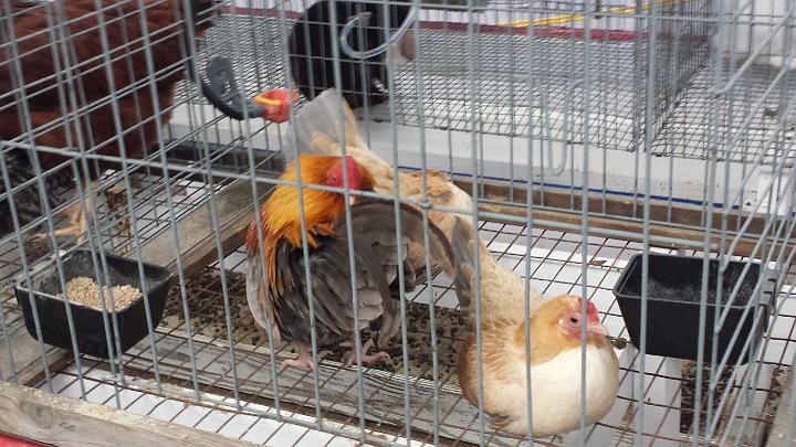 20140228_121124.jpg - METADATA-START��"UUUUUUÞ­¾ï���}�����G�Ô����!UUUUUUUUÞ­¾ï�������UUUUUUUUÞ­¾ïUUUUUUUUÞ­¾ï��UU���UUUUUUUUÞ­¾ï��UUUUUUUUUUUUUUUUUUUUUUUUUUUUUUUUUUUUUUUUUUUUUUUUUUUUUUUUUUUUUUUUUUUUUUUUUUUUUUUUUUUUUUUUUUUUUUUUUUUUUUUUUUUUUUUUUUUUUUUUUUUUUUUUUUUUUUUUUUUUUUUUUUUUUUUUUUUUUUUUUUUUUUUUUUUUUUUUUUUUUUUUUUUUUUUUUUUUUUÞ­¾ï����UUUUUUUUUUUUUUUUUUUUÞ­¾ï�C�A�LUUUUUUCu�rUU0xDCB0UUUUUUUUUUUUUUUUUUUUUUUUUUUUUUUUUUUUUUUUUUUUUUUUUUUUUUUUUUUUUUUUUUUUUUUUÞ­¾ï�T�U�N�AUUUUUUUUUUUUUUUUUUUUUUUUUUUUUUUUUUUUUUUUUUUUUUUUUUUUUUUUUUUUUUUUUUUUUUUUUUUUUUUUUUUUUUUUUUUUÞ­¾ï®®®®FuàÔ��º)�=N�����������������������������������.�0V���������XÚ�����������������������������������������W��D�ý����������}���!������º'UUUUUUUUUUUUUUUUUUUUÞ­¾ïKJKJº&�Ë��ÿé����×�ÚÜ����"����G�uö�Ô���Ì��Ì�Èk����Ë�êªÿþäL��1ÿÿ¾P�cIÿÿÞgÿÿþ:ÿÿÕ�äñ�fa�fa�3`�fa�"A�"A��"1�"A�"A�3Q�fa�3Q�"A�"1�"1�3`�3`�P�3Q�"1�"A�"1�"1�"A�"1�"1�"A�"A�"A�"1�"A�3Q�"A�3Q�"A�"1�"A��"A�"A�"A�"1�"1�"A�"1�"1�"1�3Q�3Q�3Q�"A�"1�Uq�"A�3Q�"A�"1�"A�"A�"A�"A�"A�"A�3Q�3Q�3Q�"1�"1�"A�3Q�3Q�"A�"A�"A�"A�"A�"A�"A�"A�"A�"A�"A�"1�"1�3Q�Ua�3Q�"A�"A�"A�"A�"A�"A�"A�"A�"1�"A�"A�"A�"A�fa�Uq�fa�Ua�3Q�"A�"A�"A�"A�"A�"A�"1�3Q�"A�"A�3Q�Ua�fq�fa�fa�3Q�3Q�3Q�3Q�3Q�"A�"A�"A�"A�"A�3Q�3Q�fq�fa�3Q�fa�3Q�"A�3Q�3Q�3Q�"A�"A�"A�"A�"1�3Q�3Q�fa�"A�"A�3Q�3Q�"A�"A�"A��"1�"A�"A�3Q�3Q�3Q�"A�fa�3Q�3Q�"A�3Q�3Q�Ua�"A��"1�"A�"A��"1�3Q�3Q�3Q�3Q�3Q�"A�fa�Ua�Uq�3Q��"1�"A�3Q�"A�"A�"A�3Q�3Q�3Q�fa�"A�fa�Ua�3Q�3Q�"A�"1�"A�3Q�"A�"A�"A�3Q�3Q�"A�"A�"A�fa�3Q�3Q�3Q�"A�"A�"A�3Q�3Q�"A�"A�"A�"A�3Q�3Q�"A�3Q�3Q�3Q�3Q�3Q�"A�"A�fq�3Q�3Q�3Q�"A�"A�"A�3Q�"A�3Q�3Q�3Q�"A�3Q�"A�3Q�Çª��ÿþ�Ã�Ëw��ÿÃ�ÆÞ�­Ê��ÿþ�æ,�������������fE���-&�¿����¨J�������������������������������������������������Ç��ÿÃ�ÊH�Ç��ÿÃ�ÊF�Ç��ÿÃ�ÊF�Ç��ÿÃ�ÊF�Ç��ÿÃ�ÊF��������������������������������UUUUUUUUUUUUUUUUUUUUUUUUUUUUUUUUÞ­¾ï¯¯ÊÊ�S¯V�f��¯¯¯¯������������������������������������������������������������������������������������������������������������������������������������������������������������������������������������������������������������������������������������������������������¯¯¯¯��SÚ��9ë�f��3�UUUUUUUUUUUUUUUUÞ­¾ïUUUUUUUUUUUUUUUUUUUUUUUUUUUUUUUUUUUUUUUUUUUUUUUUUUUUUUUUUUUUUUUUUUUUUUUUUUUUUUUUÞ­¾ïUUUUUUUUUUUUUUUUUUUUUUUUUUUUUUUUUUUUUUUUUUUUUUUUUUUUUUUUUUUUUUUUUUUUUUUUUUUUUUUUUUUUUUUUUUUUUUUUUUUUUUUUUUUUUUUUUUUUUUUUUUUUUUUUUUUUUUUUUUUUUUUUUUUUUUUUUUUUUUUUUUUUUUUUUUUUUUUUUUUUUUUUUUUUUUUUUUUUUUUUUUUUUUUUUUUUUUUUUUUUUUUUUUUUUUUUUUUUUUUUUUUUUUUUUUUUUUUUUUUUUUUUUUUUUUUUUUUUUUUUUUUUUUUUUUUUUUUUUUUUUUUUUUUUUUUUUUUUUUUUUUUUUUUUUUUUUUUUUUUUUUUUUUUUUUUUUUUUUUUUUUUUUUUUUUUUUUUUUUUUUUUUUUUUUUUUUUUUUUUUUUUUUUUUUUUUUUUUUUUUUUUUUUUUUUUUUUUUUUUUUUUUUUUUUUUUUUUUUUUUUUUUUUUUUUUUUUUUUUUUUUUUUUUUUUUUUUUUUUUUUUUUUUUUUUUUUUUUUUUUUUUUUUUUUUUUUUUUUUUUUUUUUUUUUUUUUUUUUUUUUUUUUUUUUUUUUUUUUUUUUUUUUUUUUUUUUUUUUUUUUUUUUUUUUUUUUUUUUUUUUUUUUUUUUUUUUUUUUUUUUUUUUUUUUUUUUUUUUUUUUUUUUUUUUUUUUUUUUUUUUUUUUUUUUUUUUUUUUUUUUUUUUUUUUUUUUUUUUUUUUUUUUUUUUUUUUUUUUUUUUUUUUUUUUUUUUUUUUUUUUUUUUUUUUUUUUUUUUUUUUUUUUUUUUUUUUUUUUUUUUUUUUUUUUUUUUUUUUUUUUUUUUUUUUUUUUUUUUUUUUUUUUUUUUUUUUUUUUUUUUUUUUUUUUUUUUUUUUUUUUUUUUUUUUUUUUUUUUUUUUUUUUUUUUUUUUUUUUUUUUUUUUUUUUUUUUUUUUUUUUUUUUUUUUUUUUUUUUUUUUUUUUUUUUUUUUUUUUUUUUUUUUUUUUUUUUUUUUUUUUUUUUUUUUUUUUUUUUUUUUUUUUUUUUUUUUUUUUUUUUUUUUUUUUUUUUUUUUUUUUUUUUUUUUUUUUUUUUUUUUUUUUUUUUUUUUUUUUUUUUUUUUUUUUUUUUUUUUUUUUUUUUUUUUUUUUUUUUUUUUUUUUUUUUUUUUUUUUUUUUUUUUUUUUUUUUUUUUUUUUUUUUUUUUUUUUUUUUUUUUUUUUUUUUUUUUUUUUUUUUUUUUUUUUUUUUUUUUUUUUUUUUUUUUUUUUUUUUUUUUUUUUUUUUUUUUUUUUUUUUUUUUUUUUUUUUUUUUUUUUUUUUUUUUUUUUUUUUUUUUUUUUUUUUUUUUUUUUUUUUUUUUUUUUUUUUUUUUUUUUUUUUUUUUUUUUUUUUUUUUUUUUUUUUUUUUUUUUUUUUUUUUUUUUUUUUUUUUUUUUUUUUUUUUUUUUUUUUUUUUUUUUUUUUUUUUUUUUUUUUUUUUUUUUUUUUUUUUUUUUUUUUUUUUUUUUUUUUUUUUUUUUUUUUUUUUUUUUUUUUUUUUUUUUUUUUUÞ­¾ï������)UUUUUUUUUUUUUUUUUUUUUUUUUUUUUUUUÞ­¾ïUUUUMETADATA-END