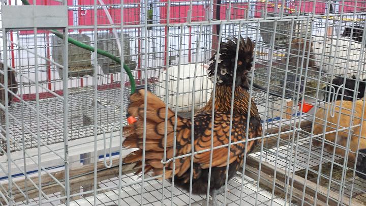 20140228_121132.jpg - METADATA-START��îUUUUUUÞ­¾ï���}�����¥�Ã����UUUUUUUUÞ­¾ï�������UUUUUUUUÞ­¾ïUUUUUUUUÞ­¾ï��UU���UUUUUUUUÞ­¾ï��UUUUUUUUUUUUUUUUUUUUUUUUUUUUUUUUUUUUUUUUUUUUUUUUUUUUUUUUUUUUUUUUUUUUUUUUUUUUUUUUUUUUUUUUUUUUUUUUUUUUUUUUUUUUUUUUUUUUUUUUUUUUUUUUUUUUUUUUUUUUUUUUUUUUUUUUUUUUUUUUUUUUUUUUUUUUUUUUUUUUUUUUUUUUUUUUUUUUUUÞ­¾ï����UUUUUUUUUUUUUUUUUUUUÞ­¾ï�C�A�LUUUUUUCu�rUU0xDCB0UUUUUUUUUUUUUUUUUUUUUUUUUUUUUUUUUUUUUUUUUUUUUUUUUUUUUUUUUUUUUUUUUUUUUUUUÞ­¾ï�T�U�N�AUUUUUUUUUUUUUUUUUUUUUUUUUUUUUUUUUUUUUUUUUUUUUUUUUUUUUUUUUUUUUUUUUUUUUUUUUUUUUUUUUUUUUUUUUUUUÞ­¾ï®®®®F¥5¶Ã�º)�oN����������������������������������-�)O���������dÃ�����������������������������������������n��H�ý��O��������}���������º'UUUUUUUUUUUUUUUUUUUUÞ­¾ïKJKJº&�Ë��ÿé����×�ÚÜ����"����¥�4�Ã���H��H�Ñ`����¾z�äÿþëR��0 ÿÿ¿»�dJÿÿÛûÿÿþÿÿ|�åh�0�3Q�3`�������p��p�p��p��"1�"1�"A����0�p�p�P�P�"1�"1�"1�0�"A�p�p�"1�P�@�0� � � �"A��"1�"1�"1�"A�"1�0� �"1�"1�"1�0� � � �"A��"1�"A�"A�"A�"A�0�0�"1�"A�"1�"1�0�"1�"A�3Q��"A�"A�"1�"A�"A�"1�"A�"A�"A�"1�"A�"A�"1�"A�3Q�3Q�"1�"1�"1�"A�"A�"A�"A�"A�3Q�3Q�"A�"A�"A�"A�3Q�3Q�"1�"1�"1�"1��3Q�3`�"A�"1�"1�3Q�3Q�"A�"A�fa�fa�"A�"A�3Q�3Q�fa�"1�"1�"1�"1�"1�fa�fa�"A�3Q�fa�fa�"A�3Q�fq�3Q�fa�"1�"A�"A�"A�"1�fa�fa�fa�fa�fa�fa�3Q�"A�3Q�3Q�fa�"1�"1�"1�"A�"1�fa�fa�fa�fa�fa�fa�3Q�"A�"A�3Q�fa�"1�"A�"1�"A�"1�3Q�fa�fa�fa�fa�fa�"A�"A�"A�3Q�3Q�"A�"A�"1�"A�"A�3Q�fa�fa�fa�fa�3Q�"A�"1�"A�"A�3Q�"1�"A�"A�3Q�3Q�"A�3Q�fa�"A�"A�"A�"A�"A�"A�"A�"A�"A�"A�"A�3Q�"A�"1�"A�"A�3Q�"1�"A�"A�3Q�"A�"A�"A�"A�"A�"A�"A�"1�"A�"A�"1�"A�"A�"A�"1�"A�3Q�"A�3Q�ã���ë�Îê���Ã�¶}���Ìn�������������������������¾)��ÿÿ�­¿�������������������������������������������������Ï;��ÿÓ�¾�Ï<��ÿÓ�¾�Ï<��ÿÓ�¾�Ï<��ÿÓ�¾�Ï<��ÿÓ�¾��������������������������������UUUUUUUUUUUUUUUUUUUUUUUUUUUUUUUUÞ­¾ï¯¯ÊÊ�S¯V�G��¯¯¯¯������������������������������������������������������������������������������������������������������������������������������������������������������������������������������������������������������������������������������������������������������¯¯¯¯��K��s�f��3�UUUUUUUUUUUUUUUUÞ­¾ïUUUUUUUUUUUUUUUUUUUUUUUUUUUUUUUUUUUUUUUUUUUUUUUUUUUUUUUUUUUUUUUUUUUUUUUUUUUUUUUUÞ­¾ïUUUUUUUUUUUUUUUUUUUUUUUUUUUUUUUUUUUUUUUUUUUUUUUUUUUUUUUUUUUUUUUUUUUUUUUUUUUUUUUUUUUUUUUUUUUUUUUUUUUUUUUUUUUUUUUUUUUUUUUUUUUUUUUUUUUUUUUUUUUUUUUUUUUUUUUUUUUUUUUUUUUUUUUUUUUUUUUUUUUUUUUUUUUUUUUUUUUUUUUUUUUUUUUUUUUUUUUUUUUUUUUUUUUUUUUUUUUUUUUUUUUUUUUUUUUUUUUUUUUUUUUUUUUUUUUUUUUUUUUUUUUUUUUUUUUUUUUUUUUUUUUUUUUUUUUUUUUUUUUUUUUUUUUUUUUUUUUUUUUUUUUUUUUUUUUUUUUUUUUUUUUUUUUUUUUUUUUUUUUUUUUUUUUUUUUUUUUUUUUUUUUUUUUUUUUUUUUUUUUUUUUUUUUUUUUUUUUUUUUUUUUUUUUUUUUUUUUUUUUUUUUUUUUUUUUUUUUUUUUUUUUUUUUUUUUUUUUUUUUUUUUUUUUUUUUUUUUUUUUUUUUUUUUUUUUUUUUUUUUUUUUUUUUUUUUUUUUUUUUUUUUUUUUUUUUUUUUUUUUUUUUUUUUUUUUUUUUUUUUUUUUUUUUUUUUUUUUUUUUUUUUUUUUUUUUUUUUUUUUUUUUUUUUUUUUUUUUUUUUUUUUUUUUUUUUUUUUUUUUUUUUUUUUUUUUUUUUUUUUUUUUUUUUUUUUUUUUUUUUUUUUUUUUUUUUUUUUUUUUUUUUUUUUUUUUUUUUUUUUUUUUUUUUUUUUUUUUUUUUUUUUUUUUUUUUUUUUUUUUUUUUUUUUUUUUUUUUUUUUUUUUUUUUUUUUUUUUUUUUUUUUUUUUUUUUUUUUUUUUUUUUUUUUUUUUUUUUUUUUUUUUUUUUUUUUUUUUUUUUUUUUUUUUUUUUUUUUUUUUUUUUUUUUUUUUUUUUUUUUUUUUUUUUUUUUUUUUUUUUUUUUUUUUUUUUUUUUUUUUUUUUUUUUUUUUUUUUUUUUUUUUUUUUUUUUUUUUUUUUUUUUUUUUUUUUUUUUUUUUUUUUUUUUUUUUUUUUUUUUUUUUUUUUUUUUUUUUUUUUUUUUUUUUUUUUUUUUUUUUUUUUUUUUUUUUUUUUUUUUUUUUUUUUUUUUUUUUUUUUUUUUUUUUUUUUUUUUUUUUUUUUUUUUUUUUUUUUUUUUUUUUUUUUUUUUUUUUUUUUUUUUUUUUUUUUUUUUUUUUUUUUUUUUUUUUUUUUUUUUUUUUUUUUUUUUUUUUUUUUUUUUUUUUUUUUUUUUUUUUUUUUUUUUUUUUUUUUUUUUUUUUUUUUUUUUUUUUUUUUUUUUUUUUUUUUUUUUUUUUUUUUUUUUUUUUUUUUUUUUUUUUUUUUUUUUUUUUUUUUUUUUUUUUUUUUUUUUUUUUUUUUUUUUUUUUUUUUUUUUUUUUUUUUUUUUUUUUUUUUUUUUUUUUUUUUUUUUUUUUUUUUUUUUUUUUUUUUUUUUUUUUUUUUUUUUUUUUUUUUUUUUUUUUUUUUUUUUUUUUUUUUUUUUUUUUUUUÞ­¾ï������IUUUUUUUUUUUUUUUUUUUUUUUUUUUUUUUUÞ­¾ïUUUUMETADATA-END