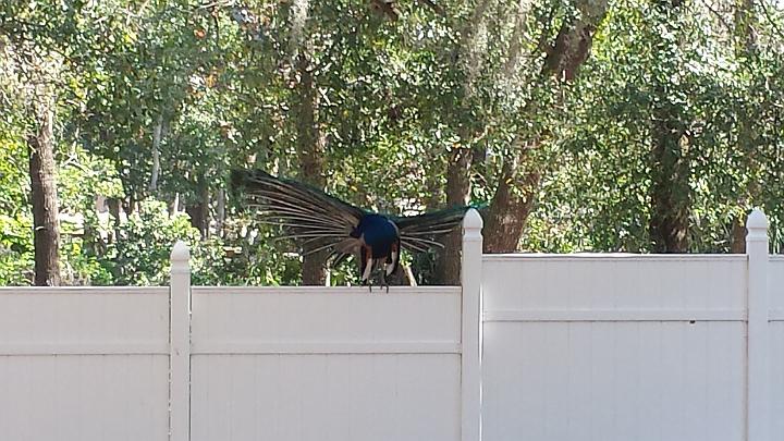 20140302_122324.jpg - METADATA-START��vUUUUUUÞ­¾ï���2�����èü�+����xUUUUUUUUÞ­¾ï�������UUUUUUUUÞ­¾ïUUUUUUUUÞ­¾ï��UU���UUUUUUUUÞ­¾ï��UUUUUUUUUUUUUUUUUUUUUUUUUUUUUUUUUUUUUUUUUUUUUUUUUUUUUUUUUUUUUUUUUUUUUUUUUUUUUUUUUUUUUUUUUUUUUUUUUUUUUUUUUUUUUUUUUUUUUUUUUUUUUUUUUUUUUUUUUUUUUUUUUUUUUUUUUUUUUUUUUUUUUUUUUUUUUUUUUUUUUUUUUUUUUUUUUUUUUUÞ­¾ï����UUUUUUUUUUUUUUUUUUUUÞ­¾ï�C�A�LUUUUUUCu�rUU0xDCB0UUUUUUUUUUUUUUUUUUUUUUUUUUUUUUUUUUUUUUUUUUUUUUUUUUUUUUUUUUUUUUUUUUUUUUUUÞ­¾ï�T�U�N�AUUUUUUUUUUUUUUUUUUUUUUUUUUUUUUUUUUUUUUUUUUUUUUUUUUUUUUUUUUUUUUUUUUUUUUUUUUUUUUUUUUUUUUUUUUUUÞ­¾ï®®®®Fè++�º)�P�&���������������������������������*�"ò���������,�����������������������������������������G��J�þ�5ÿñ������2���x������º'UUUUUUUUUUUUUUUUUUUUÞ­¾ïKJKJº&�Ë��ÿé����×�ÚÜ����"�����èü�ä�+������áò����&�æÿÿ���àÿÿ°�¤zÿÿªûÿÿüÇÿÿ~�å»�D2�D2�D2�"1�D2�"A�w2�"1�D2�"1�DB�"1�D2�"1�"A�"1�"1�D2�D2�"1�D2�"1�w2�w2�"1�"1�D2�w2�D2�"1�"1�"1�DB�D2�"1�"A�"1�"A�w2�"1�w2�"1�"A�D2�D2�"1�D2�"1�DB�D2�"1�"1�w2�wB�wB�w2�w2�"1�D2�D2�"1�"1�"1�D2�"A�"1�"1�"1�"1�w2�"A�w2�w2�"1�DB�D2�w2�"1�"1�"1�D2�D2�"1�"1�"1�wB�w2�D2�wB�"1�DB�D2�w2�"A�w2�"1�D2�D2�"1�"1�"1�"1�w2�"1�"1�"1�DB�D2�w2�"1�w2�"1�D2�D2�D2�D2�"1�"A���"A��D2�DB�"1�w2�"1� �D2�D2�"1�"1�"1�"1�"A���0�"A�"1�����"A�"1�"1�"1�"1�"1�"A�0�0�0�0������!@�!@�3P�!@�!@�!@�0�!@�!@�0�������!@�!@�!@�!@�!@�!@�!@�0�0��������3P�!@�!@�!@�!@�!@�0�0���������!@�!@�!@�!@�!@�0�0����������!@�!@�0�0�0������������0����������������ê���½�Üv���ÇÕ�Ú����>�Ò����ý�������������������������������������¢����Ö�������������������������âÏ��ÿ¿� ¹�â§��ÿÁ� Z�â§��ÿÁ� Z�â§��ÿÁ� Z�â§��ÿÁ�/��������������������������������UUUUUUUUUUUUUUUUUUUUUUUUUUUUUUUUÞ­¾ï¯¯ÊÊ�S¯V�t��¯¯¯¯������������������������������������������������������������������������������������������������������������������������������������������������������������������������������������������������������������������������������������������������������¯¯¯¯��Aã��à�f�3�UUUUUUUUUUUUUUUUÞ­¾ïUUUUUUUUUUUUUUUUUUUUUUUUUUUUUUUUUUUUUUUUUUUUUUUUUUUUUUUUUUUUUUUUUUUUUUUUUUUUUUUUÞ­¾ïUUUUUUUUUUUUUUUUUUUUUUUUUUUUUUUUUUUUUUUUUUUUUUUUUUUUUUUUUUUUUUUUUUUUUUUUUUUUUUUUUUUUUUUUUUUUUUUUUUUUUUUUUUUUUUUUUUUUUUUUUUUUUUUUUUUUUUUUUUUUUUUUUUUUUUUUUUUUUUUUUUUUUUUUUUUUUUUUUUUUUUUUUUUUUUUUUUUUUUUUUUUUUUUUUUUUUUUUUUUUUUUUUUUUUUUUUUUUUUUUUUUUUUUUUUUUUUUUUUUUUUUUUUUUUUUUUUUUUUUUUUUUUUUUUUUUUUUUUUUUUUUUUUUUUUUUUUUUUUUUUUUUUUUUUUUUUUUUUUUUUUUUUUUUUUUUUUUUUUUUUUUUUUUUUUUUUUUUUUUUUUUUUUUUUUUUUUUUUUUUUUUUUUUUUUUUUUUUUUUUUUUUUUUUUUUUUUUUUUUUUUUUUUUUUUUUUUUUUUUUUUUUUUUUUUUUUUUUUUUUUUUUUUUUUUUUUUUUUUUUUUUUUUUUUUUUUUUUUUUUUUUUUUUUUUUUUUUUUUUUUUUUUUUUUUUUUUUUUUUUUUUUUUUUUUUUUUUUUUUUUUUUUUUUUUUUUUUUUUUUUUUUUUUUUUUUUUUUUUUUUUUUUUUUUUUUUUUUUUUUUUUUUUUUUUUUUUUUUUUUUUUUUUUUUUUUUUUUUUUUUUUUUUUUUUUUUUUUUUUUUUUUUUUUUUUUUUUUUUUUUUUUUUUUUUUUUUUUUUUUUUUUUUUUUUUUUUUUUUUUUUUUUUUUUUUUUUUUUUUUUUUUUUUUUUUUUUUUUUUUUUUUUUUUUUUUUUUUUUUUUUUUUUUUUUUUUUUUUUUUUUUUUUUUUUUUUUUUUUUUUUUUUUUUUUUUUUUUUUUUUUUUUUUUUUUUUUUUUUUUUUUUUUUUUUUUUUUUUUUUUUUUUUUUUUUUUUUUUUUUUUUUUUUUUUUUUUUUUUUUUUUUUUUUUUUUUUUUUUUUUUUUUUUUUUUUUUUUUUUUUUUUUUUUUUUUUUUUUUUUUUUUUUUUUUUUUUUUUUUUUUUUUUUUUUUUUUUUUUUUUUUUUUUUUUUUUUUUUUUUUUUUUUUUUUUUUUUUUUUUUUUUUUUUUUUUUUUUUUUUUUUUUUUUUUUUUUUUUUUUUUUUUUUUUUUUUUUUUUUUUUUUUUUUUUUUUUUUUUUUUUUUUUUUUUUUUUUUUUUUUUUUUUUUUUUUUUUUUUUUUUUUUUUUUUUUUUUUUUUUUUUUUUUUUUUUUUUUUUUUUUUUUUUUUUUUUUUUUUUUUUUUUUUUUUUUUUUUUUUUUUUUUUUUUUUUUUUUUUUUUUUUUUUUUUUUUUUUUUUUUUUUUUUUUUUUUUUUUUUUUUUUUUUUUUUUUUUUUUUUUUUUUUUUUUUUUUUUUUUUUUUUUUUUUUUUUUUUUUUUUUUUUUUUUUUUUUUUUUUUUUUUUUUUUUUUUUUUUUUUUUUUUUUUUUUUUUUUUUUUUUUUUUUUUUUUUUUUUUUUUUUUUUUUUUUUUUUUUUUUUUUUUUUUUUUUUUÞ­¾ï������UUUUUUUUUUUUUUUUUUUUUUUUUUUUUUUUUÞ­¾ïUUUUMETADATA-END