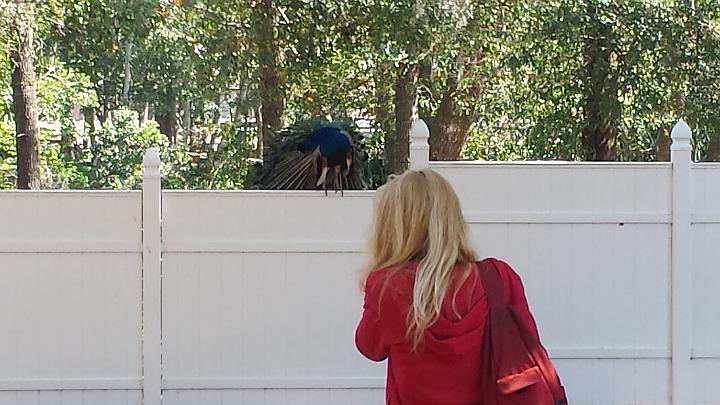 20140302_122331.jpg - METADATA-START��0UUUUUUÞ­¾ï���2�����èü�����xUUUUUUUUÞ­¾ï�������UUUUUUUUÞ­¾ïUUUUUUUUÞ­¾ï��UU���UUUUUUUUÞ­¾ï��UUUUUUUUUUUUUUUUUUUUUUUUUUUUUUUUUUUUUUUUUUUUUUUUUUUUUUUUUUUUUUUUUUUUUUUUUUUUUUUUUUUUUUUUUUUUUUUUUUUUUUUUUUUUUUUUUUUUUUUUUUUUUUUUUUUUUUUUUUUUUUUUUUUUUUUUUUUUUUUUUUUUUUUUUUUUUUUUUUUUUUUUUUUUUUUUUUUUUUÞ­¾ï����UUUUUUUUUUUUUUUUUUUUÞ­¾ï�C�A�LUUUUUUCu�rUU0xDCB0UUUUUUUUUUUUUUUUUUUUUUUUUUUUUUUUUUUUUUUUUUUUUUUUUUUUUUUUUUUUUUUUUUUUUUUUÞ­¾ï�T�U�N�AUUUUUUUUUUUUUUUUUUUUUUUUUUUUUUUUUUUUUUUUUUUUUUUUUUUUUUUUUUUUUUUUUUUUUUUUUUUUUUUUUUUUUUUUUUUUÞ­¾ï®®®®Fè$�º)�ªP�&�<��������������������������������'�x���������&�����������������������������������������=��J�þ��âÿõ������2���x������º'UUUUUUUUUUUUUUUUUUUUÞ­¾ïKJKJº&�Ë��ÿé����×�ÚÜ����"�����èü�=����î��î�ã=����d�é+ÿþü��¹ÿÿ±å�¡®ÿÿ¬mÿÿýÿÿ+�æÍ�DB�D2�"1�D2�D2�wB�wB�w2�w2�"1�"1�DB�"1�"1�"1�"1�DB�"1�"1�"1�wB�w2�"A�w2�"1�w2�D2�D2�w2�"1�w2�"1�D2�D2�"1�"1�"1�wB�w2�w2�wB�"A�DB�D2�w2�"1�w2�wB�DB�D2�"1�"1�"1�"1�w2�"1�"A�wB�DB�D2�w2�"1�D2�"1�D2�DB�D2�D2�"A�"A�"1��"A�!@�DB�DB�"1�"1�w2� �D2�D2�"1�"1�"1�"1���"A�0�"A�"1�0����3Q�"1�"1�"1�"1�"1���3Q�3Q�0�� �� ��!@�!@�3P�!@�!@�!@�!@�0�a�3Q�0������!@�!@�!@�!@�!@�0�0�0�a�3Q�!@������!@�3P�3P�!@�!@�0�0�!@�¦q��`�������!@�!@�!@�!@�0�0��0���p�������0�0�0�0�0����`������������������������������������������������������"A�"A�0����������`�������!@�ì+���¡�Ù¼��ÿô�ÁJ�Ïf���£ú�Ê'���öM�������������¿È����s�Ý����é� ����ï�������������������������åp���h�å1���D�å1���D�å1���D�å1���0��������������������������������UUUUUUUUUUUUUUUUUUUUUUUUUUUUUUUUÞ­¾ï¯¯ÊÊ�S¯V�t��¯¯¯¯������������������������������������������������������������������������������������������������������������������������������������������������������������������������������������������������������������������������������������������������������¯¯¯¯��Aâ�Pþ�f�3�UUUUUUUUUUUUUUUUÞ­¾ïUUUUUUUUUUUUUUUUUUUUUUUUUUUUUUUUUUUUUUUUUUUUUUUUUUUUUUUUUUUUUUUUUUUUUUUUUUUUUUUUÞ­¾ïUUUUUUUUUUUUUUUUUUUUUUUUUUUUUUUUUUUUUUUUUUUUUUUUUUUUUUUUUUUUUUUUUUUUUUUUUUUUUUUUUUUUUUUUUUUUUUUUUUUUUUUUUUUUUUUUUUUUUUUUUUUUUUUUUUUUUUUUUUUUUUUUUUUUUUUUUUUUUUUUUUUUUUUUUUUUUUUUUUUUUUUUUUUUUUUUUUUUUUUUUUUUUUUUUUUUUUUUUUUUUUUUUUUUUUUUUUUUUUUUUUUUUUUUUUUUUUUUUUUUUUUUUUUUUUUUUUUUUUUUUUUUUUUUUUUUUUUUUUUUUUUUUUUUUUUUUUUUUUUUUUUUUUUUUUUUUUUUUUUUUUUUUUUUUUUUUUUUUUUUUUUUUUUUUUUUUUUUUUUUUUUUUUUUUUUUUUUUUUUUUUUUUUUUUUUUUUUUUUUUUUUUUUUUUUUUUUUUUUUUUUUUUUUUUUUUUUUUUUUUUUUUUUUUUUUUUUUUUUUUUUUUUUUUUUUUUUUUUUUUUUUUUUUUUUUUUUUUUUUUUUUUUUUUUUUUUUUUUUUUUUUUUUUUUUUUUUUUUUUUUUUUUUUUUUUUUUUUUUUUUUUUUUUUUUUUUUUUUUUUUUUUUUUUUUUUUUUUUUUUUUUUUUUUUUUUUUUUUUUUUUUUUUUUUUUUUUUUUUUUUUUUUUUUUUUUUUUUUUUUUUUUUUUUUUUUUUUUUUUUUUUUUUUUUUUUUUUUUUUUUUUUUUUUUUUUUUUUUUUUUUUUUUUUUUUUUUUUUUUUUUUUUUUUUUUUUUUUUUUUUUUUUUUUUUUUUUUUUUUUUUUUUUUUUUUUUUUUUUUUUUUUUUUUUUUUUUUUUUUUUUUUUUUUUUUUUUUUUUUUUUUUUUUUUUUUUUUUUUUUUUUUUUUUUUUUUUUUUUUUUUUUUUUUUUUUUUUUUUUUUUUUUUUUUUUUUUUUUUUUUUUUUUUUUUUUUUUUUUUUUUUUUUUUUUUUUUUUUUUUUUUUUUUUUUUUUUUUUUUUUUUUUUUUUUUUUUUUUUUUUUUUUUUUUUUUUUUUUUUUUUUUUUUUUUUUUUUUUUUUUUUUUUUUUUUUUUUUUUUUUUUUUUUUUUUUUUUUUUUUUUUUUUUUUUUUUUUUUUUUUUUUUUUUUUUUUUUUUUUUUUUUUUUUUUUUUUUUUUUUUUUUUUUUUUUUUUUUUUUUUUUUUUUUUUUUUUUUUUUUUUUUUUUUUUUUUUUUUUUUUUUUUUUUUUUUUUUUUUUUUUUUUUUUUUUUUUUUUUUUUUUUUUUUUUUUUUUUUUUUUUUUUUUUUUUUUUUUUUUUUUUUUUUUUUUUUUUUUUUUUUUUUUUUUUUUUUUUUUUUUUUUUUUUUUUUUUUUUUUUUUUUUUUUUUUUUUUUUUUUUUUUUUUUUUUUUUUUUUUUUUUUUUUUUUUUUUUUUUUUUUUUUUUUUUUUUUUUUUUUUUUUUUUUUUUUUUUUUUUUUUUUUUUUUUUUUUUUUUUUUUUUUUUUUUUUUUUUUUUUUUUUUUUUUUUUUUUUUUUUUUUUUUUUUUUUUUÞ­¾ï������oTUUUUUUUUUUUUUUUUUUUUUUUUUUUUUUUUÞ­¾ïUUUUMETADATA-END