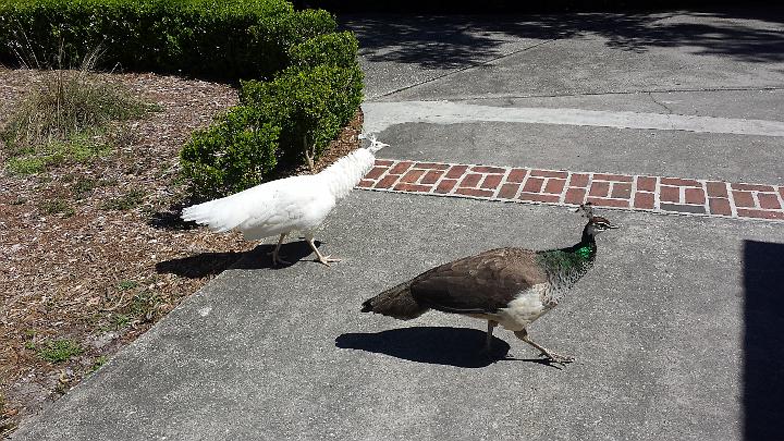 20140302_123444.jpg - METADATA-START��hUUUUUUÞ­¾ï���2�����Äb����UUUUUUUUÞ­¾ï�������UUUUUUUUÞ­¾ïUUUUUUUUÞ­¾ï��UU���UUUUUUUUÞ­¾ï��UUUUUUUUUUUUUUUUUUUUUUUUUUUUUUUUUUUUUUUUUUUUUUUUUUUUUUUUUUUUUUUUUUUUUUUUUUUUUUUUUUUUUUUUUUUUUUUUUUUUUUUUUUUUUUUUUUUUUUUUUUUUUUUUUUUUUUUUUUUUUUUUUUUUUUUUUUUUUUUUUUUUUUUUUUUUUUUUUUUUUUUUUUUUUUUUUUUUUUÞ­¾ï����UUUUUUUUUUUUUUUUUUUUÞ­¾ï�C�A�LUUUUUUCu�rUU0xDCB0UUUUUUUUUUUUUUUUUUUUUUUUUUUUUUUUUUUUUUUUUUUUUUUUUUUUUUUUUUUUUUUUUUUUUUUUÞ­¾ï�T�U�N�AUUUUUUUUUUUUUUUUUUUUUUUUUUUUUUUUUUUUUUUUUUUUUUUUUUUUUUUUUUUUUUUUUUUUUUUUUUUUUUUUUUUUUUUUUUUUÞ­¾ï®®®®F¸�þ�º)�U�&����������������������������������(�#x���������t�����������������������������������������1��2�ù��������2��������º'UUUUUUUUUUUUUUUUUUUUÞ­¾ïKJKJº&�Ë��ÿé����×�ÚÜ����"�����Äb�·����?��?�Ðÿ����~�å0ÿÿk��eÿÿ°«�¥ÿÿªLÿÿýÿÿ¼�ä2�w2�w2�w2�w2�w2�w2����������������w2�w2����3P�3P�������R���R����w2�"1�3P�3P�3P�3P�3P�3P�3P�3P�3P���R�3Q���`���`�w2�w2�"A�"@�3P�3P�3P�"@�3P�3P�3P�3P�wB���R���`�wB�w2�w2�"A�"@�"@�"@�"@�3P�"@�3P�3P�3P�wB���`���R�w2�w2�wB���`�3P�3P�3P�3P�3P�3P�3P�3P�3P���b���`���R�w2�wB���`�"@���`���`���`���`���`���`���`���`�3P���b���R���`�0�0�0�"@�3P�3P�3P���`���`���`���`���p���p���`���`���`�"@�"@�"@�3Q�3P�3P�3P�3P�3P���`�3P�3P�3P���`���`���`���`��3P�3Q�3P�3P�3P���`��3P�3P�����`���`���`�3P�3P�3P�3P�"@�3P�3P���`�3Q�3P�3P�����`���R���`�3P�3P�3P�3P�3P���3P�3P�3P�3P�����`�3Q�3P�3P�3P�3P�"@�3P��3P�3P�3P�3P�3P���`��3Q���`�3P�3P�3P�3P�"@����3P���`�3P�3P�����`�3P�3P�3P�3P�3P�3P�3P�"@�3P�3P�3P�3P�3P���3P�3P�3P�3P�3P�3P�3P�3P�3P�3P�3P�3P�3P�3P���Ôà��ÿû�)�Ñj��ÿû�£Ý�Òº��ÿù�Â�������������������������������������Öð����m�Ê���ÇÏ�������������������������Ï��ÿê�Ò�Ï©��ÿê�Ï�Ï©��ÿê�Ï�Ï©��ÿê�Ï�Ï©��ÿê�²��������������������������������UUUUUUUUUUUUUUUUUUUUUUUUUUUUUUUUÞ­¾ï¯¯ÊÊ�S¯V�i��¯¯¯¯������������������������������������������������������������������������������������������������������������������������������������������������������������������������������������������������������������������������������������������������������¯¯¯¯��L��Ø�f�r�3�UUUUUUUUUUUUUUUUÞ­¾ïUUUUUUUUUUUUUUUUUUUUUUUUUUUUUUUUUUUUUUUUUUUUUUUUUUUUUUUUUUUUUUUUUUUUUUUUUUUUUUUUÞ­¾ïUUUUUUUUUUUUUUUUUUUUUUUUUUUUUUUUUUUUUUUUUUUUUUUUUUUUUUUUUUUUUUUUUUUUUUUUUUUUUUUUUUUUUUUUUUUUUUUUUUUUUUUUUUUUUUUUUUUUUUUUUUUUUUUUUUUUUUUUUUUUUUUUUUUUUUUUUUUUUUUUUUUUUUUUUUUUUUUUUUUUUUUUUUUUUUUUUUUUUUUUUUUUUUUUUUUUUUUUUUUUUUUUUUUUUUUUUUUUUUUUUUUUUUUUUUUUUUUUUUUUUUUUUUUUUUUUUUUUUUUUUUUUUUUUUUUUUUUUUUUUUUUUUUUUUUUUUUUUUUUUUUUUUUUUUUUUUUUUUUUUUUUUUUUUUUUUUUUUUUUUUUUUUUUUUUUUUUUUUUUUUUUUUUUUUUUUUUUUUUUUUUUUUUUUUUUUUUUUUUUUUUUUUUUUUUUUUUUUUUUUUUUUUUUUUUUUUUUUUUUUUUUUUUUUUUUUUUUUUUUUUUUUUUUUUUUUUUUUUUUUUUUUUUUUUUUUUUUUUUUUUUUUUUUUUUUUUUUUUUUUUUUUUUUUUUUUUUUUUUUUUUUUUUUUUUUUUUUUUUUUUUUUUUUUUUUUUUUUUUUUUUUUUUUUUUUUUUUUUUUUUUUUUUUUUUUUUUUUUUUUUUUUUUUUUUUUUUUUUUUUUUUUUUUUUUUUUUUUUUUUUUUUUUUUUUUUUUUUUUUUUUUUUUUUUUUUUUUUUUUUUUUUUUUUUUUUUUUUUUUUUUUUUUUUUUUUUUUUUUUUUUUUUUUUUUUUUUUUUUUUUUUUUUUUUUUUUUUUUUUUUUUUUUUUUUUUUUUUUUUUUUUUUUUUUUUUUUUUUUUUUUUUUUUUUUUUUUUUUUUUUUUUUUUUUUUUUUUUUUUUUUUUUUUUUUUUUUUUUUUUUUUUUUUUUUUUUUUUUUUUUUUUUUUUUUUUUUUUUUUUUUUUUUUUUUUUUUUUUUUUUUUUUUUUUUUUUUUUUUUUUUUUUUUUUUUUUUUUUUUUUUUUUUUUUUUUUUUUUUUUUUUUUUUUUUUUUUUUUUUUUUUUUUUUUUUUUUUUUUUUUUUUUUUUUUUUUUUUUUUUUUUUUUUUUUUUUUUUUUUUUUUUUUUUUUUUUUUUUUUUUUUUUUUUUUUUUUUUUUUUUUUUUUUUUUUUUUUUUUUUUUUUUUUUUUUUUUUUUUUUUUUUUUUUUUUUUUUUUUUUUUUUUUUUUUUUUUUUUUUUUUUUUUUUUUUUUUUUUUUUUUUUUUUUUUUUUUUUUUUUUUUUUUUUUUUUUUUUUUUUUUUUUUUUUUUUUUUUUUUUUUUUUUUUUUUUUUUUUUUUUUUUUUUUUUUUUUUUUUUUUUUUUUUUUUUUUUUUUUUUUUUUUUUUUUUUUUUUUUUUUUUUUUUUUUUUUUUUUUUUUUUUUUUUUUUUUUUUUUUUUUUUUUUUUUUUUUUUUUUUUUUUUUUUUUUUUUUUUUUUUUUUUUUUUUUUUUUUUUUUUUUUUUUUUUUUUUUUUUUUUUUUUUUUUUUUUUUUUUUUUUUUUUUUUUUUUUÞ­¾ï������2UUUUUUUUUUUUUUUUUUUUUUUUUUUUUUUUÞ­¾ïUUUUMETADATA-END