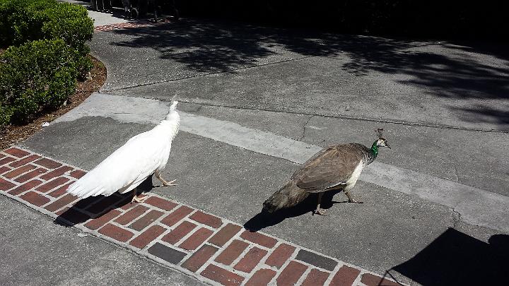 20140302_123449.jpg - METADATA-START��úUUUUUUÞ­¾ï���2�����k�W���xUUUUUUUUÞ­¾ï�������UUUUUUUUÞ­¾ïUUUUUUUUÞ­¾ï��UU���UUUUUUUUÞ­¾ï��UUUUUUUUUUUUUUUUUUUUUUUUUUUUUUUUUUUUUUUUUUUUUUUUUUUUUUUUUUUUUUUUUUUUUUUUUUUUUUUUUUUUUUUUUUUUUUUUUUUUUUUUUUUUUUUUUUUUUUUUUUUUUUUUUUUUUUUUUUUUUUUUUUUUUUUUUUUUUUUUUUUUUUUUUUUUUUUUUUUUUUUUUUUUUUUUUUUUUUÞ­¾ï����UUUUUUUUUUUUUUUUUUUUÞ­¾ï�C�A�LUUUUUUCu�rUU0xDCB0UUUUUUUUUUUUUUUUUUUUUUUUUUUUUUUUUUUUUUUUUUUUUUUUUUUUUUUUUUUUUUUUUUUUUUUUÞ­¾ï�T�U�N�AUUUUUUUUUUUUUUUUUUUUUUUUUUUUUUUUUUUUUUUUUUUUUUUUUUUUUUUUUUUUUUUUUUUUUUUUUUUUUUUUUUUUUUUUUUUUÞ­¾ï®®®®F�\W�º)�TU�����������������������������������)�))���������\T�����������������������������������������*��0�ù�B�������2��x������º'UUUUUUUUUUUUUUUUUUUUÞ­¾ïKJKJº&�Ë��ÿé����×�ÚÜ����"�����k�¾�W���K��K�Ó����~�åkÿÿ.��gÿÿ°�¥5ÿÿª=ÿÿüþÿÿ�ä�w2�w2���������������w2�w2�3P���`�������������w2�wB�"A��������������w2�w2�3Q�"@�3P����"@�3P�������wB�wB���`�3P�"@�3P�"A�"@�"@�"A�"@�"@�����wB�wB�3P�"@�3P�"@�3P�3P�"A�3P�"@�"@�3P����wB���`�"@�"@�"@�"@�"@�"@�3P�"@�3P�3P�3P�"@�����`�"@�"@�0�"@�"@�"@�"@�"@�"@�3P�3P�"@�"@�3P�3P�3P�3P�3P�"@�"@�3P�"@�0�"@�3P���`�3P�3P�3P�"@�3P���`�3P�"@�"@�"@�"@�3P�"@�"@�3P���`�3P�3P�"@�"@�3P���p���p�0�0�3P�3P�3P�3P�3P�3P�3P�"@�3P�3P�3P���`���p���p����`���`�3P�3P�3P���"A�3P�3P�3P�3P�3P�3P���p���p���p���`���`�3P�"@��3P�3P�3P�"@�"@�3P�"@�3P�3P���`���`���`���p���`���`�3P�"@�"@�"@�"@����3P�"@�"@���`�3P���`���`���`���p�"@�3P�3P�����3P�3P�3P�3P�"@���`���`���p���p���`���`�3P�����Ùµ��ÿõ�Ö�Ò���ê�×���÷�������������������������������������Öô���p�¼����Õ�������������������������Óé����Óó����Óó����Óó����Óó���s��������������������������������UUUUUUUUUUUUUUUUUUUUUUUUUUUUUUUUÞ­¾ï¯¯ÊÊ�S¯V�g��¯¯¯¯������������������������������������������������������������������������������������������������������������������������������������������������������������������������������������������������������������������������������������������������������¯¯¯¯��L��È�f�r�3�UUUUUUUUUUUUUUUUÞ­¾ïUUUUUUUUUUUUUUUUUUUUUUUUUUUUUUUUUUUUUUUUUUUUUUUUUUUUUUUUUUUUUUUUUUUUUUUUUUUUUUUUÞ­¾ïUUUUUUUUUUUUUUUUUUUUUUUUUUUUUUUUUUUUUUUUUUUUUUUUUUUUUUUUUUUUUUUUUUUUUUUUUUUUUUUUUUUUUUUUUUUUUUUUUUUUUUUUUUUUUUUUUUUUUUUUUUUUUUUUUUUUUUUUUUUUUUUUUUUUUUUUUUUUUUUUUUUUUUUUUUUUUUUUUUUUUUUUUUUUUUUUUUUUUUUUUUUUUUUUUUUUUUUUUUUUUUUUUUUUUUUUUUUUUUUUUUUUUUUUUUUUUUUUUUUUUUUUUUUUUUUUUUUUUUUUUUUUUUUUUUUUUUUUUUUUUUUUUUUUUUUUUUUUUUUUUUUUUUUUUUUUUUUUUUUUUUUUUUUUUUUUUUUUUUUUUUUUUUUUUUUUUUUUUUUUUUUUUUUUUUUUUUUUUUUUUUUUUUUUUUUUUUUUUUUUUUUUUUUUUUUUUUUUUUUUUUUUUUUUUUUUUUUUUUUUUUUUUUUUUUUUUUUUUUUUUUUUUUUUUUUUUUUUUUUUUUUUUUUUUUUUUUUUUUUUUUUUUUUUUUUUUUUUUUUUUUUUUUUUUUUUUUUUUUUUUUUUUUUUUUUUUUUUUUUUUUUUUUUUUUUUUUUUUUUUUUUUUUUUUUUUUUUUUUUUUUUUUUUUUUUUUUUUUUUUUUUUUUUUUUUUUUUUUUUUUUUUUUUUUUUUUUUUUUUUUUUUUUUUUUUUUUUUUUUUUUUUUUUUUUUUUUUUUUUUUUUUUUUUUUUUUUUUUUUUUUUUUUUUUUUUUUUUUUUUUUUUUUUUUUUUUUUUUUUUUUUUUUUUUUUUUUUUUUUUUUUUUUUUUUUUUUUUUUUUUUUUUUUUUUUUUUUUUUUUUUUUUUUUUUUUUUUUUUUUUUUUUUUUUUUUUUUUUUUUUUUUUUUUUUUUUUUUUUUUUUUUUUUUUUUUUUUUUUUUUUUUUUUUUUUUUUUUUUUUUUUUUUUUUUUUUUUUUUUUUUUUUUUUUUUUUUUUUUUUUUUUUUUUUUUUUUUUUUUUUUUUUUUUUUUUUUUUUUUUUUUUUUUUUUUUUUUUUUUUUUUUUUUUUUUUUUUUUUUUUUUUUUUUUUUUUUUUUUUUUUUUUUUUUUUUUUUUUUUUUUUUUUUUUUUUUUUUUUUUUUUUUUUUUUUUUUUUUUUUUUUUUUUUUUUUUUUUUUUUUUUUUUUUUUUUUUUUUUUUUUUUUUUUUUUUUUUUUUUUUUUUUUUUUUUUUUUUUUUUUUUUUUUUUUUUUUUUUUUUUUUUUUUUUUUUUUUUUUUUUUUUUUUUUUUUUUUUUUUUUUUUUUUUUUUUUUUUUUUUUUUUUUUUUUUUUUUUUUUUUUUUUUUUUUUUUUUUUUUUUUUUUUUUUUUUUUUUUUUUUUUUUUUUUUUUUUUUUUUUUUUUUUUUUUUUUUUUUUUUUUUUUUUUUUUUUUUUUUUUUUUUUUUUUUUUUUUUUUUUUUUUUUUUUUUUUUUUUUUUUUUUUUUUUUUUUUUUUUUUUUUUUUUUUUUUUUUUUUUUUUUUUUUUUUUUUUUUUUUUUUUUUUUUUUUUUUÞ­¾ï������GUUUUUUUUUUUUUUUUUUUUUUUUUUUUUUUUÞ­¾ïUUUUMETADATA-END