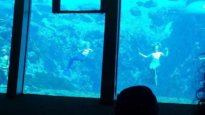 20140302_133756.jpg - METADATA-START��QUUUUUUÞ­¾ï���P�����è°�n����xUUUUUUUUÞ­¾ï�������UUUUUUUUÞ­¾ïUUUUUUUUÞ­¾ï��UU���UUUUUUUUÞ­¾ï��UUUUUUUUUUUUUUUUUUUUUUUUUUUUUUUUUUUUUUUUUUUUUUUUUUUUUUUUUUUUUUUUUUUUUUUUUUUUUUUUUUUUUUUUUUUUUUUUUUUUUUUUUUUUUUUUUUUUUUUUUUUUUUUUUUUUUUUUUUUUUUUUUUUUUUUUUUUUUUUUUUUUUUUUUUUUUUUUUUUUUUUUUUUUUUUUUUUUUUÞ­¾ï����UUUUUUUUUUUUUUUUUUUUÞ­¾ï�C�A�LUUUUUUCu�rUU0xDCB0UUUUUUUUUUUUUUUUUUUUUUUUUUUUUUUUUUUUUUUUUUUUUUUUUUUUUUUUUUUUUUUUUUUUUUUUÞ­¾ï�T�U�N�AUUUUUUUUUUUUUUUUUUUUUUUUUUUUUUUUUUUUUUUUUUUUUUUUUUUUUUUUUUUUUUUUUUUUUUUUUUUUUUUUUUUUUUUUUUUUÞ­¾ï®®®®FèÂln�º)�QO������������������������������������C�B½����������p�����������������������������������������7��`�M�ö�ñ�-������P���x������º'UUUUUUUUUUUUUUUUUUUUÞ­¾ïKJKJº&�Ë��ÿé����×�ÚÜ����"����è°�Âô�n������¶����o�ðÿþêm��%ÿÿÁ¦�1ÿÿº)ÿÿÿÿÿ!:�ßÂ�������������������������������������������������������������������������������������������������������������������������������������������������������������������������������������������������������������������������������������������������������������������������������������������������������������������������������������������������������������������������������������������������������àG���B�������������9���}�������������[��ÿÿ�
�[��ÿÿ�
�[��ÿÿ�
�[��ÿÿ�
�[��ÿÿ�C��������������������������������UUUUUUUUUUUUUUUUUUUUUUUUUUUUUUUUÞ­¾ï¯¯ÊÊ�S¯V���¯¯¯¯������������������������������������������������������������������������������������������������������������������������������������������������������������������������������������������������������������������������������������������������������¯¯¯¯��Gè���f�x�3�UUUUUUUUUUUUUUUUÞ­¾ïUUUUUUUUUUUUUUUUUUUUUUUUUUUUUUUUUUUUUUUUUUUUUUUUUUUUUUUUUUUUUUUUUUUUUUUUUUUUUUUUÞ­¾ïUUUUUUUUUUUUUUUUUUUUUUUUUUUUUUUUUUUUUUUUUUUUUUUUUUUUUUUUUUUUUUUUUUUUUUUUUUUUUUUUUUUUUUUUUUUUUUUUUUUUUUUUUUUUUUUUUUUUUUUUUUUUUUUUUUUUUUUUUUUUUUUUUUUUUUUUUUUUUUUUUUUUUUUUUUUUUUUUUUUUUUUUUUUUUUUUUUUUUUUUUUUUUUUUUUUUUUUUUUUUUUUUUUUUUUUUUUUUUUUUUUUUUUUUUUUUUUUUUUUUUUUUUUUUUUUUUUUUUUUUUUUUUUUUUUUUUUUUUUUUUUUUUUUUUUUUUUUUUUUUUUUUUUUUUUUUUUUUUUUUUUUUUUUUUUUUUUUUUUUUUUUUUUUUUUUUUUUUUUUUUUUUUUUUUUUUUUUUUUUUUUUUUUUUUUUUUUUUUUUUUUUUUUUUUUUUUUUUUUUUUUUUUUUUUUUUUUUUUUUUUUUUUUUUUUUUUUUUUUUUUUUUUUUUUUUUUUUUUUUUUUUUUUUUUUUUUUUUUUUUUUUUUUUUUUUUUUUUUUUUUUUUUUUUUUUUUUUUUUUUUUUUUUUUUUUUUUUUUUUUUUUUUUUUUUUUUUUUUUUUUUUUUUUUUUUUUUUUUUUUUUUUUUUUUUUUUUUUUUUUUUUUUUUUUUUUUUUUUUUUUUUUUUUUUUUUUUUUUUUUUUUUUUUUUUUUUUUUUUUUUUUUUUUUUUUUUUUUUUUUUUUUUUUUUUUUUUUUUUUUUUUUUUUUUUUUUUUUUUUUUUUUUUUUUUUUUUUUUUUUUUUUUUUUUUUUUUUUUUUUUUUUUUUUUUUUUUUUUUUUUUUUUUUUUUUUUUUUUUUUUUUUUUUUUUUUUUUUUUUUUUUUUUUUUUUUUUUUUUUUUUUUUUUUUUUUUUUUUUUUUUUUUUUUUUUUUUUUUUUUUUUUUUUUUUUUUUUUUUUUUUUUUUUUUUUUUUUUUUUUUUUUUUUUUUUUUUUUUUUUUUUUUUUUUUUUUUUUUUUUUUUUUUUUUUUUUUUUUUUUUUUUUUUUUUUUUUUUUUUUUUUUUUUUUUUUUUUUUUUUUUUUUUUUUUUUUUUUUUUUUUUUUUUUUUUUUUUUUUUUUUUUUUUUUUUUUUUUUUUUUUUUUUUUUUUUUUUUUUUUUUUUUUUUUUUUUUUUUUUUUUUUUUUUUUUUUUUUUUUUUUUUUUUUUUUUUUUUUUUUUUUUUUUUUUUUUUUUUUUUUUUUUUUUUUUUUUUUUUUUUUUUUUUUUUUUUUUUUUUUUUUUUUUUUUUUUUUUUUUUUUUUUUUUUUUUUUUUUUUUUUUUUUUUUUUUUUUUUUUUUUUUUUUUUUUUUUUUUUUUUUUUUUUUUUUUUUUUUUUUUUUUUUUUUUUUUUUUUUUUUUUUUUUUUUUUUUUUUUUUUUUUUUUUUUUUUUUUUUUUUUUUUUUUUUUUUUUUUUUUUUUUUUUUUUUUUUUUUUUUUUUUUUUUUUUUUUUUUUUUUUUUUUUUUUUUUUUUUUUUUUUUUUUUUUUUUUUUUUUUUUUUUUUUUUUUUUÞ­¾ï������]MUUUUUUUUUUUUUUUUUUUUUUUUUUUUUUUUÞ­¾ïUUUUMETADATA-END