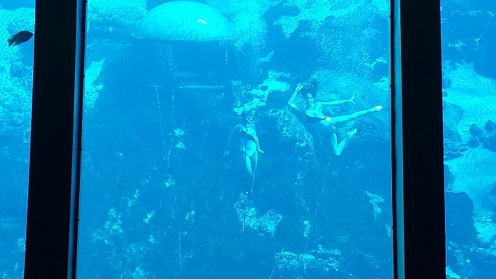 20140302_135040.jpg - METADATA-START��~UUUUUUÞ­¾ï���P�����é�|����xUUUUUUUUÞ­¾ï�������UUUUUUUUÞ­¾ïUUUUUUUUÞ­¾ï��UU���UUUUUUUUÞ­¾ï��UUUUUUUUUUUUUUUUUUUUUUUUUUUUUUUUUUUUUUUUUUUUUUUUUUUUUUUUUUUUUUUUUUUUUUUUUUUUUUUUUUUUUUUUUUUUUUUUUUUUUUUUUUUUUUUUUUUUUUUUUUUUUUUUUUUUUUUUUUUUUUUUUUUUUUUUUUUUUUUUUUUUUUUUUUUUUUUUUUUUUUUUUUUUUUUUUUUUUUÞ­¾ï����UUUUUUUUUUUUUUUUUUUUÞ­¾ï�C�A�LUUUUUUCu�rUU0xDCB0UUUUUUUUUUUUUUUUUUUUUUUUUUUUUUUUUUUUUUUUUUUUUUUUUUUUUUUUUUUUUUUUUUUUUUUUÞ­¾ï�T�U�N�AUUUUUUUUUUUUUUUUUUUUUUUUUUUUUUUUUUUUUUUUUUUUUUUUUUUUUUUUUUUUUUUUUUUUUUUUUUUUUUUUUUUUUUUUUUUUÞ­¾ï®®®®Fè­x�º)�TP�����������������������������������6�5^����������|�����������������������������������������R��N�v�ù��:������P���x������º'UUUUUUUUUUUUUUUUUUUUÞ­¾ïKJKJº&�Ë��ÿé����×�ÚÜ����"����é�­�x���Ï��Ï������~õ�òÂÿþè8��%ÿÿÁ�
¹ÿÿ¸±ÿÿÿÿÿ Û�à�����������������������������������������������������������������������������������������������������������������������������������������������������������������������������������������������������������������������������������������������������������������������������������������������������������������������������������������������à-����X�������������ñ����������������Q����§�Q����§�Q����§�Q����§�Q������������������������������������UUUUUUUUUUUUUUUUUUUUUUUUUUUUUUUUÞ­¾ï¯¯ÊÊ�S¯V�0v��¯¯¯¯�Vw�Y�ÖÏw�æ�óf�þtf�m�wüt�õ{|�{$�i-�U`v�'v�ã%������������������������������������������������������������������������������������������������������������������������������������������������������������V��¯¯¯¯��?#��Ç�]�Þ�&�UUUUUUUUUUUUUUUUÞ­¾ïUUUUUUUUUUUUUUUUUUUUUUUUUUUUUUUUUUUUUUUUUUUUUUUUUUUUUUUUUUUUUUUUUUUUUUUUUUUUUUUUÞ­¾ïUUUUUUUUUUUUUUUUUUUUUUUUUUUUUUUUUUUUUUUUUUUUUUUUUUUUUUUUUUUUUUUUUUUUUUUUUUUUUUUUUUUUUUUUUUUUUUUUUUUUUUUUUUUUUUUUUUUUUUUUUUUUUUUUUUUUUUUUUUUUUUUUUUUUUUUUUUUUUUUUUUUUUUUUUUUUUUUUUUUUUUUUUUUUUUUUUUUUUUUUUUUUUUUUUUUUUUUUUUUUUUUUUUUUUUUUUUUUUUUUUUUUUUUUUUUUUUUUUUUUUUUUUUUUUUUUUUUUUUUUUUUUUUUUUUUUUUUUUUUUUUUUUUUUUUUUUUUUUUUUUUUUUUUUUUUUUUUUUUUUUUUUUUUUUUUUUUUUUUUUUUUUUUUUUUUUUUUUUUUUUUUUUUUUUUUUUUUUUUUUUUUUUUUUUUUUUUUUUUUUUUUUUUUUUUUUUUUUUUUUUUUUUUUUUUUUUUUUUUUUUUUUUUUUUUUUUUUUUUUUUUUUUUUUUUUUUUUUUUUUUUUUUUUUUUUUUUUUUUUUUUUUUUUUUUUUUUUUUUUUUUUUUUUUUUUUUUUUUUUUUUUUUUUUUUUUUUUUUUUUUUUUUUUUUUUUUUUUUUUUUUUUUUUUUUUUUUUUUUUUUUUUUUUUUUUUUUUUUUUUUUUUUUUUUUUUUUUUUUUUUUUUUUUUUUUUUUUUUUUUUUUUUUUUUUUUUUUUUUUUUUUUUUUUUUUUUUUUUUUUUUUUUUUUUUUUUUUUUUUUUUUUUUUUUUUUUUUUUUUUUUUUUUUUUUUUUUUUUUUUUUUUUUUUUUUUUUUUUUUUUUUUUUUUUUUUUUUUUUUUUUUUUUUUUUUUUUUUUUUUUUUUUUUUUUUUUUUUUUUUUUUUUUUUUUUUUUUUUUUUUUUUUUUUUUUUUUUUUUUUUUUUUUUUUUUUUUUUUUUUUUUUUUUUUUUUUUUUUUUUUUUUUUUUUUUUUUUUUUUUUUUUUUUUUUUUUUUUUUUUUUUUUUUUUUUUUUUUUUUUUUUUUUUUUUUUUUUUUUUUUUUUUUUUUUUUUUUUUUUUUUUUUUUUUUUUUUUUUUUUUUUUUUUUUUUUUUUUUUUUUUUUUUUUUUUUUUUUUUUUUUUUUUUUUUUUUUUUUUUUUUUUUUUUUUUUUUUUUUUUUUUUUUUUUUUUUUUUUUUUUUUUUUUUUUUUUUUUUUUUUUUUUUUUUUUUUUUUUUUUUUUUUUUUUUUUUUUUUUUUUUUUUUUUUUUUUUUUUUUUUUUUUUUUUUUUUUUUUUUUUUUUUUUUUUUUUUUUUUUUUUUUUUUUUUUUUUUUUUUUUUUUUUUUUUUUUUUUUUUUUUUUUUUUUUUUUUUUUUUUUUUUUUUUUUUUUUUUUUUUUUUUUUUUUUUUUUUUUUUUUUUUUUUUUUUUUUUUUUUUUUUUUUUUUUUUUUUUUUUUUUUUUUUUUUUUUUUUUUUUUUUUUUUUUUUUUUUUUUUUUUUUUUUUUUUUUUUUUUUUUUUUUUUUUUUUUUUUUUUUUUUUUUUUUUUUUUUUUUUUUUUUUUUUUUUUUUÞ­¾ï������¢YUUUUUUUUUUUUUUUUUUUUUUUUUUUUUUUUÞ­¾ïUUUUMETADATA-END