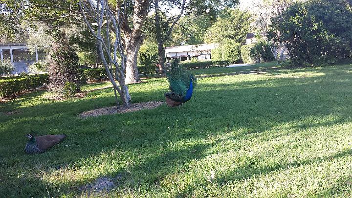 20140302_161135.jpg - METADATA-START��ËUUUUUUÞ­¾ï���2�����Pb�����UUUUUUUUÞ­¾ï�������UUUUUUUUÞ­¾ïUUUUUUUUÞ­¾ï��UU���UUUUUUUUÞ­¾ï��UUUUUUUUUUUUUUUUUUUUUUUUUUUUUUUUUUUUUUUUUUUUUUUUUUUUUUUUUUUUUUUUUUUUUUUUUUUUUUUUUUUUUUUUUUUUUUUUUUUUUUUUUUUUUUUUUUUUUUUUUUUUUUUUUUUUUUUUUUUUUUUUUUUUUUUUUUUUUUUUUUUUUUUUUUUUUUUUUUUUUUUUUUUUUUUUUUUUUUÞ­¾ï����UUUUUUUUUUUUUUUUUUUUÞ­¾ï�C�A�LUUUUUUCu�rUU0xDCB0UUUUUUUUUUUUUUUUUUUUUUUUUUUUUUUUUUUUUUUUUUUUUUUUUUUUUUUUUUUUUUUUUUUUUUUUÞ­¾ï�T�U�N�AUUUUUUUUUUUUUUUUUUUUUUUUUUUUUUUUUUUUUUUUUUUUUUUUUUUUUUUUUUUUUUUUUUUUUUUUUUUUUUUUUUUUUUUUUUUUÞ­¾ï®®®®FP��º)�YQ�����������������������������������G�E��������������������������������������������������5��n�þ�ëÿé������2���������º'UUUUUUUUUUUUUUUUUUUUÞ­¾ïKJKJº&�Ë��ÿé����×�ÚÜ����"�����Pb�������¡��Â�ð����¢ì�çÿþÿ��mÿÿ°'�¥ùÿÿ©àÿÿüÂÿÿ�æ.� �"1�"1�����"��"� �3Q���`�"1��"!�"1�wB�w2�"A��"1�"A�"1�"1�w2�D2�"A�"A�"!�"!��"1�"A�"A�"1�"1�"A�"A�"1�D2�D2�D2�D2�"1��"!��0�"1�3Q�"1��3P�D2�"1�"A�DB�D2�D2�"1�����"1�"A�w2��"A�w2��"1�D2�D2�D2������"1�3Q�w2�"1�"A�"1��"!�"!�"!�"1�"!�w2�w2�"!�w2�w2�3P�"1�w2�3Q�D2�D2�w"�D2�D2�D2�D2�"!�"!�w"�wB�w2�DB�w2�D2�"!�D2�w"����w"�w"�w"�w"�w"�w"�w"�w2�w2�w2�w"�"!��"!�"!�w"�w"�w"�w"�w"�w"�w"�w"�w"�w"�w"�"!�"!�w"�w"�w"�w"�w"�w"�w"�w"�w"�w"�w"�w"�w"�w"�w"�w"�w"�w"�w"�w"�w"�w"�w"�D2�D2�D2�D2�w"���w"�w"�w"�w"�w"�w"�D2�D2�D2�D2�D2�D2�D2���w"�w"�w"�w2�w"�w"�w"�D2�D2�D2�D2�D2�D2�D2�w"�"!�"!�w2�D2�w2�w"�w"�D2�D2�D2�w2�D2�D2�D2�D2�"!�"1�D2�D2�"!�w"�w"�w2�D2�D2�w2�D2�D2�D2�D2�D2��w"�"!�"!� �w2�w2�D2�w2�D2�D2�D2�D2�D2�D2�D2�ã���Õ�ðl���Ãô�Ã´���¼ê�ðÂ��ÿÿ�ýr�������������������������ÜN����$�Å���yó�������������������������ñ���§¥�ðµ���§]�ðµ���§]�ðµ���§]�ðµ���£ ������������������Cò�����������UUUUUUUUUUUUUUUUUUUUUUUUUUUUUUUUÞ­¾ï¯¯ÊÊ�S¯V�l��¯¯¯¯������������������������������������������������������������������������������������������������������������������������������������������������������������������������������������������������������������������������������������������������������¯¯¯¯��L��Ã�f�r�3�UUUUUUUUUUUUUUUUÞ­¾ïUUUUUUUUUUUUUUUUUUUUUUUUUUUUUUUUUUUUUUUUUUUUUUUUUUUUUUUUUUUUUUUUUUUUUUUUUUUUUUUUÞ­¾ïUUUUUUUUUUUUUUUUUUUUUUUUUUUUUUUUUUUUUUUUUUUUUUUUUUUUUUUUUUUUUUUUUUUUUUUUUUUUUUUUUUUUUUUUUUUUUUUUUUUUUUUUUUUUUUUUUUUUUUUUUUUUUUUUUUUUUUUUUUUUUUUUUUUUUUUUUUUUUUUUUUUUUUUUUUUUUUUUUUUUUUUUUUUUUUUUUUUUUUUUUUUUUUUUUUUUUUUUUUUUUUUUUUUUUUUUUUUUUUUUUUUUUUUUUUUUUUUUUUUUUUUUUUUUUUUUUUUUUUUUUUUUUUUUUUUUUUUUUUUUUUUUUUUUUUUUUUUUUUUUUUUUUUUUUUUUUUUUUUUUUUUUUUUUUUUUUUUUUUUUUUUUUUUUUUUUUUUUUUUUUUUUUUUUUUUUUUUUUUUUUUUUUUUUUUUUUUUUUUUUUUUUUUUUUUUUUUUUUUUUUUUUUUUUUUUUUUUUUUUUUUUUUUUUUUUUUUUUUUUUUUUUUUUUUUUUUUUUUUUUUUUUUUUUUUUUUUUUUUUUUUUUUUUUUUUUUUUUUUUUUUUUUUUUUUUUUUUUUUUUUUUUUUUUUUUUUUUUUUUUUUUUUUUUUUUUUUUUUUUUUUUUUUUUUUUUUUUUUUUUUUUUUUUUUUUUUUUUUUUUUUUUUUUUUUUUUUUUUUUUUUUUUUUUUUUUUUUUUUUUUUUUUUUUUUUUUUUUUUUUUUUUUUUUUUUUUUUUUUUUUUUUUUUUUUUUUUUUUUUUUUUUUUUUUUUUUUUUUUUUUUUUUUUUUUUUUUUUUUUUUUUUUUUUUUUUUUUUUUUUUUUUUUUUUUUUUUUUUUUUUUUUUUUUUUUUUUUUUUUUUUUUUUUUUUUUUUUUUUUUUUUUUUUUUUUUUUUUUUUUUUUUUUUUUUUUUUUUUUUUUUUUUUUUUUUUUUUUUUUUUUUUUUUUUUUUUUUUUUUUUUUUUUUUUUUUUUUUUUUUUUUUUUUUUUUUUUUUUUUUUUUUUUUUUUUUUUUUUUUUUUUUUUUUUUUUUUUUUUUUUUUUUUUUUUUUUUUUUUUUUUUUUUUUUUUUUUUUUUUUUUUUUUUUUUUUUUUUUUUUUUUUUUUUUUUUUUUUUUUUUUUUUUUUUUUUUUUUUUUUUUUUUUUUUUUUUUUUUUUUUUUUUUUUUUUUUUUUUUUUUUUUUUUUUUUUUUUUUUUUUUUUUUUUUUUUUUUUUUUUUUUUUUUUUUUUUUUUUUUUUUUUUUUUUUUUUUUUUUUUUUUUUUUUUUUUUUUUUUUUUUUUUUUUUUUUUUUUUUUUUUUUUUUUUUUUUUUUUUUUUUUUUUUUUUUUUUUUUUUUUUUUUUUUUUUUUUUUUUUUUUUUUUUUUUUUUUUUUUUUUUUUUUUUUUUUUUUUUUUUUUUUUUUUUUUUUUUUUUUUUUUUUUUUUUUUUUUUUUUUUUUUUUUUUUUUUUUUUUUUUUUUUUUUUUUUUUUUUUUUUUUUUUUUUUUUUUUUUUUUUUUUUUUUUUUUUUUUUUUUUUUUUUUUUUUUUUUUUUUUUUUUUUUUUUUUUUÞ­¾ï������`EUUUUUUUUUUUUUUUUUUUUUUUUUUUUUUUUÞ­¾ïUUUUMETADATA-END