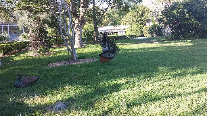 20140302_161140.jpg - METADATA-START��BUUUUUUÞ­¾ï���2�����RÙ����� UUUUUUUUÞ­¾ï�������UUUUUUUUÞ­¾ïUUUUUUUUÞ­¾ï��UU���UUUUUUUUÞ­¾ï��UUUUUUUUUUUUUUUUUUUUUUUUUUUUUUUUUUUUUUUUUUUUUUUUUUUUUUUUUUUUUUUUUUUUUUUUUUUUUUUUUUUUUUUUUUUUUUUUUUUUUUUUUUUUUUUUUUUUUUUUUUUUUUUUUUUUUUUUUUUUUUUUUUUUUUUUUUUUUUUUUUUUUUUUUUUUUUUUUUUUUUUUUUUUUUUUUUUUUUÞ­¾ï����UUUUUUUUUUUUUUUUUUUUÞ­¾ï�C�A�LUUUUUUCu�rUU0xDCB0UUUUUUUUUUUUUUUUUUUUUUUUUUUUUUUUUUUUUUUUUUUUUUUUUUUUUUUUUUUUUUUUUUUUUUUUÞ­¾ï�T�U�N�AUUUUUUUUUUUUUUUUUUUUUUUUUUUUUUUUUUUUUUUUUUUUUUUUUUUUUUUUUUUUUUUUUUUUUUUUUUUUUUUUUUUUUUUUUUUUÞ­¾ï®®®®FR��º)�UQ�����������������������������������H�Fà��������������������������������������������������4��p�þ�îÿê������2��� ������º'UUUUUUUUUUUUUUUUUUUUÞ­¾ïKJKJº&�Ë��ÿé����×�ÚÜ����"�����RÙ�������³��Ú�ò³����£[�è.ÿþþf��lÿÿ°>�¥ôÿÿ©ÎÿÿüËÿÿÒ�æc��w2�w2�"1��"1���`�"��"� �3Q�3Q�"1� ��"1�"A�"1�"A�0��3Q�"1�"1�"1�D2�"A�"A�"!���"1�"A�"A�"1� �3Q�"1�"1�D2�D2�D2�D2�"1��"!���"1�3Q�"1��3Q�D2�"1�3Q�DB�D2�D2�"1�����"1�"A�w2��"1�w2��"1�D2�D2�D2����� �D2�3Q�"1�"1�"A�"!��w"�"!�"!�"1�"!�"!�"!�"!�w2��3Q�w2�wB�"A�D2�D2��D2�D2�D2�D2�D2�D2�"!�wB�w2�DB�w2�w2�"!�w"�w"��w"�w"�w"�w"�w"�w"�w"�w"�w"�w"�w"���"!�"!�w"�w"�w"�w"�w"�w"�w"�w"�w"�w"�w"�w"�w"�w"�w"�w"�w"�w"�w"�w"�w"�w"�w"�w"�w"��w"�w"�w"�w"�w"�w"�w"�w"�w"�w"�D2�D2�D2�D2����w"�w"�w"�w"�w"�D"�D2�D2�D2�D2�D2�D2�D2�w"�w"�w"�w"�w2�D2�w"�w"�w"�D2�D2�D2�D2�D2�D2�D2�"!�"1�DB�D2�D2�w"�w"�w"�D2�D2�D2�w2�D2�D2�D2�D2�w"�"!�w2�w2��w"�w"�D2�D2�D2�D2�D2�D2�D2�D2�D2�w"�w"�w"�"1�"1�D2�D2�D2�D2�D2�D2�D2�D2�D2�D2�D2���ÿ÷�Ì�ì���É�À=���ÂX�ï��ÿÿ�þ�������������������������������������Ç���u�������������������������óñ���§W�ó���§�ó���§�ó���§�ó���¢Ï��������������f��2à����������UUUUUUUUUUUUUUUUUUUUUUUUUUUUUUUUÞ­¾ï¯¯ÊÊ�S¯V�l��¯¯¯¯������������������������������������������������������������������������������������������������������������������������������������������������������������������������������������������������������������������������������������������������������¯¯¯¯��L��Â�f�r�3�UUUUUUUUUUUUUUUUÞ­¾ïUUUUUUUUUUUUUUUUUUUUUUUUUUUUUUUUUUUUUUUUUUUUUUUUUUUUUUUUUUUUUUUUUUUUUUUUUUUUUUUUÞ­¾ïUUUUUUUUUUUUUUUUUUUUUUUUUUUUUUUUUUUUUUUUUUUUUUUUUUUUUUUUUUUUUUUUUUUUUUUUUUUUUUUUUUUUUUUUUUUUUUUUUUUUUUUUUUUUUUUUUUUUUUUUUUUUUUUUUUUUUUUUUUUUUUUUUUUUUUUUUUUUUUUUUUUUUUUUUUUUUUUUUUUUUUUUUUUUUUUUUUUUUUUUUUUUUUUUUUUUUUUUUUUUUUUUUUUUUUUUUUUUUUUUUUUUUUUUUUUUUUUUUUUUUUUUUUUUUUUUUUUUUUUUUUUUUUUUUUUUUUUUUUUUUUUUUUUUUUUUUUUUUUUUUUUUUUUUUUUUUUUUUUUUUUUUUUUUUUUUUUUUUUUUUUUUUUUUUUUUUUUUUUUUUUUUUUUUUUUUUUUUUUUUUUUUUUUUUUUUUUUUUUUUUUUUUUUUUUUUUUUUUUUUUUUUUUUUUUUUUUUUUUUUUUUUUUUUUUUUUUUUUUUUUUUUUUUUUUUUUUUUUUUUUUUUUUUUUUUUUUUUUUUUUUUUUUUUUUUUUUUUUUUUUUUUUUUUUUUUUUUUUUUUUUUUUUUUUUUUUUUUUUUUUUUUUUUUUUUUUUUUUUUUUUUUUUUUUUUUUUUUUUUUUUUUUUUUUUUUUUUUUUUUUUUUUUUUUUUUUUUUUUUUUUUUUUUUUUUUUUUUUUUUUUUUUUUUUUUUUUUUUUUUUUUUUUUUUUUUUUUUUUUUUUUUUUUUUUUUUUUUUUUUUUUUUUUUUUUUUUUUUUUUUUUUUUUUUUUUUUUUUUUUUUUUUUUUUUUUUUUUUUUUUUUUUUUUUUUUUUUUUUUUUUUUUUUUUUUUUUUUUUUUUUUUUUUUUUUUUUUUUUUUUUUUUUUUUUUUUUUUUUUUUUUUUUUUUUUUUUUUUUUUUUUUUUUUUUUUUUUUUUUUUUUUUUUUUUUUUUUUUUUUUUUUUUUUUUUUUUUUUUUUUUUUUUUUUUUUUUUUUUUUUUUUUUUUUUUUUUUUUUUUUUUUUUUUUUUUUUUUUUUUUUUUUUUUUUUUUUUUUUUUUUUUUUUUUUUUUUUUUUUUUUUUUUUUUUUUUUUUUUUUUUUUUUUUUUUUUUUUUUUUUUUUUUUUUUUUUUUUUUUUUUUUUUUUUUUUUUUUUUUUUUUUUUUUUUUUUUUUUUUUUUUUUUUUUUUUUUUUUUUUUUUUUUUUUUUUUUUUUUUUUUUUUUUUUUUUUUUUUUUUUUUUUUUUUUUUUUUUUUUUUUUUUUUUUUUUUUUUUUUUUUUUUUUUUUUUUUUUUUUUUUUUUUUUUUUUUUUUUUUUUUUUUUUUUUUUUUUUUUUUUUUUUUUUUUUUUUUUUUUUUUUUUUUUUUUUUUUUUUUUUUUUUUUUUUUUUUUUUUUUUUUUUUUUUUUUUUUUUUUUUUUUUUUUUUUUUUUUUUUUUUUUUUUUUUUUUUUUUUUUUUUUUUUUUUUUUUUUUUUUUUUUUUUUUUUUUUUUUUUUUUUUUUUUUUUUUUUUUUUUUUUUUUUUUUUUUUUUUUUUUUUUUUUUUUUUUUÞ­¾ï������qØUUUUUUUUUUUUUUUUUUUUUUUUUUUUUUUUÞ­¾ïUUUUMETADATA-END