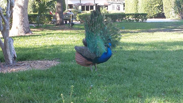 20140302_161149.jpg - METADATA-START��XUUUUUUÞ­¾ï���2�����èÂ�����xUUUUUUUUÞ­¾ï�������UUUUUUUUÞ­¾ïUUUUUUUUÞ­¾ï��UU���UUUUUUUUÞ­¾ï��UUUUUUUUUUUUUUUUUUUUUUUUUUUUUUUUUUUUUUUUUUUUUUUUUUUUUUUUUUUUUUUUUUUUUUUUUUUUUUUUUUUUUUUUUUUUUUUUUUUUUUUUUUUUUUUUUUUUUUUUUUUUUUUUUUUUUUUUUUUUUUUUUUUUUUUUUUUUUUUUUUUUUUUUUUUUUUUUUUUUUUUUUUUUUUUUUUUUUUÞ­¾ï����UUUUUUUUUUUUUUUUUUUUÞ­¾ï�C�A�LUUUUUUCu�rUU0xDCB0UUUUUUUUUUUUUUUUUUUUUUUUUUUUUUUUUUUUUUUUUUUUUUUUUUUUUUUUUUUUUUUUUUUUUUUUÞ­¾ï�T�U�N�AUUUUUUUUUUUUUUUUUUUUUUUUUUUUUUUUUUUUUUUUUUUUUUUUUUUUUUUUUUUUUUUUUUUUUUUUUUUUUUUUUUUUUUUUUUUUÞ­¾ï®®®®Fè�º)�EP������������������������������������W�Ya��������������������������������������������������#��x�þ�ÿé������2���x������º'UUUUUUUUUUUUUUUUUUUUÞ­¾ïKJKJº&�Ë��ÿé����×�ÚÜ����"�����èÂ�^����K��K�û�����ësÿþøÓ��ºÿÿ³�Vÿÿ®(ÿÿýGÿÿr�çG�0�3P�D2�"1�"1�"!���!@�!@�"1�D2�D2�D2�D2�"1��"A�D2�"!�"A� �"1�"1�"!�D2�D2�D2�D2�D2�D2�"1��3P�"!�"1�"1��"1�w"����"!�"!�"!�"�"� �"1��3P�"1�"!�"!��"!�������w"�w"�D"�D"�"!�D"�"!�3Q�3Q�D2�D2�D2�D2�D2�������w"�"!�D2�D2�D2�D2�"1�"!�D2�D2�D2�D2�D2�D2����������D"�D2�D2�D2�D2�D2�"!�D2�D2�D2�D"�D"�"!����������D"�D"�D"�D"�D"�D"�"�w"�w"�w"�w"�w"�"!��������w"�w"�w"�w"�D"�D"�"�� ��"�w"�"!�����w"�w"�w"�w"�w"�w"�w"�� �"!�"!�w"�w"�w"�w"�w"�w"�w"�w"�w"�w"�w"�w"�w"�w"�w"�w"�w"�w"�w"�w"�w"�w"�w"�w"�w"�w"�w"�w"�w"�w"�w"�w"�w"�w"�w"�w"�w"�w"�w"�w"�w"�w"�w"�w"�w"�w"�w"�w"�w"�w"�w"�w"�w"�w"�w"�w"�w"�w"�w"�w"�w"�w"�w"�w"�w"�w"�w"�w"�w"�w"�w"�w"�D"�D"�D"�D"�w"�w"�w"�w"�w"�w"�w"�w"�w"�D"�D"�D"�D"�D2�D"�D"�w"�w"�w"�w"�w"�w"�w"�D"�D"�D2�D2�D2�D2�D2�D2�D2�ùD��ÿù�x�>��ÿÿ�»�Æò���ª�Ê���ôB�������������������������Þ"���^�ó��ÿû�k[�������������������������ú^���¤Y�ú9���¤A�ú9���¤A�ú9���¤A�ú9��� ��������������������������������UUUUUUUUUUUUUUUUUUUUUUUUUUUUUUUUÞ­¾ï¯¯ÊÊ�S¯V�k��¯¯¯¯������������������������������������������������������������������������������������������������������������������������������������������������������������������������������������������������������������������������������������������������������¯¯¯¯��CÈ��m1�f�¤�3�UUUUUUUUUUUUUUUUÞ­¾ïUUUUUUUUUUUUUUUUUUUUUUUUUUUUUUUUUUUUUUUUUUUUUUUUUUUUUUUUUUUUUUUUUUUUUUUUUUUUUUUUÞ­¾ïUUUUUUUUUUUUUUUUUUUUUUUUUUUUUUUUUUUUUUUUUUUUUUUUUUUUUUUUUUUUUUUUUUUUUUUUUUUUUUUUUUUUUUUUUUUUUUUUUUUUUUUUUUUUUUUUUUUUUUUUUUUUUUUUUUUUUUUUUUUUUUUUUUUUUUUUUUUUUUUUUUUUUUUUUUUUUUUUUUUUUUUUUUUUUUUUUUUUUUUUUUUUUUUUUUUUUUUUUUUUUUUUUUUUUUUUUUUUUUUUUUUUUUUUUUUUUUUUUUUUUUUUUUUUUUUUUUUUUUUUUUUUUUUUUUUUUUUUUUUUUUUUUUUUUUUUUUUUUUUUUUUUUUUUUUUUUUUUUUUUUUUUUUUUUUUUUUUUUUUUUUUUUUUUUUUUUUUUUUUUUUUUUUUUUUUUUUUUUUUUUUUUUUUUUUUUUUUUUUUUUUUUUUUUUUUUUUUUUUUUUUUUUUUUUUUUUUUUUUUUUUUUUUUUUUUUUUUUUUUUUUUUUUUUUUUUUUUUUUUUUUUUUUUUUUUUUUUUUUUUUUUUUUUUUUUUUUUUUUUUUUUUUUUUUUUUUUUUUUUUUUUUUUUUUUUUUUUUUUUUUUUUUUUUUUUUUUUUUUUUUUUUUUUUUUUUUUUUUUUUUUUUUUUUUUUUUUUUUUUUUUUUUUUUUUUUUUUUUUUUUUUUUUUUUUUUUUUUUUUUUUUUUUUUUUUUUUUUUUUUUUUUUUUUUUUUUUUUUUUUUUUUUUUUUUUUUUUUUUUUUUUUUUUUUUUUUUUUUUUUUUUUUUUUUUUUUUUUUUUUUUUUUUUUUUUUUUUUUUUUUUUUUUUUUUUUUUUUUUUUUUUUUUUUUUUUUUUUUUUUUUUUUUUUUUUUUUUUUUUUUUUUUUUUUUUUUUUUUUUUUUUUUUUUUUUUUUUUUUUUUUUUUUUUUUUUUUUUUUUUUUUUUUUUUUUUUUUUUUUUUUUUUUUUUUUUUUUUUUUUUUUUUUUUUUUUUUUUUUUUUUUUUUUUUUUUUUUUUUUUUUUUUUUUUUUUUUUUUUUUUUUUUUUUUUUUUUUUUUUUUUUUUUUUUUUUUUUUUUUUUUUUUUUUUUUUUUUUUUUUUUUUUUUUUUUUUUUUUUUUUUUUUUUUUUUUUUUUUUUUUUUUUUUUUUUUUUUUUUUUUUUUUUUUUUUUUUUUUUUUUUUUUUUUUUUUUUUUUUUUUUUUUUUUUUUUUUUUUUUUUUUUUUUUUUUUUUUUUUUUUUUUUUUUUUUUUUUUUUUUUUUUUUUUUUUUUUUUUUUUUUUUUUUUUUUUUUUUUUUUUUUUUUUUUUUUUUUUUUUUUUUUUUUUUUUUUUUUUUUUUUUUUUUUUUUUUUUUUUUUUUUUUUUUUUUUUUUUUUUUUUUUUUUUUUUUUUUUUUUUUUUUUUUUUUUUUUUUUUUUUUUUUUUUUUUUUUUUUUUUUUUUUUUUUUUUUUUUUUUUUUUUUUUUUUUUUUUUUUUUUUUUUUUUUUUUUUUUUUUUUUUUUUUUUUUUUUUUUUUUUUUUUUUUUUUUUUUUUUUUUUUUUUUUUUUUUUÞ­¾ï������øUUUUUUUUUUUUUUUUUUUUUUUUUUUUUUUUÞ­¾ïUUUUMETADATA-END