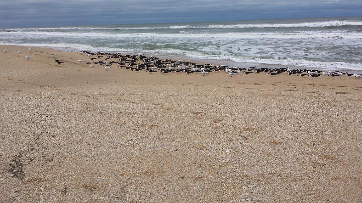 20140307_152400.jpg - METADATA-START���UUUUUUÞ­¾ï���2�����¢)�Ú���øUUUUUUUUÞ­¾ï�������UUUUUUUUÞ­¾ïUUUUUUUUÞ­¾ï��UU���UUUUUUUUÞ­¾ï��UUUUUUUUUUUUUUUUUUUUUUUUUUUUUUUUUUUUUUUUUUUUUUUUUUUUUUUUUUUUUUUUUUUUUUUUUUUUUUUUUUUUUUUUUUUUUUUUUUUUUUUUUUUUUUUUUUUUUUUUUUUUUUUUUUUUUUUUUUUUUUUUUUUUUUUUUUUUUUUUUUUUUUUUUUUUUUUUUUUUUUUUUUUUUUUUUUUUUUÞ­¾ï����UUUUUUUUUUUUUUUUUUUUÞ­¾ï�C�A�LUUUUUUCu�rUU0xDCB0UUUUUUUUUUUUUUUUUUUUUUUUUUUUUUUUUUUUUUUUUUUUUUUUUUUUUUUUUUUUUUUUUUUUUUUUÞ­¾ï�T�U�N�AUUUUUUUUUUUUUUUUUUUUUUUUUUUUUUUUUUUUUUUUUUUUUUUUUUUUUUUUUUUUUUUUUUUUUUUUUUUUUUUUUUUUUUUUUUUUÞ­¾ï®®®®F�ÚÚ�º)�U�&���������������������������������'�"���������Û�����������������������������������������e�"�6�þ��Ï�������2��ø������º'UUUUUUUUUUUUUUUUUUUUÞ­¾ïKJKJº&�Ë��ÿé����×�ÚÜ����"�����¢)�·�Ú�����0�æÅ�����õÿþñ§��Mÿÿ²�¥2ÿÿ¨Æÿÿýÿÿ^�ê�"�"�"�"�"�"�"�"�"�"�"�"�"�"�"�"�"�"�"�"�"�"�"�"�"�"�"�"�"�"�"�"��������������������������������������"���������������`���`���`���`���`�������������������`���`�3P���`���`���`���`���`���`�3P�����������`���`���`���`���`���`���`���`���`���`���`���`���`���`���`���`���`���`���`���`���`���`���`���`���`���`���`���`���`���`���`���`���`���`���`���`���`���`���`���`���`���`���`���`���`���`���`���`���`���`���`���`���`���`���`���`���`���`���`���`���`���`���`���`���`���`���`���`���`���`���`���`���`���`���`���`���`���`���`���`���`���`���`���`���`�3P���`���`���`���`���`���`���`���`���`���`���`���`���`���`���`���`���`���`���`���`���`���`���`���`���`���`���`���`���`���`���`���`���`���`���`���`���`���`���`���`���`���`���`���`���`���`���`���`���`���`���`���`���`���`���`���`���`���`���`���`���`���`���`���`���`���`���`���`���`���`���`���`���`���`�ê¼��ÿð�A�öÜ���}§�Á6����§�������������������������������������Öé��ÿü�g�������������������������������������æ��ÿÔ�Ä�åò��ÿÔ�ä�åò��ÿÔ�ä�åò��ÿÔ�ä�åò��ÿÔ�
ó�������������)�Xô���D���2����UUUUUUUUUUUUUUUUUUUUUUUUUUUUUUUUÞ­¾ï¯¯ÊÊ�S¯V�q��¯¯¯¯������������������������������������������������������������������������������������������������������������������������������������������������������������������������������������������������������������������������������������������������������¯¯¯¯��L��)�f�r�3�UUUUUUUUUUUUUUUUÞ­¾ïUUUUUUUUUUUUUUUUUUUUUUUUUUUUUUUUUUUUUUUUUUUUUUUUUUUUUUUUUUUUUUUUUUUUUUUUUUUUUUUUÞ­¾ïUUUUUUUUUUUUUUUUUUUUUUUUUUUUUUUUUUUUUUUUUUUUUUUUUUUUUUUUUUUUUUUUUUUUUUUUUUUUUUUUUUUUUUUUUUUUUUUUUUUUUUUUUUUUUUUUUUUUUUUUUUUUUUUUUUUUUUUUUUUUUUUUUUUUUUUUUUUUUUUUUUUUUUUUUUUUUUUUUUUUUUUUUUUUUUUUUUUUUUUUUUUUUUUUUUUUUUUUUUUUUUUUUUUUUUUUUUUUUUUUUUUUUUUUUUUUUUUUUUUUUUUUUUUUUUUUUUUUUUUUUUUUUUUUUUUUUUUUUUUUUUUUUUUUUUUUUUUUUUUUUUUUUUUUUUUUUUUUUUUUUUUUUUUUUUUUUUUUUUUUUUUUUUUUUUUUUUUUUUUUUUUUUUUUUUUUUUUUUUUUUUUUUUUUUUUUUUUUUUUUUUUUUUUUUUUUUUUUUUUUUUUUUUUUUUUUUUUUUUUUUUUUUUUUUUUUUUUUUUUUUUUUUUUUUUUUUUUUUUUUUUUUUUUUUUUUUUUUUUUUUUUUUUUUUUUUUUUUUUUUUUUUUUUUUUUUUUUUUUUUUUUUUUUUUUUUUUUUUUUUUUUUUUUUUUUUUUUUUUUUUUUUUUUUUUUUUUUUUUUUUUUUUUUUUUUUUUUUUUUUUUUUUUUUUUUUUUUUUUUUUUUUUUUUUUUUUUUUUUUUUUUUUUUUUUUUUUUUUUUUUUUUUUUUUUUUUUUUUUUUUUUUUUUUUUUUUUUUUUUUUUUUUUUUUUUUUUUUUUUUUUUUUUUUUUUUUUUUUUUUUUUUUUUUUUUUUUUUUUUUUUUUUUUUUUUUUUUUUUUUUUUUUUUUUUUUUUUUUUUUUUUUUUUUUUUUUUUUUUUUUUUUUUUUUUUUUUUUUUUUUUUUUUUUUUUUUUUUUUUUUUUUUUUUUUUUUUUUUUUUUUUUUUUUUUUUUUUUUUUUUUUUUUUUUUUUUUUUUUUUUUUUUUUUUUUUUUUUUUUUUUUUUUUUUUUUUUUUUUUUUUUUUUUUUUUUUUUUUUUUUUUUUUUUUUUUUUUUUUUUUUUUUUUUUUUUUUUUUUUUUUUUUUUUUUUUUUUUUUUUUUUUUUUUUUUUUUUUUUUUUUUUUUUUUUUUUUUUUUUUUUUUUUUUUUUUUUUUUUUUUUUUUUUUUUUUUUUUUUUUUUUUUUUUUUUUUUUUUUUUUUUUUUUUUUUUUUUUUUUUUUUUUUUUUUUUUUUUUUUUUUUUUUUUUUUUUUUUUUUUUUUUUUUUUUUUUUUUUUUUUUUUUUUUUUUUUUUUUUUUUUUUUUUUUUUUUUUUUUUUUUUUUUUUUUUUUUUUUUUUUUUUUUUUUUUUUUUUUUUUUUUUUUUUUUUUUUUUUUUUUUUUUUUUUUUUUUUUUUUUUUUUUUUUUUUUUUUUUUUUUUUUUUUUUUUUUUUUUUUUUUUUUUUUUUUUUUUUUUUUUUUUUUUUUUUUUUUUUUUUUUUUUUUUUUUUUUUUUUUUUUUUUUUUUUUUUUUUUUUUUUUUUUUUUUUUUUUUUUUUUUUUUUUUUUUUUUÞ­¾ï������gUUUUUUUUUUUUUUUUUUUUUUUUUUUUUUUUÞ­¾ïUUUUMETADATA-END