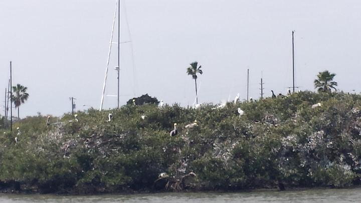 20140311_140243.jpg - METADATA-START   øUUUUUUÞ­¾ï   2     - g   8UUUUUUUUÞ­¾ï       UUUUUUUUÞ­¾ïUUUUUUUUÞ­¾ï  UU   UUUUUUUUÞ­¾ï  UUUUUUUUUUUUUUUUUUUUUUUUUUUUUUUUUUUUUUUUUUUUUUUUUUUUUUUUUUUUUUUUUUUUUUUUUUUUUUUUUUUUUUUUUUUUUUUUUUUUUUUUUUUUUUUUUUUUUUUUUUUUUUUUUUUUUUUUUUUUUUUUUUUUUUUUUUUUUUUUUUUUUUUUUUUUUUUUUUUUUUUUUUUUUUUUUUUUUUÞ­¾ï    UUUUUUUUUUUUUUUUUUUUÞ­¾ï C A LUUUUUUCu rUU0xDCB0UUUUUUUUUUUUUUUUUUUUUUUUUUUUUUUUUUUUUUUUUUUUUUUUUUUUUUUUUUUUUUUUUUUUUUUUÞ­¾ï T U N AUUUUUUUUUUUUUUUUUUUUUUUUUUUUUUUUUUUUUUUUUUUUUUUUUUUUUUUUUUUUUUUUUUUUUUUUUUUUUUUUUUUUUUUUUUUUÞ­¾ï®®®®F Pg  º) ÛU &  %                              6 %         N                                        ò :       2  8      º'UUUUUUUUUUUUUUUUUUUUÞ­¾ïKJKJº& Ë  ÿé    × ÚÜ    "     - "Ã g     K ýc    | úMÿþìw  <ÿÿ²À ¤âÿÿ¨^ÿÿýëÿÿ ë " " " " " " " " " " " " " " " " " " " " " " " " " " " " " " " " " " " " " " " " " " " " " " " " " " " " " " " " " " " " " " " " " " " " " " " " " " " " " " " " " " " " " " " " " " " " " " " " " " " " " " " " " " " " " " "  " " " " " " " " " " " "  " " " " " " "  " " " "         "                 "!                                                                                                  è îñ   ÿ                                                                                                 ûð  ÿð â ù  ÿñ \ ù  ÿñ \ ù  ÿñ \ ù  ÿñ U             iè D         UUUUUUUUUUUUUUUUUUUUUUUUUUUUUUUUÞ­¾ï¯¯ÊÊ S¯V W  ¯¯¯¯                                                                                                                                                                                                                                                      ¯¯¯¯  E1   f þ 3 UUUUUUUUUUUUUUUUÞ­¾ïUUUUUUUUUUUUUUUUUUUUUUUUUUUUUUUUUUUUUUUUUUUUUUUUUUUUUUUUUUUUUUUUUUUUUUUUUUUUUUUUÞ­¾ïUUUUUUUUUUUUUUUUUUUUUUUUUUUUUUUUUUUUUUUUUUUUUUUUUUUUUUUUUUUUUUUUUUUUUUUUUUUUUUUUUUUUUUUUUUUUUUUUUUUUUUUUUUUUUUUUUUUUUUUUUUUUUUUUUUUUUUUUUUUUUUUUUUUUUUUUUUUUUUUUUUUUUUUUUUUUUUUUUUUUUUUUUUUUUUUUUUUUUUUUUUUUUUUUUUUUUUUUUUUUUUUUUUUUUUUUUUUUUUUUUUUUUUUUUUUUUUUUUUUUUUUUUUUUUUUUUUUUUUUUUUUUUUUUUUUUUUUUUUUUUUUUUUUUUUUUUUUUUUUUUUUUUUUUUUUUUUUUUUUUUUUUUUUUUUUUUUUUUUUUUUUUUUUUUUUUUUUUUUUUUUUUUUUUUUUUUUUUUUUUUUUUUUUUUUUUUUUUUUUUUUUUUUUUUUUUUUUUUUUUUUUUUUUUUUUUUUUUUUUUUUUUUUUUUUUUUUUUUUUUUUUUUUUUUUUUUUUUUUUUUUUUUUUUUUUUUUUUUUUUUUUUUUUUUUUUUUUUUUUUUUUUUUUUUUUUUUUUUUUUUUUUUUUUUUUUUUUUUUUUUUUUUUUUUUUUUUUUUUUUUUUUUUUUUUUUUUUUUUUUUUUUUUUUUUUUUUUUUUUUUUUUUUUUUUUUUUUUUUUUUUUUUUUUUUUUUUUUUUUUUUUUUUUUUUUUUUUUUUUUUUUUUUUUUUUUUUUUUUUUUUUUUUUUUUUUUUUUUUUUUUUUUUUUUUUUUUUUUUUUUUUUUUUUUUUUUUUUUUUUUUUUUUUUUUUUUUUUUUUUUUUUUUUUUUUUUUUUUUUUUUUUUUUUUUUUUUUUUUUUUUUUUUUUUUUUUUUUUUUUUUUUUUUUUUUUUUUUUUUUUUUUUUUUUUUUUUUUUUUUUUUUUUUUUUUUUUUUUUUUUUUUUUUUUUUUUUUUUUUUUUUUUUUUUUUUUUUUUUUUUUUUUUUUUUUUUUUUUUUUUUUUUUUUUUUUUUUUUUUUUUUUUUUUUUUUUUUUUUUUUUUUUUUUUUUUUUUUUUUUUUUUUUUUUUUUUUUUUUUUUUUUUUUUUUUUUUUUUUUUUUUUUUUUUUUUUUUUUUUUUUUUUUUUUUUUUUUUUUUUUUUUUUUUUUUUUUUUUUUUUUUUUUUUUUUUUUUUUUUUUUUUUUUUUUUUUUUUUUUUUUUUUUUUUUUUUUUUUUUUUUUUUUUUUUUUUUUUUUUUUUUUUUUUUUUUUUUUUUUUUUUUUUUUUUUUUUUUUUUUUUUUUUUUUUUUUUUUUUUUUUUUUUUUUUUUUUUUUUUUUUUUUUUUUUUUUUUUUUUUUUUUUUUUUUUUUUUUUUUUUUUUUUUUUUUUUUUUUUUUUUUUUUUUUUUUUUUUUUUUUUUUUUUUUUUUUUUUUUUUUUUUUUUUUUUUUUUUUUUUUUUUUUUUUUUUUUUUUUUUUUUUUUUUUUUUUUUUUUUUUUUUUUUUUUUUUUUUUUUUUUUUUUUUUUUUUUUUUUUUUUUUUUUUUUUUUUUUUUUUUUUUUUUUUUUUUUÞ­¾ï      #?UUUUUUUUUUUUUUUUUUUUUUUUUUUUUUUUÞ­¾ïUUUUMETADATA-END