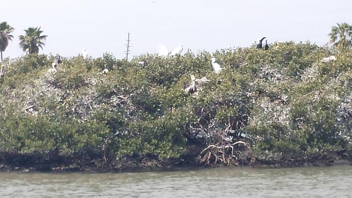 20140311_140254.jpg - METADATA-START  <UUUUUUÞ­¾ï   2     ù5 )   ÄUUUUUUUUÞ­¾ï       UUUUUUUUÞ­¾ïUUUUUUUUÞ­¾ï  UU   UUUUUUUUÞ­¾ï  UUUUUUUUUUUUUUUUUUUUUUUUUUUUUUUUUUUUUUUUUUUUUUUUUUUUUUUUUUUUUUUUUUUUUUUUUUUUUUUUUUUUUUUUUUUUUUUUUUUUUUUUUUUUUUUUUUUUUUUUUUUUUUUUUUUUUUUUUUUUUUUUUUUUUUUUUUUUUUUUUUUUUUUUUUUUUUUUUUUUUUUUUUUUUUUUUUUUUUÞ­¾ï    UUUUUUUUUUUUUUUUUUUUÞ­¾ï C A LUUUUUUCu rUU0xDCB0UUUUUUUUUUUUUUUUUUUUUUUUUUUUUUUUUUUUUUUUUUUUUUUUUUUUUUUUUUUUUUUUUUUUUUUUÞ­¾ï T U N AUUUUUUUUUUUUUUUUUUUUUUUUUUUUUUUUUUUUUUUUUUUUUUUUUUUUUUUUUUUUUUUUUUUUUUUUUUUUUUUUUUUUUUUUUUUUÞ­¾ï®®®®Fê 0) º) MT                                    V W®         87                                         *  ¤ ì 1       2  Ä      º'UUUUUUUUUUUUUUUUUUUUÞ­¾ïKJKJº& Ë  ÿé    × ÚÜ    "     ù5 · )      £    $ ÿSÿþç}  0ÿÿ³v ¤ÿÿ§øÿÿþ<ÿÿç ìÝ " " " " " " " " " " " " " " " " " " " " " " " " " " " " " " " "  " " " " " " " " " " " " "   "  " " " " "   "    "1 "1 "1 "1  "1 0 "1 "1   "1 "1 "1 "! "1 "1 "! "1 "1 "1 "1 "1 "1 "1 "1 "1 "1  "! "1 "1 "1 0   "1 "!   0 0   0   "1 "1 "1 "1   0 "1 "1 "1  0 0 0     "!      0 "1 "1  "1 "! "! "!   "! "1    0 0    "!  "! "!             "!     "! "!     "!                                                                                                                }  D  ÷  ÿð u                                                                                                 w  ÿµ ­ ¿  ÿ¸ < ¿  ÿ¸ < ¿  ÿ¸ < ¿  ÿ¸ G             º¶  g   L       UUUUUUUUUUUUUUUUUUUUUUUUUUUUUUUUÞ­¾ï¯¯ÊÊ S¯V W  ¯¯¯¯                                                                                                                                                                                                                                                      ¯¯¯¯  Aâ   f 3 UUUUUUUUUUUUUUUUÞ­¾ïUUUUUUUUUUUUUUUUUUUUUUUUUUUUUUUUUUUUUUUUUUUUUUUUUUUUUUUUUUUUUUUUUUUUUUUUUUUUUUUUÞ­¾ïUUUUUUUUUUUUUUUUUUUUUUUUUUUUUUUUUUUUUUUUUUUUUUUUUUUUUUUUUUUUUUUUUUUUUUUUUUUUUUUUUUUUUUUUUUUUUUUUUUUUUUUUUUUUUUUUUUUUUUUUUUUUUUUUUUUUUUUUUUUUUUUUUUUUUUUUUUUUUUUUUUUUUUUUUUUUUUUUUUUUUUUUUUUUUUUUUUUUUUUUUUUUUUUUUUUUUUUUUUUUUUUUUUUUUUUUUUUUUUUUUUUUUUUUUUUUUUUUUUUUUUUUUUUUUUUUUUUUUUUUUUUUUUUUUUUUUUUUUUUUUUUUUUUUUUUUUUUUUUUUUUUUUUUUUUUUUUUUUUUUUUUUUUUUUUUUUUUUUUUUUUUUUUUUUUUUUUUUUUUUUUUUUUUUUUUUUUUUUUUUUUUUUUUUUUUUUUUUUUUUUUUUUUUUUUUUUUUUUUUUUUUUUUUUUUUUUUUUUUUUUUUUUUUUUUUUUUUUUUUUUUUUUUUUUUUUUUUUUUUUUUUUUUUUUUUUUUUUUUUUUUUUUUUUUUUUUUUUUUUUUUUUUUUUUUUUUUUUUUUUUUUUUUUUUUUUUUUUUUUUUUUUUUUUUUUUUUUUUUUUUUUUUUUUUUUUUUUUUUUUUUUUUUUUUUUUUUUUUUUUUUUUUUUUUUUUUUUUUUUUUUUUUUUUUUUUUUUUUUUUUUUUUUUUUUUUUUUUUUUUUUUUUUUUUUUUUUUUUUUUUUUUUUUUUUUUUUUUUUUUUUUUUUUUUUUUUUUUUUUUUUUUUUUUUUUUUUUUUUUUUUUUUUUUUUUUUUUUUUUUUUUUUUUUUUUUUUUUUUUUUUUUUUUUUUUUUUUUUUUUUUUUUUUUUUUUUUUUUUUUUUUUUUUUUUUUUUUUUUUUUUUUUUUUUUUUUUUUUUUUUUUUUUUUUUUUUUUUUUUUUUUUUUUUUUUUUUUUUUUUUUUUUUUUUUUUUUUUUUUUUUUUUUUUUUUUUUUUUUUUUUUUUUUUUUUUUUUUUUUUUUUUUUUUUUUUUUUUUUUUUUUUUUUUUUUUUUUUUUUUUUUUUUUUUUUUUUUUUUUUUUUUUUUUUUUUUUUUUUUUUUUUUUUUUUUUUUUUUUUUUUUUUUUUUUUUUUUUUUUUUUUUUUUUUUUUUUUUUUUUUUUUUUUUUUUUUUUUUUUUUUUUUUUUUUUUUUUUUUUUUUUUUUUUUUUUUUUUUUUUUUUUUUUUUUUUUUUUUUUUUUUUUUUUUUUUUUUUUUUUUUUUUUUUUUUUUUUUUUUUUUUUUUUUUUUUUUUUUUUUUUUUUUUUUUUUUUUUUUUUUUUUUUUUUUUUUUUUUUUUUUUUUUUUUUUUUUUUUUUUUUUUUUUUUUUUUUUUUUUUUUUUUUUUUUUUUUUUUUUUUUUUUUUUUUUUUUUUUUUUUUUUUUUUUUUUUUUUUUUUUUUUUUUUUUUUUUUUUUUUUUUUUUUUUUUUUUUUUUUUUUUUUUUUUUUUUUUUUUUUUUUUUUUUUUUUUUUUUUUUUUUUUUUUUUUUUUUUUUUUUUUUUUUUUUUUUUÞ­¾ï      O~UUUUUUUUUUUUUUUUUUUUUUUUUUUUUUUUÞ­¾ïUUUUMETADATA-END