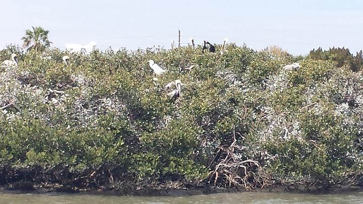 20140311_140302.jpg - METADATA-START  UUUUUUÞ­¾ï   2     è/ !   ²UUUUUUUUÞ­¾ï       UUUUUUUUÞ­¾ïUUUUUUUUÞ­¾ï  UU   UUUUUUUUÞ­¾ï  UUUUUUUUUUUUUUUUUUUUUUUUUUUUUUUUUUUUUUUUUUUUUUUUUUUUUUUUUUUUUUUUUUUUUUUUUUUUUUUUUUUUUUUUUUUUUUUUUUUUUUUUUUUUUUUUUUUUUUUUUUUUUUUUUUUUUUUUUUUUUUUUUUUUUUUUUUUUUUUUUUUUUUUUUUUUUUUUUUUUUUUUUUUUUUUUUUUUUUÞ­¾ï    UUUUUUUUUUUUUUUUUUUUÞ­¾ï C A LUUUUUUCu rUU0xDCB0UUUUUUUUUUUUUUUUUUUUUUUUUUUUUUUUUUUUUUUUUUUUUUUUUUUUUUUUUUUUUUUUUUUUUUUUÞ­¾ï T U N AUUUUUUUUUUUUUUUUUUUUUUUUUUUUUUUUUUUUUUUUUUUUUUUUUUUUUUUUUUUUUUUUUUUUUUUUUUUUUUUUUUUUUUUUUUUUÞ­¾ï®®®®Fã )! º) NT                                   K L,         0"                                            è ö       2  ²      º'UUUUUUUUUUUUUUUUUUUUÞ­¾ïKJKJº& Ë  ÿé    × ÚÜ    "     è/ Ð !   -  ð 9    ½  õÿþåÞ  -ÿÿ³­ ¤{ÿÿ§ØÿÿþYÿÿ[ íL " " " " " " " " " " " " " " " " " " " " " " " " " " " " " " " " "   " " " " " " " " " " " " " "   "1        "1 "1 "1   "  " "1 "1 "1 "1 "1 "1 "1 "1 "1 "1 "1 "1 "1 "1 w2 "1 0  "1 "1 "1 w2 "1 "1 "1 "1 0 "1 0 "1 "1 "1 "1 0  "1 "1  "1 "1 "1 "1 "1 "1 "1 "1 "1  0 "1 "1     "1 "1 "1  0 "1 "1 "1  "1 "1 "1   "1 "!    "1  "1 "1 0 "1 "1 "1 "1 "1 "1 "1 "1 "!  "1 "1   0 0 "1 "! "1 "1 "! "!  "1 "!       "1 "!    "!  "!   "! "! "!     "! "!                                  "1 "1 "1 "1 "1 "!                                                  ûû   ä j   uØ                                                              ó    q                         4  B ò k  @  k  @  k  @  k  @              nö È          UUUUUUUUUUUUUUUUUUUUUUUUUUUUUUUUÞ­¾ï¯¯ÊÊ S¯V 0g  ¯¯¯¯ 9âw JàY 6Ìf Xf ªm Wt A³| íg tg %                                                                                                                                                                                    ª   ð¯¯¯¯  6(  Y W7 % UUUUUUUUUUUUUUUUÞ­¾ïUUUUUUUUUUUUUUUUUUUUUUUUUUUUUUUUUUUUUUUUUUUUUUUUUUUUUUUUUUUUUUUUUUUUUUUUUUUUUUUUÞ­¾ïUUUUUUUUUUUUUUUUUUUUUUUUUUUUUUUUUUUUUUUUUUUUUUUUUUUUUUUUUUUUUUUUUUUUUUUUUUUUUUUUUUUUUUUUUUUUUUUUUUUUUUUUUUUUUUUUUUUUUUUUUUUUUUUUUUUUUUUUUUUUUUUUUUUUUUUUUUUUUUUUUUUUUUUUUUUUUUUUUUUUUUUUUUUUUUUUUUUUUUUUUUUUUUUUUUUUUUUUUUUUUUUUUUUUUUUUUUUUUUUUUUUUUUUUUUUUUUUUUUUUUUUUUUUUUUUUUUUUUUUUUUUUUUUUUUUUUUUUUUUUUUUUUUUUUUUUUUUUUUUUUUUUUUUUUUUUUUUUUUUUUUUUUUUUUUUUUUUUUUUUUUUUUUUUUUUUUUUUUUUUUUUUUUUUUUUUUUUUUUUUUUUUUUUUUUUUUUUUUUUUUUUUUUUUUUUUUUUUUUUUUUUUUUUUUUUUUUUUUUUUUUUUUUUUUUUUUUUUUUUUUUUUUUUUUUUUUUUUUUUUUUUUUUUUUUUUUUUUUUUUUUUUUUUUUUUUUUUUUUUUUUUUUUUUUUUUUUUUUUUUUUUUUUUUUUUUUUUUUUUUUUUUUUUUUUUUUUUUUUUUUUUUUUUUUUUUUUUUUUUUUUUUUUUUUUUUUUUUUUUUUUUUUUUUUUUUUUUUUUUUUUUUUUUUUUUUUUUUUUUUUUUUUUUUUUUUUUUUUUUUUUUUUUUUUUUUUUUUUUUUUUUUUUUUUUUUUUUUUUUUUUUUUUUUUUUUUUUUUUUUUUUUUUUUUUUUUUUUUUUUUUUUUUUUUUUUUUUUUUUUUUUUUUUUUUUUUUUUUUUUUUUUUUUUUUUUUUUUUUUUUUUUUUUUUUUUUUUUUUUUUUUUUUUUUUUUUUUUUUUUUUUUUUUUUUUUUUUUUUUUUUUUUUUUUUUUUUUUUUUUUUUUUUUUUUUUUUUUUUUUUUUUUUUUUUUUUUUUUUUUUUUUUUUUUUUUUUUUUUUUUUUUUUUUUUUUUUUUUUUUUUUUUUUUUUUUUUUUUUUUUUUUUUUUUUUUUUUUUUUUUUUUUUUUUUUUUUUUUUUUUUUUUUUUUUUUUUUUUUUUUUUUUUUUUUUUUUUUUUUUUUUUUUUUUUUUUUUUUUUUUUUUUUUUUUUUUUUUUUUUUUUUUUUUUUUUUUUUUUUUUUUUUUUUUUUUUUUUUUUUUUUUUUUUUUUUUUUUUUUUUUUUUUUUUUUUUUUUUUUUUUUUUUUUUUUUUUUUUUUUUUUUUUUUUUUUUUUUUUUUUUUUUUUUUUUUUUUUUUUUUUUUUUUUUUUUUUUUUUUUUUUUUUUUUUUUUUUUUUUUUUUUUUUUUUUUUUUUUUUUUUUUUUUUUUUUUUUUUUUUUUUUUUUUUUUUUUUUUUUUUUUUUUUUUUUUUUUUUUUUUUUUUUUUUUUUUUUUUUUUUUUUUUUUUUUUUUUUUUUUUUUUUUUUUUUUUUUUUUUUUUUUUUUUUUUUUUUUUUUUUUUUUUUUUUUUUUUUUUUUUUUUUUUUUUUUUUUUUUUUUUUUUUUUUUUUUUÞ­¾ï      mUUUUUUUUUUUUUUUUUUUUUUUUUUUUUUUUÞ­¾ïUUUUMETADATA-END