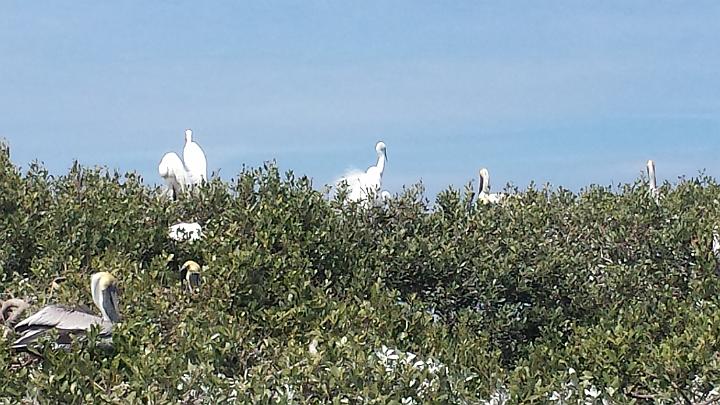 20140311_140416.jpg - METADATA-START��UUUUUUÞ­¾ï���2�����ÅP�ê���xUUUUUUUUÞ­¾ï�������UUUUUUUUÞ­¾ïUUUUUUUUÞ­¾ï��UU���UUUUUUUUÞ­¾ï��UUUUUUUUUUUUUUUUUUUUUUUUUUUUUUUUUUUUUUUUUUUUUUUUUUUUUUUUUUUUUUUUUUUUUUUUUUUUUUUUUUUUUUUUUUUUUUUUUUUUUUUUUUUUUUUUUUUUUUUUUUUUUUUUUUUUUUUUUUUUUUUUUUUUUUUUUUUUUUUUUUUUUUUUUUUUUUUUUUUUUUUUUUUUUUUUUUUUUUÞ­¾ï����UUUUUUUUUUUUUUUUUUUUÞ­¾ï�C�A�LUUUUUUCu�rUU0xDCB0UUUUUUUUUUUUUUUUUUUUUUUUUUUUUUUUUUUUUUUUUUUUUUUUUUUUUUUUUUUUUUUUUUUUUUUUÞ­¾ï�T�U�N�AUUUUUUUUUUUUUUUUUUUUUUUUUUUUUUUUUUUUUUUUUUUUUUUUUUUUUUUUUUUUUUUUUUUUUUUUUUUUUUUUUUUUUUUUUUUUÞ­¾ï®®®®F²�øê�º)�mU�&����������������������������������(�%¨���������ë�����������������������������������������D��L�ï�«�������2��x������º'UUUUUUUUUUUUUUUUUUUUÞ­¾ïKJKJº&�Ë��ÿé����×�ÚÜ����"�����ÅP�>�ê������åÚ�����ìÿþú��`ÿÿ°È�¥´ÿÿ©ÿÿýÿÿ�çr�������������������������������������������������"�"�"�"�"�"�"�"�"�"�"�"�����"�"�"�"�"�"�"�"�"�"�"������"�"�"�"�"�"��"���������"�"�"�0�"�"�"�"�"�"�"�"�"�"�"�"�"1�w2�"1�"1�"1�w2� �0� �0�"1�"1�"1�"1�w2�w2�w2�w2�"1�"A�w2�w2�w2�"1�"1�w2�"1�"1�"A�"1�w2�"1�w2�w2�w2�wB�w2�w2��"1�w2�"1�w2�w2�"1�"1�"1�"1�wB�"A�w2�wB�w2�w2�"1�w2�����"1�"1�"1�"1�3P�"1�w2�wB�w2�w2�w2�w2�"1����"1�w2�w2�w2�"1�w2�w2�w2�w2�w2�w2�"1�w2�w2��w2�w2�w2�w2�w2�w2�w2�w2�"1�"1�wB�w2�w2�"1�"1�w2�"1�w2�w2�w2�"A�w2�w2�w2�"1�"1�"1�"A�w2�"1�"1�"1�"1�"1�"1�"1�"1�"A�"A�w2�"A�"1�"1�"1�"1�w2�"1�"1�"1�"1�"1��"A�ò��ÿÿ�¥q�÷����������������������������������������������������������������¡É���yÞ�¶Z���½p�������������å��ÿý��åm��ÿý��åm��ÿý��åm��ÿý��åm��ÿý�ï�����������������+ðL�������Z����UUUUUUUUUUUUUUUUUUUUUUUUUUUUUUUUÞ­¾ï¯¯ÊÊ�S¯V�o��¯¯¯¯������������������������������������������������������������������������������������������������������������������������������������������������������������������������������������������������������������������������������������������������������¯¯¯¯��Aä�<¡[�f�3�UUUUUUUUUUUUUUUUÞ­¾ïUUUUUUUUUUUUUUUUUUUUUUUUUUUUUUUUUUUUUUUUUUUUUUUUUUUUUUUUUUUUUUUUUUUUUUUUUUUUUUUUÞ­¾ïUUUUUUUUUUUUUUUUUUUUUUUUUUUUUUUUUUUUUUUUUUUUUUUUUUUUUUUUUUUUUUUUUUUUUUUUUUUUUUUUUUUUUUUUUUUUUUUUUUUUUUUUUUUUUUUUUUUUUUUUUUUUUUUUUUUUUUUUUUUUUUUUUUUUUUUUUUUUUUUUUUUUUUUUUUUUUUUUUUUUUUUUUUUUUUUUUUUUUUUUUUUUUUUUUUUUUUUUUUUUUUUUUUUUUUUUUUUUUUUUUUUUUUUUUUUUUUUUUUUUUUUUUUUUUUUUUUUUUUUUUUUUUUUUUUUUUUUUUUUUUUUUUUUUUUUUUUUUUUUUUUUUUUUUUUUUUUUUUUUUUUUUUUUUUUUUUUUUUUUUUUUUUUUUUUUUUUUUUUUUUUUUUUUUUUUUUUUUUUUUUUUUUUUUUUUUUUUUUUUUUUUUUUUUUUUUUUUUUUUUUUUUUUUUUUUUUUUUUUUUUUUUUUUUUUUUUUUUUUUUUUUUUUUUUUUUUUUUUUUUUUUUUUUUUUUUUUUUUUUUUUUUUUUUUUUUUUUUUUUUUUUUUUUUUUUUUUUUUUUUUUUUUUUUUUUUUUUUUUUUUUUUUUUUUUUUUUUUUUUUUUUUUUUUUUUUUUUUUUUUUUUUUUUUUUUUUUUUUUUUUUUUUUUUUUUUUUUUUUUUUUUUUUUUUUUUUUUUUUUUUUUUUUUUUUUUUUUUUUUUUUUUUUUUUUUUUUUUUUUUUUUUUUUUUUUUUUUUUUUUUUUUUUUUUUUUUUUUUUUUUUUUUUUUUUUUUUUUUUUUUUUUUUUUUUUUUUUUUUUUUUUUUUUUUUUUUUUUUUUUUUUUUUUUUUUUUUUUUUUUUUUUUUUUUUUUUUUUUUUUUUUUUUUUUUUUUUUUUUUUUUUUUUUUUUUUUUUUUUUUUUUUUUUUUUUUUUUUUUUUUUUUUUUUUUUUUUUUUUUUUUUUUUUUUUUUUUUUUUUUUUUUUUUUUUUUUUUUUUUUUUUUUUUUUUUUUUUUUUUUUUUUUUUUUUUUUUUUUUUUUUUUUUUUUUUUUUUUUUUUUUUUUUUUUUUUUUUUUUUUUUUUUUUUUUUUUUUUUUUUUUUUUUUUUUUUUUUUUUUUUUUUUUUUUUUUUUUUUUUUUUUUUUUUUUUUUUUUUUUUUUUUUUUUUUUUUUUUUUUUUUUUUUUUUUUUUUUUUUUUUUUUUUUUUUUUUUUUUUUUUUUUUUUUUUUUUUUUUUUUUUUUUUUUUUUUUUUUUUUUUUUUUUUUUUUUUUUUUUUUUUUUUUUUUUUUUUUUUUUUUUUUUUUUUUUUUUUUUUUUUUUUUUUUUUUUUUUUUUUUUUUUUUUUUUUUUUUUUUUUUUUUUUUUUUUUUUUUUUUUUUUUUUUUUUUUUUUUUUUUUUUUUUUUUUUUUUUUUUUUUUUUUUUUUUUUUUUUUUUUUUUUUUUUUUUUUUUUUUUUUUUUUUUUUUUUUUUUUUUUUUUUUUUUUUUUUUUUUUUUUUUUUUUUUUUUUUUUUUUUUUUUUUUUUUUUUUUUUUUUUUUUUUUUUUUUUUÞ­¾ï������5®UUUUUUUUUUUUUUUUUUUUUUUUUUUUUUUUÞ­¾ïUUUUMETADATA-END