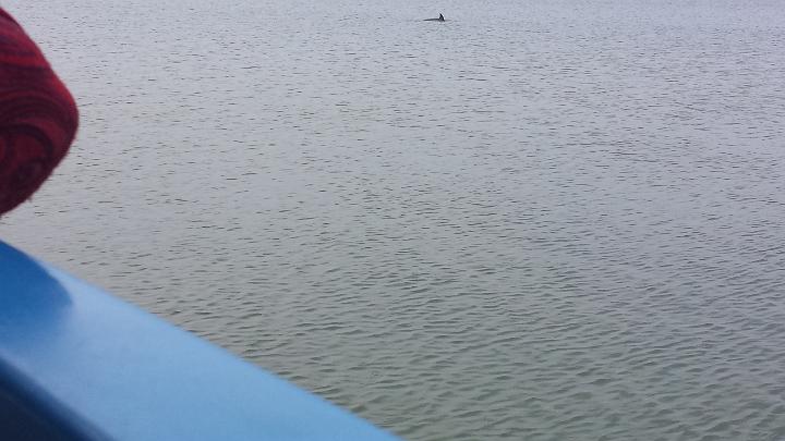 20140311_144439.jpg - METADATA-START   ÕUUUUUUÞ­¾ï   2     Ê¦    ¸UUUUUUUUÞ­¾ï       UUUUUUUUÞ­¾ïUUUUUUUUÞ­¾ï  UU   UUUUUUUUÞ­¾ï  UUUUUUUUUUUUUUUUUUUUUUUUUUUUUUUUUUUUUUUUUUUUUUUUUUUUUUUUUUUUUUUUUUUUUUUUUUUUUUUUUUUUUUUUUUUUUUUUUUUUUUUUUUUUUUUUUUUUUUUUUUUUUUUUUUUUUUUUUUUUUUUUUUUUUUUUUUUUUUUUUUUUUUUUUUUUUUUUUUUUUUUUUUUUUUUUUUUUUUÞ­¾ï    UUUUUUUUUUUUUUUUUUUUÞ­¾ï C A LUUUUUUCu rUU0xDCB0UUUUUUUUUUUUUUUUUUUUUUUUUUUUUUUUUUUUUUUUUUUUUUUUUUUUUUUUUUUUUUUUUUUUUUUUÞ­¾ï T U N AUUUUUUUUUUUUUUUUUUUUUUUUUUUUUUUUUUUUUUUUUUUUUUUUUUUUUUUUUUUUUUUUUUUUUUUUUUUUUUUUUUUUUUUUUUUUÞ­¾ï®®®®FÀ  º) U &                                 " |                                                  z $ B þ  ²       2  ¸      º'UUUUUUUUUUUUUUUUUUUUÞ­¾ïKJKJº& Ë  ÿé    × ÚÜ    "     Ê¦ =    c  8 ü    & øàÿþíä    \ þ  = q þ  = q þ  = q þ  = g             "ãx )Ñ&   ê   Ê    UUUUUUUUUUUUUUUUUUUUUUUUUUUUUUUUÞ­¾ï¯¯ÊÊ S¯V o  ¯¯¯¯                                                                                                                                                                                                                                                      ¯¯¯¯  J{  <« f  3 UUUUUUUUUUUUUUUUÞ­¾ïUUUUUUUUUUUUUUUUUUUUUUUUUUUUUUUUUUUUUUUUUUUUUUUUUUUUUUUUUUUUUUUUUUUUUUUUUUUUUUUUÞ­¾ïUUUUUUUUUUUUUUUUUUUUUUUUUUUUUUUUUUUUUUUUUUUUUUUUUUUUUUUUUUUUUUUUUUUUUUUUUUUUUUUUUUUUUUUUUUUUUUUUUUUUUUUUUUUUUUUUUUUUUUUUUUUUUUUUUUUUUUUUUUUUUUUUUUUUUUUUUUUUUUUUUUUUUUUUUUUUUUUUUUUUUUUUUUUUUUUUUUUUUUUUUUUUUUUUUUUUUUUUUUUUUUUUUUUUUUUUUUUUUUUUUUUUUUUUUUUUUUUUUUUUUUUUUUUUUUUUUUUUUUUUUUUUUUUUUUUUUUUUUUUUUUUUUUUUUUUUUUUUUUUUUUUUUUUUUUUUUUUUUUUUUUUUUUUUUUUUUUUUUUUUUUUUUUUUUUUUUUUUUUUUUUUUUUUUUUUUUUUUUUUUUUUUUUUUUUUUUUUUUUUUUUUUUUUUUUUUUUUUUUUUUUUUUUUUUUUUUUUUUUUUUUUUUUUUUUUUUUUUUUUUUUUUUUUUUUUUUUUUUUUUUUUUUUUUUUUUUUUUUUUUUUUUUUUUUUUUUUUUUUUUUUUUUUUUUUUUUUUUUUUUUUUUUUUUUUUUUUUUUUUUUUUUUUUUUUUUUUUUUUUUUUUUUUUUUUUUUUUUUUUUUUUUUUUUUUUUUUUUUUUUUUUUUUUUUUUUUUUUUUUUUUUUUUUUUUUUUUUUUUUUUUUUUUUUUUUUUUUUUUUUUUUUUUUUUUUUUUUUUUUUUUUUUUUUUUUUUUUUUUUUUUUUUUUUUUUUUUUUUUUUUUUUUUUUUUUUUUUUUUUUUUUUUUUUUUUUUUUUUUUUUUUUUUUUUUUUUUUUUUUUUUUUUUUUUUUUUUUUUUUUUUUUUUUUUUUUUUUUUUUUUUUUUUUUUUUUUUUUUUUUUUUUUUUUUUUUUUUUUUUUUUUUUUUUUUUUUUUUUUUUUUUUUUUUUUUUUUUUUUUUUUUUUUUUUUUUUUUUUUUUUUUUUUUUUUUUUUUUUUUUUUUUUUUUUUUUUUUUUUUUUUUUUUUUUUUUUUUUUUUUUUUUUUUUUUUUUUUUUUUUUUUUUUUUUUUUUUUUUUUUUUUUUUUUUUUUUUUUUUUUUUUUUUUUUUUUUUUUUUUUUUUUUUUUUUUUUUUUUUUUUUUUUUUUUUUUUUUUUUUUUUUUUUUUUUUUUUUUUUUUUUUUUUUUUUUUUUUUUUUUUUUUUUUUUUUUUUUUUUUUUUUUUUUUUUUUUUUUUUUUUUUUUUUUUUUUUUUUUUUUUUUUUUUUUUUUUUUUUUUUUUUUUUUUUUUUUUUUUUUUUUUUUUUUUUUUUUUUUUUUUUUUUUUUUUUUUUUUUUUUUUUUUUUUUUUUUUUUUUUUUUUUUUUUUUUUUUUUUUUUUUUUUUUUUUUUUUUUUUUUUUUUUUUUUUUUUUUUUUUUUUUUUUUUUUUUUUUUUUUUUUUUUUUUUUUUUUUUUUUUUUUUUUUUUUUUUUUUUUUUUUUUUUUUUUUUUUUUUUUUUUUUUUUUUUUUUUUUUUUUUUUUUUUUUUUUUUUUUUUUUUUUUUUUUUUUUUÞ­¾ï      õUUUUUUUUUUUUUUUUUUUUUUUUUUUUUUUUÞ­¾ïUUUUMETADATA-END