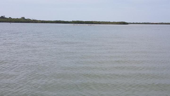 20140311_144506.jpg - METADATA-START��ÓUUUUUUÞ­¾ï���2�����ýË�?���UUUUUUUUÞ­¾ï�������UUUUUUUUÞ­¾ïUUUUUUUUÞ­¾ï��UU���UUUUUUUUÞ­¾ï��UUUUUUUUUUUUUUUUUUUUUUUUUUUUUUUUUUUUUUUUUUUUUUUUUUUUUUUUUUUUUUUUUUUUUUUUUUUUUUUUUUUUUUUUUUUUUUUUUUUUUUUUUUUUUUUUUUUUUUUUUUUUUUUUUUUUUUUUUUUUUUUUUUUUUUUUUUUUUUUUUUUUUUUUUUUUUUUUUUUUUUUUUUUUUUUUUUUUUUÞ­¾ï����UUUUUUUUUUUUUUUUUUUUÞ­¾ï�C�A�LUUUUUUCu�rUU0xDCB0UUUUUUUUUUUUUUUUUUUUUUUUUUUUUUUUUUUUUUUUUUUUUUUUUUUUUUUUUUUUUUUUUUUUUUUUÞ­¾ï�T�U�N�AUUUUUUUUUUUUUUUUUUUUUUUUUUUUUUUUUUUUUUUUUUUUUUUUUUUUUUUUUUUUUUUUUUUUUUUUUUUUUUUUUUUUUUUUUUUUÞ­¾ï®®®®Fð�6D��º)� U�&���������������������������������,�#ì���������:�����������������������������������������Z�&�R�þ���#������2��¨������º'UUUUUUUUUUUUUUUUUUUUÞ­¾ïKJKJº&�Ë��ÿé����×�ÚÜ����"�����ýË�5�D�����`�ü0����D�ùðÿþìÏ��Aÿÿ²¶�¤æÿÿ¨dÿÿýìÿÿ´�ë`�"�"�"�"�"�"�"�"�"�"�"�"�"�"�"�"�"�"�"�"�"�"�"�"�"�"�"�"�"�"�"�"�"�"�"�"�"�"�"�"�"�"�"�"�"�"�"�"�"�"�"�"�"�"�"�"�"�"�"�"�"�"�"�"�"�"�"�"�"�"�"�"�"�"�"�"�"�"�"�"�"�"�"����"�"�"�"�"�"�"�"�"�"�"�"�"�"�"�"�"�"�"�"�"�"�"�"�"�"�"�"�"�"�"�"�"�"�"�"�"�"�"�"�"�"�"�"�"�"�"�"�"�"�"�"�"�"�"�"�"�"�"�"�"�"�"�"�"�"�"�"�"�"�"�"�"�"�"�"�"�"�"�"����"�"�"�"�"�"�"�"�"�"�"������"��"�"�"�"�"�"�"�"�"�������"�"�"�"�"�"��"�"��������"�"�"�"�"�"�����������"�"�"��������� � � � � �"�"���"�"�ê��ÿê�*�ô��ÿÚ�Ç�������������������������������������������������������������������������������������������������û'����úº���¤�úº���¤�úº���¤�úº���¡�������������¦�z¤â���F������UUUUUUUUUUUUUUUUUUUUUUUUUUUUUUUUÞ­¾ï¯¯ÊÊ�S¯V�g��¯¯¯¯������������������������������������������������������������������������������������������������������������������������������������������������������������������������������������������������������������������������������������������������������¯¯¯¯��J|��h�f��3�UUUUUUUUUUUUUUUUÞ­¾ïUUUUUUUUUUUUUUUUUUUUUUUUUUUUUUUUUUUUUUUUUUUUUUUUUUUUUUUUUUUUUUUUUUUUUUUUUUUUUUUUÞ­¾ïUUUUUUUUUUUUUUUUUUUUUUUUUUUUUUUUUUUUUUUUUUUUUUUUUUUUUUUUUUUUUUUUUUUUUUUUUUUUUUUUUUUUUUUUUUUUUUUUUUUUUUUUUUUUUUUUUUUUUUUUUUUUUUUUUUUUUUUUUUUUUUUUUUUUUUUUUUUUUUUUUUUUUUUUUUUUUUUUUUUUUUUUUUUUUUUUUUUUUUUUUUUUUUUUUUUUUUUUUUUUUUUUUUUUUUUUUUUUUUUUUUUUUUUUUUUUUUUUUUUUUUUUUUUUUUUUUUUUUUUUUUUUUUUUUUUUUUUUUUUUUUUUUUUUUUUUUUUUUUUUUUUUUUUUUUUUUUUUUUUUUUUUUUUUUUUUUUUUUUUUUUUUUUUUUUUUUUUUUUUUUUUUUUUUUUUUUUUUUUUUUUUUUUUUUUUUUUUUUUUUUUUUUUUUUUUUUUUUUUUUUUUUUUUUUUUUUUUUUUUUUUUUUUUUUUUUUUUUUUUUUUUUUUUUUUUUUUUUUUUUUUUUUUUUUUUUUUUUUUUUUUUUUUUUUUUUUUUUUUUUUUUUUUUUUUUUUUUUUUUUUUUUUUUUUUUUUUUUUUUUUUUUUUUUUUUUUUUUUUUUUUUUUUUUUUUUUUUUUUUUUUUUUUUUUUUUUUUUUUUUUUUUUUUUUUUUUUUUUUUUUUUUUUUUUUUUUUUUUUUUUUUUUUUUUUUUUUUUUUUUUUUUUUUUUUUUUUUUUUUUUUUUUUUUUUUUUUUUUUUUUUUUUUUUUUUUUUUUUUUUUUUUUUUUUUUUUUUUUUUUUUUUUUUUUUUUUUUUUUUUUUUUUUUUUUUUUUUUUUUUUUUUUUUUUUUUUUUUUUUUUUUUUUUUUUUUUUUUUUUUUUUUUUUUUUUUUUUUUUUUUUUUUUUUUUUUUUUUUUUUUUUUUUUUUUUUUUUUUUUUUUUUUUUUUUUUUUUUUUUUUUUUUUUUUUUUUUUUUUUUUUUUUUUUUUUUUUUUUUUUUUUUUUUUUUUUUUUUUUUUUUUUUUUUUUUUUUUUUUUUUUUUUUUUUUUUUUUUUUUUUUUUUUUUUUUUUUUUUUUUUUUUUUUUUUUUUUUUUUUUUUUUUUUUUUUUUUUUUUUUUUUUUUUUUUUUUUUUUUUUUUUUUUUUUUUUUUUUUUUUUUUUUUUUUUUUUUUUUUUUUUUUUUUUUUUUUUUUUUUUUUUUUUUUUUUUUUUUUUUUUUUUUUUUUUUUUUUUUUUUUUUUUUUUUUUUUUUUUUUUUUUUUUUUUUUUUUUUUUUUUUUUUUUUUUUUUUUUUUUUUUUUUUUUUUUUUUUUUUUUUUUUUUUUUUUUUUUUUUUUUUUUUUUUUUUUUUUUUUUUUUUUUUUUUUUUUUUUUUUUUUUUUUUUUUUUUUUUUUUUUUUUUUUUUUUUUUUUUUUUUUUUUUUUUUUUUUUUUUUUUUUUUUUUUUUUUUUUUUUUUUUUUUUUUUUUUUUUUUUUUUUUUUUUUUUUUUUUUUUUUUUUUUUUUUUUUUUUUUUUUUUUUUUUUUUUUUUUUUUUUUUUUUUUUUUUUUÞ­¾ï������ÑUUUUUUUUUUUUUUUUUUUUUUUUUUUUUUUUÞ­¾ïUUUUMETADATA-END