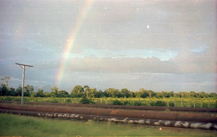 scan0040.jpg