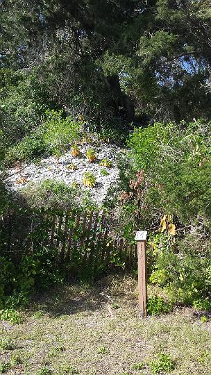 20140312_161029.jpg - METADATA-START��qUUUUUUÞ­¾ï���2�����O����rUUUUUUUUÞ­¾ï�������UUUUUUUUÞ­¾ïUUUUUUUUÞ­¾ï��UU���UUUUUUUUÞ­¾ï��UUUUUUUUUUUUUUUUUUUUUUUUUUUUUUUUUUUUUUUUUUUUUUUUUUUUUUUUUUUUUUUUUUUUUUUUUUUUUUUUUUUUUUUUUUUUUUUUUUUUUUUUUUUUUUUUUUUUUUUUUUUUUUUUUUUUUUUUUUUUUUUUUUUUUUUUUUUUUUUUUUUUUUUUUUUUUUUUUUUUUUUUUUUUUUUUUUUUUUÞ­¾ï����UUUUUUUUUUUUUUUUUUUUÞ­¾ï�C�A�LUUUUUUCu�rUU0xDCB0UUUUUUUUUUUUUUUUUUUUUUUUUUUUUUUUUUUUUUUUUUUUUUUUUUUUUUUUUUUUUUUUUUUUUUUUÞ­¾ï�T�U�N�AUUUUUUUUUUUUUUUUUUUUUUUUUUUUUUUUUUUUUUUUUUUUUUUUUUUUUUUUUUUUUUUUUUUUUUUUUUUUUUUUUUUUUUUUUUUUÞ­¾ï®®®®FK��º)�S�&���������������������������������1�+B���������������������������������������������������B��L�ø�[ÿî������2��r������º'UUUUUUUUUUUUUUUUUUUUÞ­¾ïKJKJº&�Ë��ÿé����×�ÚÜ����"�����O�������Ø��Ø�ÍÛ����¤�ãAÿÿq��Nÿÿ±�£§ÿÿªËÿÿýÿÿ �áÕ�����w2�w2�w2�w2�w2���R�wB�w2�w2�wB�wB���R���"��w2�w2�w2�w2�w2���R�w2�w2�wB���R���R���R���"��w2�w2�w2�w2�w2���R�wB�w2�wB���R���R���R�����w2�w2�w2�w2�wB���R�w2�w2�wB���R�wB�wB�w2�w2���w2�w2�w2�wB�wB�w2�wB�wB�wB���R���R���R��w2�w2�w2�w2�w2�w2���R���R�3Q�a�a�a���R���b���R���w2�w2��w2�w2���R�w2�w2�wB���R���R���R���R���R���"1���"1�3P���`���R���R�wB�wB���R���R���R���b���w2���"A�3Q����3Q�"A�w2��3Q���R���R���R������wB�3Q���R�wB�"A�w2����R���R���R���R��"1���w2�wB���`�3Q�wB�w2���3Q���R���R�wB��"1�"1�wB�w2�w2���`�"A�wB�w2�w2��w2���R�wB�wB��"1�w2�"A�w2�w2���`�w2�wB�wB���"1���R���R�wB��"1�w2�w2�w2�w2�"A�wB�w2��w2��w2�wB���R�wB���"1�w2�w2�w2�3Q���R�"1���w2�w2�wB�wB���R�w2��"1�w2�w2�w2�3Q�3P����w2�w2�wB�wB�wB�ñP��ÿù�Åz�ÙÀ��ÿû�º�À��ÿÿ�¸¸�������������������������������������Öî��ÿÿ�k���ÿú��������������������������ÏÎ��ÿø�® �Ïë��ÿø�­Ï�Ïë��ÿø�­Ï�Ïë��ÿø�­Ï�Ïë��ÿø�©��������������������������������UUUUUUUUUUUUUUUUUUUUUUUUUUUUUUUUÞ­¾ï¯¯ÊÊ�S¯V�n��¯¯¯¯������������������������������������������������������������������������������������������������������������������������������������������������������������������������������������������������������������������������������������������������������¯¯¯¯��L��²�f�r�3�UUUUUUUUUUUUUUUUÞ­¾ïUUUUUUUUUUUUUUUUUUUUUUUUUUUUUUUUUUUUUUUUUUUUUUUUUUUUUUUUUUUUUUUUUUUUUUUUUUUUUUUUÞ­¾ïUUUUUUUUUUUUUUUUUUUUUUUUUUUUUUUUUUUUUUUUUUUUUUUUUUUUUUUUUUUUUUUUUUUUUUUUUUUUUUUUUUUUUUUUUUUUUUUUUUUUUUUUUUUUUUUUUUUUUUUUUUUUUUUUUUUUUUUUUUUUUUUUUUUUUUUUUUUUUUUUUUUUUUUUUUUUUUUUUUUUUUUUUUUUUUUUUUUUUUUUUUUUUUUUUUUUUUUUUUUUUUUUUUUUUUUUUUUUUUUUUUUUUUUUUUUUUUUUUUUUUUUUUUUUUUUUUUUUUUUUUUUUUUUUUUUUUUUUUUUUUUUUUUUUUUUUUUUUUUUUUUUUUUUUUUUUUUUUUUUUUUUUUUUUUUUUUUUUUUUUUUUUUUUUUUUUUUUUUUUUUUUUUUUUUUUUUUUUUUUUUUUUUUUUUUUUUUUUUUUUUUUUUUUUUUUUUUUUUUUUUUUUUUUUUUUUUUUUUUUUUUUUUUUUUUUUUUUUUUUUUUUUUUUUUUUUUUUUUUUUUUUUUUUUUUUUUUUUUUUUUUUUUUUUUUUUUUUUUUUUUUUUUUUUUUUUUUUUUUUUUUUUUUUUUUUUUUUUUUUUUUUUUUUUUUUUUUUUUUUUUUUUUUUUUUUUUUUUUUUUUUUUUUUUUUUUUUUUUUUUUUUUUUUUUUUUUUUUUUUUUUUUUUUUUUUUUUUUUUUUUUUUUUUUUUUUUUUUUUUUUUUUUUUUUUUUUUUUUUUUUUUUUUUUUUUUUUUUUUUUUUUUUUUUUUUUUUUUUUUUUUUUUUUUUUUUUUUUUUUUUUUUUUUUUUUUUUUUUUUUUUUUUUUUUUUUUUUUUUUUUUUUUUUUUUUUUUUUUUUUUUUUUUUUUUUUUUUUUUUUUUUUUUUUUUUUUUUUUUUUUUUUUUUUUUUUUUUUUUUUUUUUUUUUUUUUUUUUUUUUUUUUUUUUUUUUUUUUUUUUUUUUUUUUUUUUUUUUUUUUUUUUUUUUUUUUUUUUUUUUUUUUUUUUUUUUUUUUUUUUUUUUUUUUUUUUUUUUUUUUUUUUUUUUUUUUUUUUUUUUUUUUUUUUUUUUUUUUUUUUUUUUUUUUUUUUUUUUUUUUUUUUUUUUUUUUUUUUUUUUUUUUUUUUUUUUUUUUUUUUUUUUUUUUUUUUUUUUUUUUUUUUUUUUUUUUUUUUUUUUUUUUUUUUUUUUUUUUUUUUUUUUUUUUUUUUUUUUUUUUUUUUUUUUUUUUUUUUUUUUUUUUUUUUUUUUUUUUUUUUUUUUUUUUUUUUUUUUUUUUUUUUUUUUUUUUUUUUUUUUUUUUUUUUUUUUUUUUUUUUUUUUUUUUUUUUUUUUUUUUUUUUUUUUUUUUUUUUUUUUUUUUUUUUUUUUUUUUUUUUUUUUUUUUUUUUUUUUUUUUUUUUUUUUUUUUUUUUUUUUUUUUUUUUUUUUUUUUUUUUUUUUUUUUUUUUUUUUUUUUUUUUUUUUUUUUUUUUUUUUUUUUUUUUUUUUUUUUUUUUUUUUUUUUUUUUUUUUUUUUUUUUUUUUUUUUUUUUUUUUUUUUUUUUUUUUUUÞ­¾ï������¡AUUUUUUUUUUUUUUUUUUUUUUUUUUUUUUUUÞ­¾ïUUUUMETADATA-END