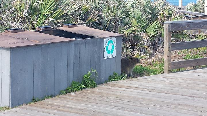 20140312_163205.jpg - METADATA-START��0UUUUUUÞ­¾ï���2�����¤Y�Ó���UUUUUUUUÞ­¾ï�������UUUUUUUUÞ­¾ïUUUUUUUUÞ­¾ï��UU���UUUUUUUUÞ­¾ï��UUUUUUUUUUUUUUUUUUUUUUUUUUUUUUUUUUUUUUUUUUUUUUUUUUUUUUUUUUUUUUUUUUUUUUUUUUUUUUUUUUUUUUUUUUUUUUUUUUUUUUUUUUUUUUUUUUUUUUUUUUUUUUUUUUUUUUUUUUUUUUUUUUUUUUUUUUUUUUUUUUUUUUUUUUUUUUUUUUUUUUUUUUUUUUUUUUUUUUÞ­¾ï����UUUUUUUUUUUUUUUUUUUUÞ­¾ï�C�A�LUUUUUUCu�rUU0xDCB0UUUUUUUUUUUUUUUUUUUUUUUUUUUUUUUUUUUUUUUUUUUUUUUUUUUUUUUUUUUUUUUUUUUUUUUUÞ­¾ï�T�U�N�AUUUUUUUUUUUUUUUUUUUUUUUUUUUUUUUUUUUUUUUUUUUUUUUUUUUUUUUUUUUUUUUUUUUUUUUUUUUUUUUUUUUUUUUUUUUUÞ­¾ï®®®®F�åÓ�º)�R�&�#��������������������������������/�(d���������@á�����������������������������������������o��T�þ�+ÿÿ������2��������º'UUUUUUUUUUUUUUUUUUUUÞ­¾ïKJKJº&�Ë��ÿé����×�ÚÜ����"�����¤Y�Ð�Ó���¸��M�î$����?�ü1ÿþê��8ÿÿ³�¤¶ÿÿ¨Cÿÿþÿÿ÷�ëý� �"1�"!�w"� � �"1� � � � � � �"�"����"!�"!�"!���� � �"!��"1� �����"!��������"!�"!�0� �������������������� �"1�"!� �����������������"�"���"���0��� �0�������"�"�"�"�"���������"��"�"�"�"�"�"�"�"�"��"@����`���`�"1�"1�"�"�"�"�"�"�"�"�"���3P�"A���`���"�"�"�"�"�"�"�"�"��"!�w2�"1����"�"�"�"�"�"�w"�"�"� �������"�"�"�"�"�w"�"!��3P�"@�������"�"�"�"��0���`�3P�3P������������"@�3P�3P���`������������������`����������������������������������������������������������������êÛ��D�.�ä��ÿ÷�|m�×���R�������������������������������������×H��ÿÿ��µ����\\�������������������������ðp��,�Ð�îë��)�)�îë��)�)�îë��)�)�îë��)�F�������������\�¶���8���B����UUUUUUUUUUUUUUUUUUUUUUUUUUUUUUUUÞ­¾ï¯¯ÊÊ�S¯V�f��¯¯¯¯������������������������������������������������������������������������������������������������������������������������������������������������������������������������������������������������������������������������������������������������������¯¯¯¯��CÇ��/"�f�¤�3�UUUUUUUUUUUUUUUUÞ­¾ïUUUUUUUUUUUUUUUUUUUUUUUUUUUUUUUUUUUUUUUUUUUUUUUUUUUUUUUUUUUUUUUUUUUUUUUUUUUUUUUUÞ­¾ïUUUUUUUUUUUUUUUUUUUUUUUUUUUUUUUUUUUUUUUUUUUUUUUUUUUUUUUUUUUUUUUUUUUUUUUUUUUUUUUUUUUUUUUUUUUUUUUUUUUUUUUUUUUUUUUUUUUUUUUUUUUUUUUUUUUUUUUUUUUUUUUUUUUUUUUUUUUUUUUUUUUUUUUUUUUUUUUUUUUUUUUUUUUUUUUUUUUUUUUUUUUUUUUUUUUUUUUUUUUUUUUUUUUUUUUUUUUUUUUUUUUUUUUUUUUUUUUUUUUUUUUUUUUUUUUUUUUUUUUUUUUUUUUUUUUUUUUUUUUUUUUUUUUUUUUUUUUUUUUUUUUUUUUUUUUUUUUUUUUUUUUUUUUUUUUUUUUUUUUUUUUUUUUUUUUUUUUUUUUUUUUUUUUUUUUUUUUUUUUUUUUUUUUUUUUUUUUUUUUUUUUUUUUUUUUUUUUUUUUUUUUUUUUUUUUUUUUUUUUUUUUUUUUUUUUUUUUUUUUUUUUUUUUUUUUUUUUUUUUUUUUUUUUUUUUUUUUUUUUUUUUUUUUUUUUUUUUUUUUUUUUUUUUUUUUUUUUUUUUUUUUUUUUUUUUUUUUUUUUUUUUUUUUUUUUUUUUUUUUUUUUUUUUUUUUUUUUUUUUUUUUUUUUUUUUUUUUUUUUUUUUUUUUUUUUUUUUUUUUUUUUUUUUUUUUUUUUUUUUUUUUUUUUUUUUUUUUUUUUUUUUUUUUUUUUUUUUUUUUUUUUUUUUUUUUUUUUUUUUUUUUUUUUUUUUUUUUUUUUUUUUUUUUUUUUUUUUUUUUUUUUUUUUUUUUUUUUUUUUUUUUUUUUUUUUUUUUUUUUUUUUUUUUUUUUUUUUUUUUUUUUUUUUUUUUUUUUUUUUUUUUUUUUUUUUUUUUUUUUUUUUUUUUUUUUUUUUUUUUUUUUUUUUUUUUUUUUUUUUUUUUUUUUUUUUUUUUUUUUUUUUUUUUUUUUUUUUUUUUUUUUUUUUUUUUUUUUUUUUUUUUUUUUUUUUUUUUUUUUUUUUUUUUUUUUUUUUUUUUUUUUUUUUUUUUUUUUUUUUUUUUUUUUUUUUUUUUUUUUUUUUUUUUUUUUUUUUUUUUUUUUUUUUUUUUUUUUUUUUUUUUUUUUUUUUUUUUUUUUUUUUUUUUUUUUUUUUUUUUUUUUUUUUUUUUUUUUUUUUUUUUUUUUUUUUUUUUUUUUUUUUUUUUUUUUUUUUUUUUUUUUUUUUUUUUUUUUUUUUUUUUUUUUUUUUUUUUUUUUUUUUUUUUUUUUUUUUUUUUUUUUUUUUUUUUUUUUUUUUUUUUUUUUUUUUUUUUUUUUUUUUUUUUUUUUUUUUUUUUUUUUUUUUUUUUUUUUUUUUUUUUUUUUUUUUUUUUUUUUUUUUUUUUUUUUUUUUUUUUUUUUUUUUUUUUUUUUUUUUUUUUUUUUUUUUUUUUUUUUUUUUUUUUUUUUUUUUUUUUUUUUUUUUUUUUUUUUUUUUUUUUUUUUUUUUUUUUUUUUUUUUUUUUUUUUUUUUUUUUUUUUUUUUUUUUUUUUUUUUUUUUUUUUUUUUUUUÞ­¾ï������L'UUUUUUUUUUUUUUUUUUUUUUUUUUUUUUUUÞ­¾ïUUUUMETADATA-END