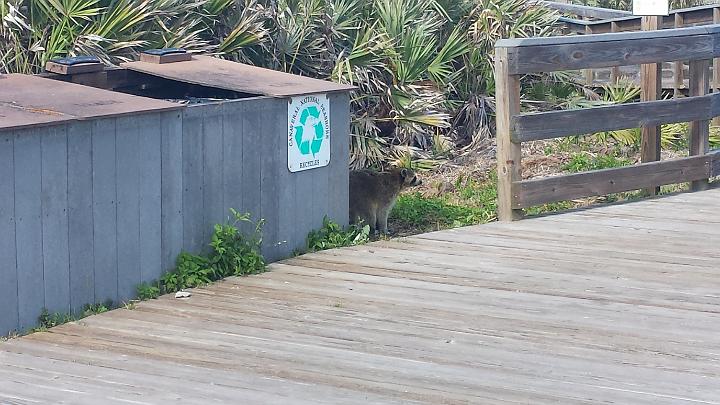 20140312_163208.jpg - METADATA-START��xUUUUUUÞ­¾ï���2�����¶Æ�ï���UUUUUUUUÞ­¾ï�������UUUUUUUUÞ­¾ïUUUUUUUUÞ­¾ï��UU���UUUUUUUUÞ­¾ï��UUUUUUUUUUUUUUUUUUUUUUUUUUUUUUUUUUUUUUUUUUUUUUUUUUUUUUUUUUUUUUUUUUUUUUUUUUUUUUUUUUUUUUUUUUUUUUUUUUUUUUUUUUUUUUUUUUUUUUUUUUUUUUUUUUUUUUUUUUUUUUUUUUUUUUUUUUUUUUUUUUUUUUUUUUUUUUUUUUUUUUUUUUUUUUUUUUUUUUÞ­¾ï����UUUUUUUUUUUUUUUUUUUUÞ­¾ï�C�A�LUUUUUUCu�rUU0xDCB0UUUUUUUUUUUUUUUUUUUUUUUUUUUUUUUUUUUUUUUUUUUUUUUUUUUUUUUUUUUUUUUUUUUUUUUUÞ­¾ï�T�U�N�AUUUUUUUUUUUUUUUUUUUUUUUUUUUUUUUUUUUUUUUUUUUUUUUUUUUUUUUUUUUUUUUUUUUUUUUUUUUUUUUUUUUUUUUUUUUUÞ­¾ï®®®®F±�÷ï�º)�§S�&�6��������������������������������+�"���������4ð�����������������������������������������f��P�þ��ù��������2��������º'UUUUUUUUUUUUUUUUUUUUÞ­¾ïKJKJº&�Ë��ÿé����×�ÚÜ����"�����¶Æ�Ð�ï���ø��¯�í³����|[�þÐÿþè��.ÿÿ³d�¤ÿÿ¨ÿÿþ7ÿÿ�ì¶��"1�"!���� � �"!� ��0��"��� �"!�"!������"!�"!�"1����"���"������������ � �"!� ��������������"�����������������"�"�"��"��0���"����"�"�"�"�"�"��"������`�"A�"1�0��"�"�"�"�"�"�"�"��"@�"A�3P�����"�"�"�"�"�"�"�"��w2�w2�0�����"�"�"�"�"�"�"�"!���������"�"�"�"�w"�w"��3P���������"�"�"� �"@�3P�3P�"@���������"��"@�3P�3P�3P��������������`���`�3P���������������������������������������������������������������������������������������ét��ÿÕ��^����q�ÜX���T�������������������������������������×����C�°½����_­�Õ¾����Í´�������������ð��[�~Ã�î��T�¾�î��T�¾�î��T�¾�î��T�|ä�������������ÅÌ�2ø���<�������UUUUUUUUUUUUUUUUUUUUUUUUUUUUUUUUÞ­¾ï¯¯ÊÊ�S¯V�g��¯¯¯¯������������������������������������������������������������������������������������������������������������������������������������������������������������������������������������������������������������������������������������������������������¯¯¯¯��CÈ��5�f�¤�3�UUUUUUUUUUUUUUUUÞ­¾ïUUUUUUUUUUUUUUUUUUUUUUUUUUUUUUUUUUUUUUUUUUUUUUUUUUUUUUUUUUUUUUUUUUUUUUUUUUUUUUUUÞ­¾ïUUUUUUUUUUUUUUUUUUUUUUUUUUUUUUUUUUUUUUUUUUUUUUUUUUUUUUUUUUUUUUUUUUUUUUUUUUUUUUUUUUUUUUUUUUUUUUUUUUUUUUUUUUUUUUUUUUUUUUUUUUUUUUUUUUUUUUUUUUUUUUUUUUUUUUUUUUUUUUUUUUUUUUUUUUUUUUUUUUUUUUUUUUUUUUUUUUUUUUUUUUUUUUUUUUUUUUUUUUUUUUUUUUUUUUUUUUUUUUUUUUUUUUUUUUUUUUUUUUUUUUUUUUUUUUUUUUUUUUUUUUUUUUUUUUUUUUUUUUUUUUUUUUUUUUUUUUUUUUUUUUUUUUUUUUUUUUUUUUUUUUUUUUUUUUUUUUUUUUUUUUUUUUUUUUUUUUUUUUUUUUUUUUUUUUUUUUUUUUUUUUUUUUUUUUUUUUUUUUUUUUUUUUUUUUUUUUUUUUUUUUUUUUUUUUUUUUUUUUUUUUUUUUUUUUUUUUUUUUUUUUUUUUUUUUUUUUUUUUUUUUUUUUUUUUUUUUUUUUUUUUUUUUUUUUUUUUUUUUUUUUUUUUUUUUUUUUUUUUUUUUUUUUUUUUUUUUUUUUUUUUUUUUUUUUUUUUUUUUUUUUUUUUUUUUUUUUUUUUUUUUUUUUUUUUUUUUUUUUUUUUUUUUUUUUUUUUUUUUUUUUUUUUUUUUUUUUUUUUUUUUUUUUUUUUUUUUUUUUUUUUUUUUUUUUUUUUUUUUUUUUUUUUUUUUUUUUUUUUUUUUUUUUUUUUUUUUUUUUUUUUUUUUUUUUUUUUUUUUUUUUUUUUUUUUUUUUUUUUUUUUUUUUUUUUUUUUUUUUUUUUUUUUUUUUUUUUUUUUUUUUUUUUUUUUUUUUUUUUUUUUUUUUUUUUUUUUUUUUUUUUUUUUUUUUUUUUUUUUUUUUUUUUUUUUUUUUUUUUUUUUUUUUUUUUUUUUUUUUUUUUUUUUUUUUUUUUUUUUUUUUUUUUUUUUUUUUUUUUUUUUUUUUUUUUUUUUUUUUUUUUUUUUUUUUUUUUUUUUUUUUUUUUUUUUUUUUUUUUUUUUUUUUUUUUUUUUUUUUUUUUUUUUUUUUUUUUUUUUUUUUUUUUUUUUUUUUUUUUUUUUUUUUUUUUUUUUUUUUUUUUUUUUUUUUUUUUUUUUUUUUUUUUUUUUUUUUUUUUUUUUUUUUUUUUUUUUUUUUUUUUUUUUUUUUUUUUUUUUUUUUUUUUUUUUUUUUUUUUUUUUUUUUUUUUUUUUUUUUUUUUUUUUUUUUUUUUUUUUUUUUUUUUUUUUUUUUUUUUUUUUUUUUUUUUUUUUUUUUUUUUUUUUUUUUUUUUUUUUUUUUUUUUUUUUUUUUUUUUUUUUUUUUUUUUUUUUUUUUUUUUUUUUUUUUUUUUUUUUUUUUUUUUUUUUUUUUUUUUUUUUUUUUUUUUUUUUUUUUUUUUUUUUUUUUUUUUUUUUUUUUUUUUUUUUUUUUUUUUUUUUUUUUUUUUUUUUUUUUUUUUUUUUUUUUUUUUUUUUUUUUUUUUUUUUUUUUUUUUUUUUUUUUUUUUUUUUÞ­¾ï������WUUUUUUUUUUUUUUUUUUUUUUUUUUUUUUUUÞ­¾ïUUUUMETADATA-END