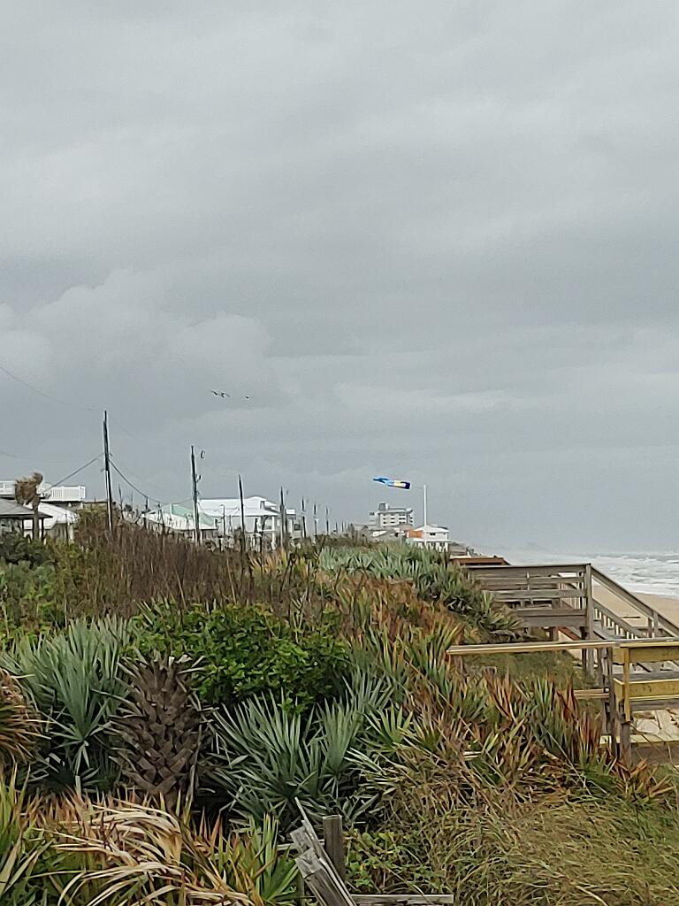 20191212_105946.jpg - , FC : (c, 0.82, d, 0.00, Detect, 0, appIcon, 0, after, 0, chg, 0, out, 1, Freq, 120, raw, 0, WB, 1784, Clear, 1374, ori, 1493, 1.00, 1493, 1.00, chg, 1493, 1.00, 1493, 1.00,,1.00)