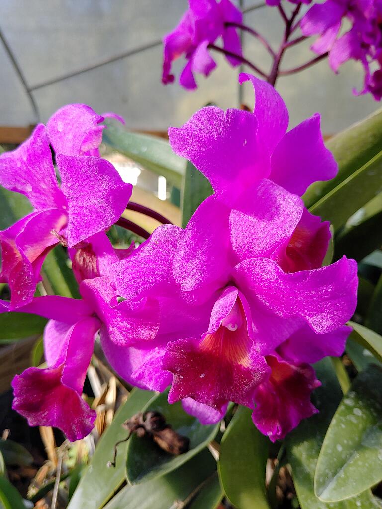 20191214_153945.jpg - , FC : (c, 1.00, d, 0.00, Detect, 0, appIcon, 0, after, 0, chg, 0, out, 1, Freq, 120, raw, 0, WB, 594, Clear, 121, ori, 134, 1.00, 134, 1.00, chg, 134, 1.00, 134, 1.00,,1.00)