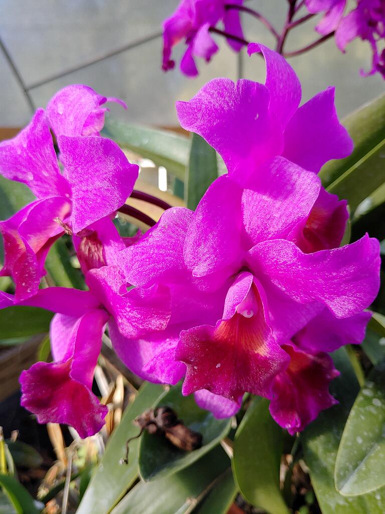 20191214_153948.jpg - , FC : (c, 1.00, d, 0.00, Detect, 0, appIcon, 0, after, 0, chg, 0, out, 1, Freq, 120, raw, 0, WB, 590, Clear, 118, ori, 129, 1.00, 129, 1.00, chg, 129, 1.00, 129, 1.00,,1.00)