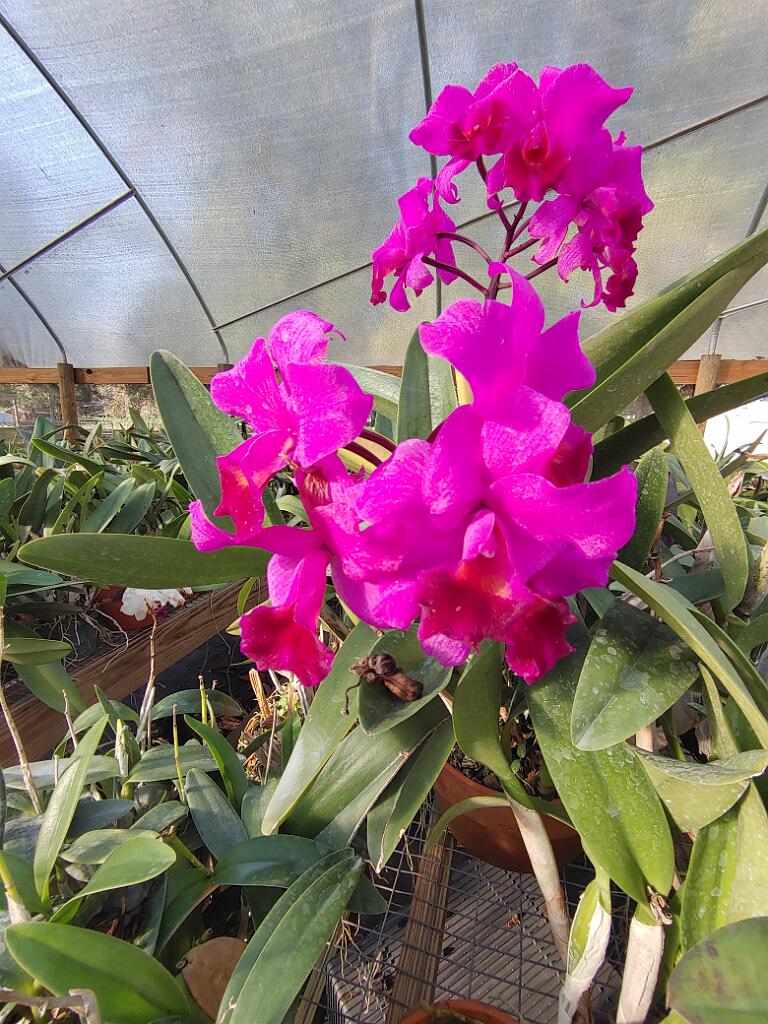 20191214_153950.jpg - , FC : (c, 1.00, d, 0.00, Detect, 0, appIcon, 0, after, 0, chg, 0, out, 1, Freq, 120, raw, 0, WB, 602, Clear, 121, ori, 129, 1.00, 129, 1.00, chg, 129, 1.00, 129, 1.00,,1.00)