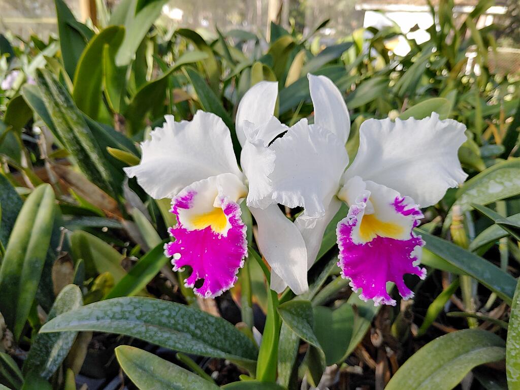 20191214_154152_HDR.jpg - Solution Info HDR : EV(0,3,-1), FC : (0), FC : (c, 1.00, d, 0.00, Detect, 0, appIcon, 0, after, 0, chg, 0, out, 1, Freq, 120, raw, 0, WB, 369, Clear, 79, ori, 173, 1.00, 142, 1.00, chg, 173, 1.00, 142, 1.00,,1.00)