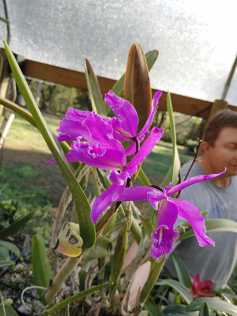 20191214_154358.jpg - , FC : (c, 0.97, d, 0.00, Detect, 1, appIcon, 0, after, 0, chg, 0, out, 1, Freq, 120, raw, 0, WB, 414, Clear, 161, ori, 166, 1.00, 123, 1.00, chg, 332, 2.00, 247, 2.00,,0.50)