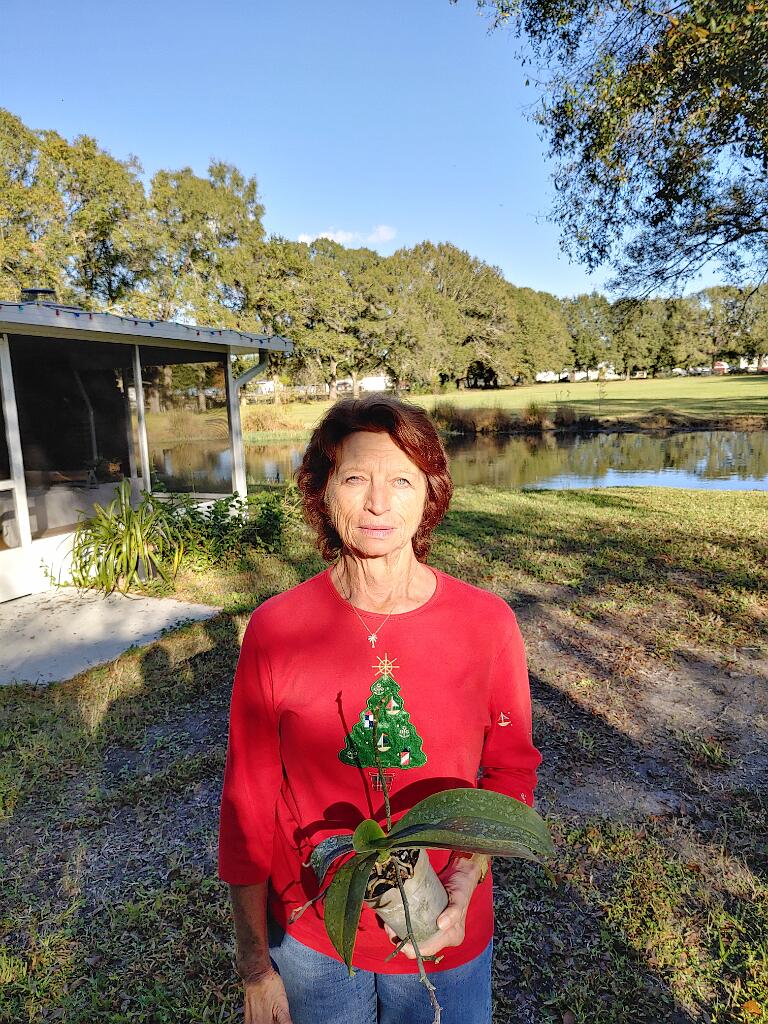 20191214_154912_HDR.jpg - Solution Info HDR : EV(0,5,-2), FC : (0), FC : (c, 1.00, d, 0.00, Detect, 0, appIcon, 0, after, 0, chg, 0, out, 1, Freq, 120, raw, 0, WB, 1097, Clear, 559, ori, 1042, 1.00, 1042, 1.00, chg, 1042, 1.00, 1042, 1.00,,1.00)