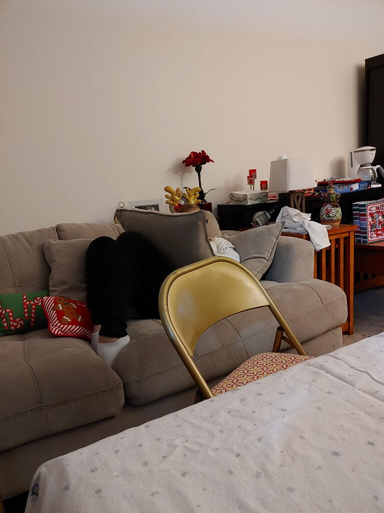 20191225_173420.jpg - , FC : (c, 1.00, d, 0.00, Detect, 0, appIcon, 0, after, 0, chg, 0, out, 0, Freq, 120, raw, 120, WB, 1, Clear, 2, ori, 16, 6.73, 16, 6.73, chg, 16, 6.73, 16, 6.73,,1.00)