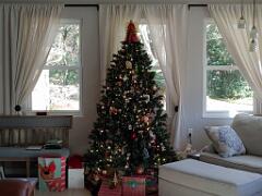 20191215_100205_Burst01