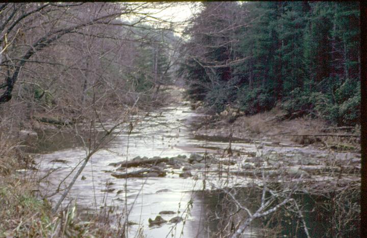 scan0029.jpg - Chattahoochie River, Georgia