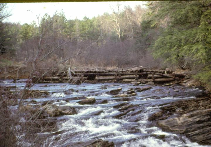 scan0036.jpg - Chattahoochie River, Helen, GA