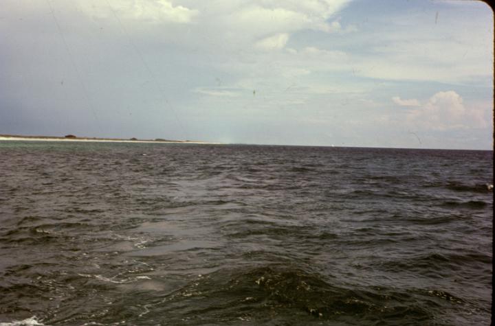 scan0054.jpg - Panama City, FL fishing trip