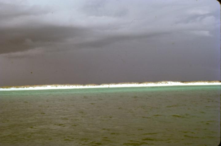 scan0056.jpg - Panama City, FL fishing trip