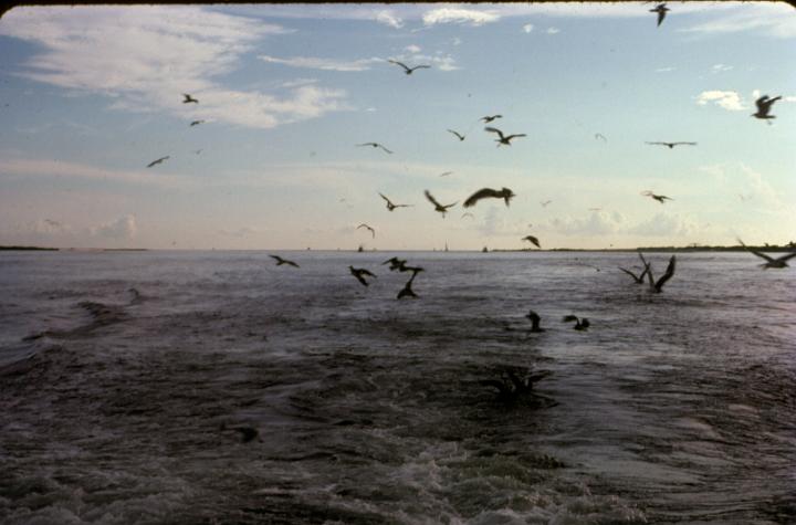 scan0062.jpg - Panama City, FL