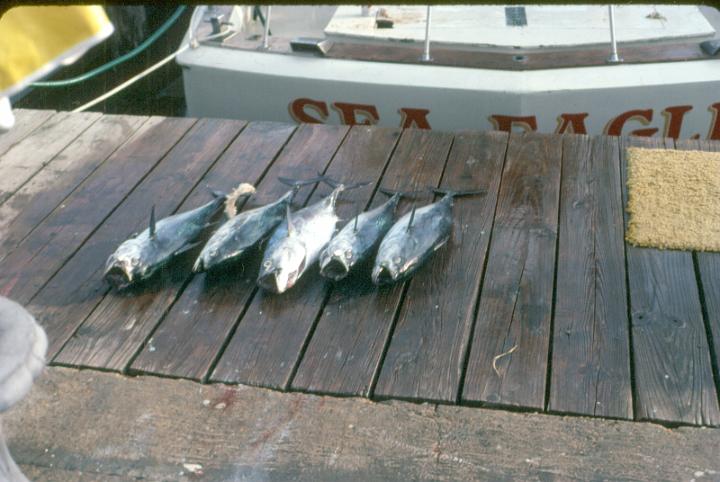 scan0066.jpg - Panama City, FL