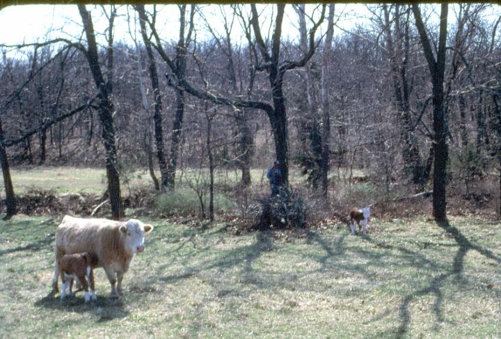 scan0081.jpg - Springtime, Warsaw, MO '81