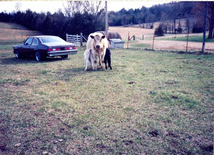 scan0006.jpg - Coas - Warsaw, MO  @ 1993