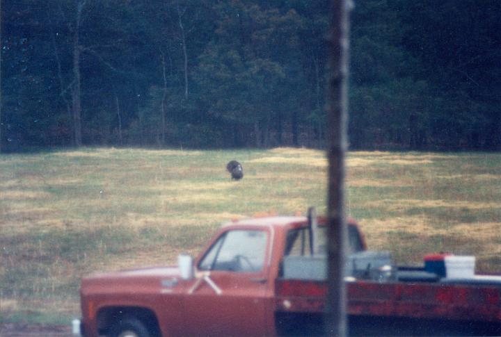 scan0009.jpg - Turkeys - Warsaw  @ 1993