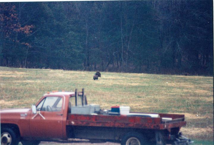 scan0012.jpg - Turkeys - Warsaw  @ 1993