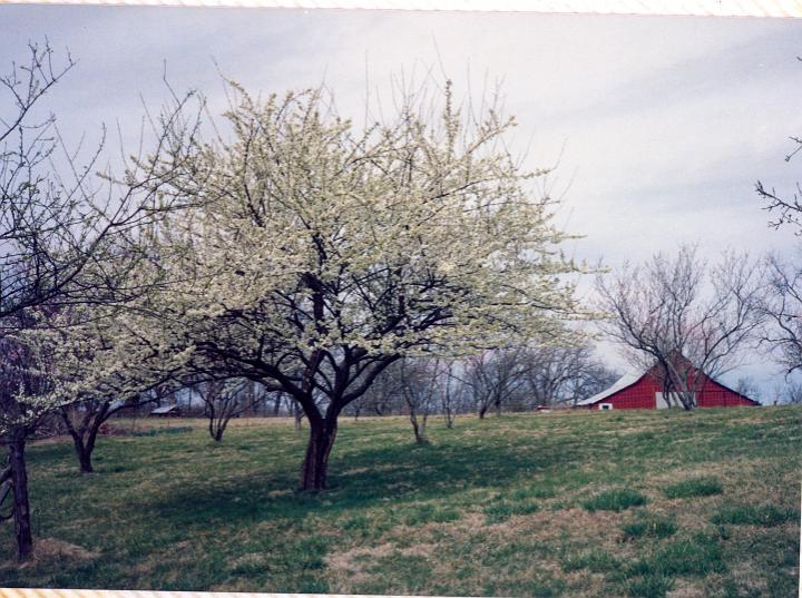 scan0014.jpg - Warsaw, MO  @ 1993