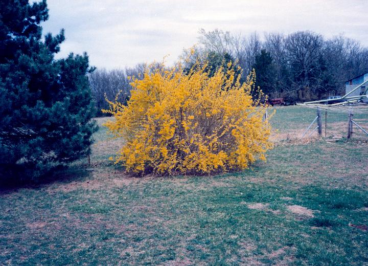 scan0022.jpg - Warsaw, MO @1993