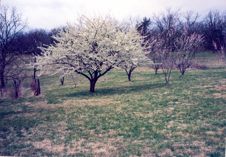 scan0023.jpg - Warsaw, MO  @ 1993