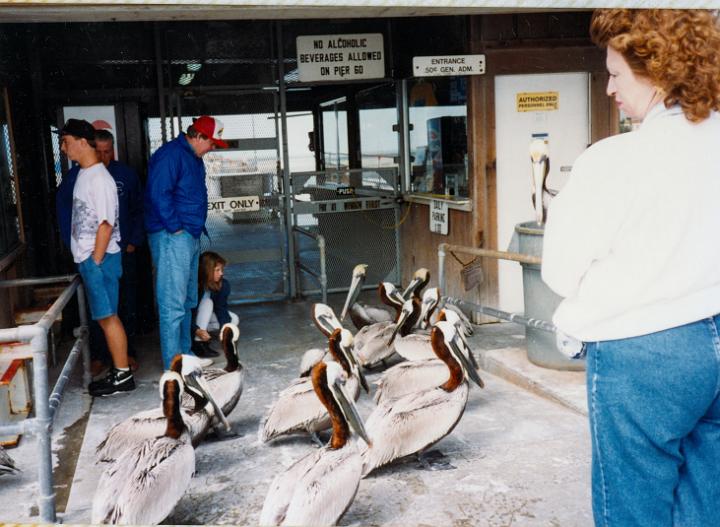 scan0042.jpg - Justin, Chuck, Maurice Rebecca and Yvonne - Pier 60, Clearwater, FL
