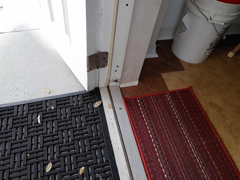 20200305_081458.jpg - , FC : (c, 0.00, d, 0.00, Detect, 0, appIcon, 0, after, 0, chg, 0, out, 0, Freq, 120, raw, 0, WB, 109, Clear, 56, ori, 60, 1.56, 60, 1.56, chg, 60, 1.56, 60, 1.56,,1.00)