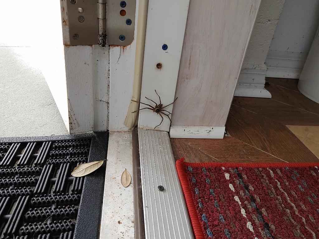 20200305_081505.jpg - , FC : (c, 0.00, d, 0.00, Detect, 0, appIcon, 0, after, 0, chg, 0, out, 0, Freq, 120, raw, 0, WB, 115, Clear, 66, ori, 60, 1.86, 60, 1.86, chg, 60, 1.86, 60, 1.86,,1.00)