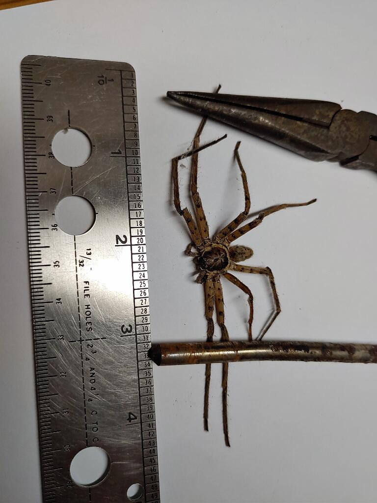 20200305_101017.jpg - , FC : (c, 0.99, d, 0.00, Detect, 0, appIcon, 0, after, 0, chg, 0, out, 0, Freq, 120, raw, 120, WB, 1, Clear, 25, ori, 120, 1.63, 120, 1.63, chg, 120, 1.63, 120, 1.63,,1.00)